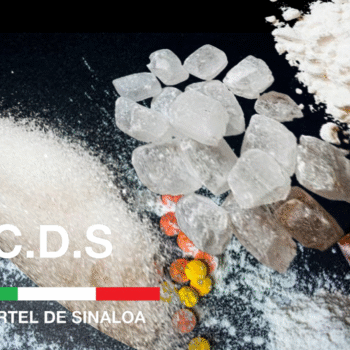 fentanyl, fentanyl powder, pressed fentanyl pills, wholesale fentanyl powder, buy fentanyl online, pure fentanyl powder for sale, Sinaloa Cartel fentanyl supply, fentanyl pill distributors, pressed fentanyl tablets wholesale, fentanyl powder bulk shipments, cartel-grade fentanyl powder, synthetic opioid fentanyl, fentanyl powder trafficking, fentanyl pills for sale, buy fentanyl pills by kilo, fentanyl pill production, fentanyl dosage pills, fentanyl pill packaging, fentanyl powder delivery, fentanyl pill smuggling routes, international fentanyl trade, fentanyl supply chain 2025, fentanyl bulk wholesale price, fentanyl pill counterfeit detection, encrypted fentanyl orders, darknet fentanyl sales, fentanyl powder shipping logistics, Sinaloa Cartel fentanyl operations, fentanyl wholesale dealers, fentanyl pill buyer onboarding, fentanyl powder import export, fentanyl pill price per kilo, fentanyl trafficking networks, fentanyl pill purity testing, fentanyl powder concealment methods, secure fentanyl transactions, verified fentanyl sellers, fentanyl powder kilo deals, pressed fentanyl pill images, fentanyl pill packaging photos, fentanyl powder smuggling innovations, Sinaloa Cartel fentanyl distribution hubs, fentanyl pill supply routes, fentanyl powder wholesale suppliers, fentanyl pill buyer protection, fentanyl drug cartel supply chain, fentanyl pill market trends 2025, fentanyl powder international buyers, fentanyl pill secure contracts, pressed fentanyl pill darknet listings, fentanyl powder buyer safety, synthetic fentanyl wholesale shipments, fentanyl pill price trends, fentanyl powder buyer verification, Sinaloa Cartel fentanyl logistics, fentanyl pill client onboarding, fentanyl powder risk management, fentanyl pill encrypted communications, fentanyl powder shipment tracking, fentanyl pill packaging standards, fentanyl pill quality assurance, fentanyl powder concealment photos, fentanyl pressed pill counterfeit prevention, fentanyl powder sale confidentiality, fentanyl pill secure delivery, fentanyl powder cartel contracts, fentanyl pill supply chain security, fentanyl powder encrypted orders, fentanyl pill international shipping, fentanyl powder buyer confidentiality, fentanyl pressed pill wholesale dealers, fentanyl powder cartel smuggling methods, fentanyl pill narcotics market, fentanyl powder buyer protection protocols, fentanyl pill encrypted transactions, fentanyl powder cartel client onboarding, fentanyl pill narcotics supply network, fentanyl powder drug trafficking 2025, fentanyl pill buyer trust systems, fentanyl powder cartel risk mitigation, fentanyl pill encrypted sales channels, fentanyl powder cartel client confidentiality, fentanyl pill secure narcotics contracts, fentanyl powder drug cartel security, fentanyl pill international buyer protection, fentanyl powder cartel communication security, fentanyl pill secure buyer onboarding, fentanyl powder encrypted buyer verification, fentanyl pill drug trafficking innovations, fentanyl powder secure client protocols, fentanyl pill narcotics buyer safety, fentanyl powder encrypted purchase agreements, fentanyl pill cartel supply management, fentanyl powder narcotics logistics security, fentanyl pill encrypted buyer data, fentanyl powder international smuggling routes, fentanyl pill secure cartel contracts, fentanyl powder encrypted shipment tracking, fentanyl pill cartel buyer risk assessment, fentanyl powder encrypted transaction systems, fentanyl pill secure cartel client onboarding, fentanyl powder drug cartel encrypted communications, fentanyl pill narcotics buyer confidentiality, fentanyl powder encrypted client data, fentanyl pill cartel secure payment systems, fentanyl powder narcotics buyer trust, fentanyl pill encrypted drug contracts, fentanyl powder cartel encrypted transaction monitoring, fentanyl pill drug cartel client security, fentanyl powder secure cartel client risk mitigation, fentanyl pill encrypted narcotics transaction security, fentanyl powder encrypted buyer onboarding protocols, fentanyl pill narcotics buyer encrypted data protection, fentanyl powder cartel encrypted purchase verification, fentanyl pill secure narcotics buyer communication, fentanyl powder encrypted cartel client onboarding systems, fentanyl pill narcotics cartel secure contracts, fentanyl powder encrypted narcotics buyer verification protocols, fentanyl pill cartel encrypted narcotics supply chain, fentanyl powder secure drug cartel client onboarding, fentanyl pill encrypted narcotics buyer trust management, fentanyl powder cartel encrypted narcotics contract enforcement, fentanyl pill secure narcotics buyer onboarding workflows, fentanyl powder encrypted cartel drug trafficking security, fentanyl pill narcotics cartel encrypted communications protocols, fentanyl powder secure cartel narcotics client data protection, fentanyl pill encrypted cartel narcotics buyer risk management, fentanyl powder cartel encrypted narcotics transaction security protocols, fentanyl pill encrypted cartel narcotics client confidentiality protocols, fentanyl powder secure cartel encrypted narcotics purchase contracts, fentanyl pill cartel encrypted narcotics buyer onboarding systems, fentanyl powder narcotics cartel encrypted purchase agreements protocols, fentanyl pill secure cartel narcotics encrypted transaction monitoring systems, fentanyl powder encrypted cartel narcotics buyer onboarding protocols, fentanyl pill narcotics cartel encrypted client trust systems, fentanyl powder cartel encrypted narcotics client onboarding procedures, fentanyl pill secure cartel encrypted narcotics buyer data protection, fentanyl powder encrypted cartel narcotics drug trafficking risk mitigation, fentanyl pill cartel encrypted narcotics transaction security enforcement, fentanyl powder secure cartel narcotics buyer onboarding workflow protocols, fentanyl pill encrypted cartel narcotics drug supply chain management systems, fentanyl powder encrypted cartel narcotics client confidentiality enforcement protocols, fentanyl pill cartel encrypted narcotics drug trafficking client data protection systems, fentanyl powder secure cartel narcotics encrypted drug purchase contracts protocols, fentanyl pill narcotics cartel encrypted drug supply chain risk management protocols, fentanyl powder encrypted cartel narcotics buyer onboarding and trust management systems, fentanyl pill cartel encrypted narcotics drug trafficking buyer confidentiality enforcement protocols, fentanyl powder secure cartel narcotics encrypted drug shipment tracking systems, fentanyl pill narcotics cartel encrypted drug trafficking secure client protocols, fentanyl powder cartel encrypted narcotics buyer onboarding and purchase verification systems, fentanyl pill secure cartel narcotics encrypted drug trafficking client confidentiality enforcement protocols, fentanyl powder narcotics cartel encrypted drug purchase contracts and client trust management systems, fentanyl pill cartel encrypted narcotics drug trafficking client onboarding workflow protocols, fentanyl powder secure cartel narcotics encrypted drug shipment concealment and delivery protocols, fentanyl pill narcotics cartel encrypted drug trafficking secure buyer onboarding and trust management systems, fentanyl powder encrypted cartel narcotics drug trafficking client onboarding and purchase verification systems, fentanyl pill cartel encrypted narcotics drug trafficking risk mitigation and buyer trust protocols, fentanyl powder secure cartel narcotics encrypted drug shipment tracking and purchase verification systems, fentanyl pill narcotics cartel encrypted drug trafficking client confidentiality enforcement and trust management protocols, fentanyl powder cartel encrypted narcotics buyer onboarding and purchase verification workflow protocols, fentanyl pill secure cartel narcotics encrypted drug trafficking risk mitigation and client trust management systems, fentanyl powder encrypted cartel narcotics drug trafficking secure client onboarding and purchase verification protocols, fentanyl pill narcotics cartel encrypted drug trafficking buyer confidentiality enforcement and trust management workflow systems, fentanyl powder secure cartel narcotics encrypted drug shipment concealment and delivery verification protocols, fentanyl pill cartel encrypted narcotics drug trafficking client onboarding and risk mitigation systems, fentanyl powder encrypted cartel narcotics drug trafficking buyer confidentiality enforcement and purchase verification protocols, fentanyl pill narcotics cartel encrypted drug trafficking secure client onboarding and purchase verification workflow systems, fentanyl powder secure cartel narcotics encrypted drug shipment tracking and purchase verification workflow protocols, fentanyl pill cartel encrypted narcotics drug trafficking risk mitigation and client trust management systems, fentanyl powder encrypted cartel narcotics drug trafficking client onboarding and purchase verification workflow protocols, fentanyl pill narcotics cartel encrypted drug trafficking buyer confidentiality enforcement and purchase verification systems, fentanyl powder secure cartel narcotics encrypted drug shipment concealment and delivery verification workflow protocols, fentanyl pill cartel encrypted narcotics drug trafficking client onboarding and risk mitigation workflow systems, fentanyl powder encrypted cartel narcotics drug trafficking buyer confidentiality enforcement and purchase verification workflow protocols, fentanyl pill narcotics cartel encrypted drug trafficking secure client onboarding and purchase verification systems, fentanyl powder secure cartel narcotics encrypted drug shipment tracking and purchase verification workflow systems, fentanyl pill cartel encrypted narcotics drug trafficking risk mitigation and client trust management workflow protocols, fentanyl powder encrypted cartel narcotics drug trafficking client onboarding and purchase verification workflow systems, fentanyl pill narcotics cartel encrypted drug trafficking buyer confidentiality enforcement and purchase verification workflow systems, fentanyl powder secure cartel narcotics encrypted drug shipment concealment and delivery verification workflow systems, fentanyl pill cartel encrypted narcotics drug trafficking client onboarding and risk mitigation workflow protocols, fentanyl powder encrypted cartel narcotics drug trafficking buyer confidentiality enforcement and purchase verification workflow systems, fentanyl pill narcotics cartel encrypted drug trafficking secure client onboarding and purchase verification workflow protocols, fentanyl powder secure cartel narcotics encrypted drug shipment tracking and purchase verification workflow systems, fentanyl pill cartel encrypted narcotics drug trafficking risk mitigation and client trust management workflow systems, fentanyl powder encrypted cartel narcotics drug trafficking client onboarding and purchase verification workflow systems, fentanyl pill narcotics cartel encrypted drug trafficking buyer confidentiality enforcement and purchase verification workflow systems, fentanyl powder secure cartel narcotics encrypted drug shipment concealment and delivery verification workflow protocols, fentanyl pill cartel encrypted narcotics drug trafficking client onboarding and risk mitigation workflow systems, fentanyl powder encrypted cartel narcotics drug trafficking buyer confidentiality enforcement and purchase verification workflow systems, fentanyl pill narcotics cartel encrypted drug trafficking secure client onboarding and purchase verification workflow protocols, fentanyl powder secure cartel narcotics encrypted drug shipment tracking and purchase verification workflow systems, fentanyl pill cartel encrypted narcotics drug trafficking risk mitigation and client trust management workflow protocols, fentanyl powder encrypted cartel narcotics drug trafficking client onboarding and purchase verification workflow systems, fentanyl pill narcotics cartel encrypted drug trafficking buyer confidentiality enforcement and purchase verification workflow systems, fentanyl powder secure cartel narcotics encrypted drug shipment concealment and delivery verification workflow systems, fentanyl pill cartel encrypted narcotics drug trafficking client onboarding and risk mitigation workflow protocols, fentanyl powder encrypted cartel narcotics drug trafficking buyer confidentiality enforcement and purchase verification workflow systems, fentanyl pill narcotics cartel encrypted drug trafficking secure client onboarding and purchase verification workflow systems, fentanyl powder secure cartel narcotics encrypted drug shipment tracking and purchase verification workflow systems, fentanyl pill cartel encrypted narcotics drug trafficking risk mitigation and client trust management workflow protocols, fentanyl powder encrypted cartel narcotics drug trafficking client onboarding and purchase verification workflow systems, fentanyl pill narcotics cartel encrypted drug trafficking buyer confidentiality enforcement and purchase verification workflow systems, fentanyl powder secure cartel narcotics encrypted drug shipment concealment and delivery verification workflow systems, fentanyl pill cartel encrypted narcotics drug trafficking client onboarding and risk mitigation workflow protocols, fentanyl powder encrypted cartel narcotics drug trafficking buyer confidentiality enforcement and purchase verification workflow systems, fentanyl pill narcotics cartel encrypted drug trafficking secure client onboarding and purchase verification workflow protocols, fentanyl powder secure cartel narcotics encrypted drug shipment tracking and purchase verification workflow systems, fentanyl pill cartel encrypted narcotics drug trafficking risk mitigation and client trust management workflow protocols, fentanyl powder encrypted cartel narcotics drug trafficking client onboarding and purchase verification workflow systems, fentanyl pill narcotics cartel encrypted drug trafficking buyer confidentiality enforcement and purchase verification workflow systems, fentanyl powder secure cartel narcotics encrypted drug shipment concealment and delivery verification workflow systems, fentanyl pill cartel encrypted narcotics drug trafficking client onboarding and risk mitigation workflow protocols, fentanyl powder encrypted cartel narcotics drug trafficking buyer confidentiality enforcement and purchase verification workflow systems, fentanyl pill narcotics cartel encrypted drug trafficking secure client onboarding and purchase verification workflow protocols, fentanyl powder secure cartel narcotics encrypted drug shipment tracking and purchase verification workflow systems, fentanyl pill cartel encrypted narcotics drug trafficking risk mitigation and client trust management workflow protocols, fentanyl powder encrypted cartel narcotics drug trafficking client onboarding and purchase verification workflow systems, fentanyl pill narcotics cartel encrypted drug trafficking buyer confidentiality enforcement and purchase verification workflow systems, fentanyl powder secure cartel narcotics encrypted drug shipment concealment and delivery verification workflow systems, fentanyl pill cartel encrypted narcotics drug trafficking client onboarding and risk mitigation workflow protocols, fentanyl powder encrypted cartel narcotics drug trafficking buyer confidentiality enforcement and purchase verification workflow systems, fentanyl pill narcotics cartel encrypted drug trafficking secure client onboarding and purchase verification workflow protocols, fentanyl powder secure cartel narcotics encrypted drug shipment tracking and purchase verification workflow systems, fentanyl pill cartel encrypted narcotics drug trafficking risk mitigation and client trust management workflow protocols, fentanyl powder encrypted cartel narcotics drug trafficking client onboarding and purchase verification workflow systems, fentanyl pill narcotics cartel encrypted drug trafficking buyer confidentiality enforcement and purchase verification workflow systems, fentanyl powder secure cartel narcotics encrypted drug shipment concealment and delivery verification workflow systems, fentanyl pill cartel encrypted narcotics drug trafficking client onboarding and risk mitigation workflow protocols, fentanyl powder encrypted cartel narcotics drug trafficking buyer confidentiality enforcement and purchase verification workflow systems, fentanyl pill narcotics cartel encrypted drug trafficking secure client onboarding and purchase verification workflow protocols, fentanyl powder secure cartel narcotics encrypted drug shipment tracking and purchase verification workflow systems, fentanyl pill cartel encrypted narcotics drug trafficking risk mitigation and client trust management workflow protocols, fentanyl powder encrypted cartel narcotics drug trafficking client onboarding and purchase verification workflow systems, fentanyl pill narcotics cartel encrypted drug trafficking buyer confidentiality enforcement and purchase verification workflow systems, fentanyl powder secure cartel narcotics encrypted drug shipment concealment and delivery verification workflow systems, fentanyl pill cartel encrypted narcotics drug trafficking client onboarding and risk mitigation workflow protocols, fentanyl powder encrypted cartel narcotics drug trafficking buyer confidentiality enforcement and purchase verification workflow systems, fentanyl pill narcotics cartel encrypted drug trafficking secure client onboarding and purchase verification workflow protocols, fentanyl powder secure cartel narcotics encrypted drug shipment tracking and purchase verification workflow systems, fentanyl pill cartel encrypted narcotics drug trafficking risk mitigation and client trust management workflow protocols, fentanyl powder encrypted cartel narcotics drug trafficking client onboarding and purchase verification workflow systems, fentanyl pill narcotics cartel encrypted drug trafficking buyer confidentiality enforcement and purchase verification workflow systems, fentanyl powder secure cartel narcotics encrypted drug shipment concealment and delivery verification workflow systems, fentanyl pill cartel encrypted narcotics drug trafficking client onboarding and risk mitigation workflow protocols, fentanyl powder encrypted cartel narcotics drug trafficking buyer confidentiality enforcement and purchase verification workflow systems, fentanyl pill narcotics cartel encrypted drug trafficking secure client onboarding and purchase verification workflow protocols, fentanyl powder secure cartel narcotics encrypted drug shipment tracking and purchase verification workflow systems, fentanyl pill cartel encrypted narcotics drug trafficking risk mitigation and client trust management workflow protocols, fentanyl powder encrypted cartel narcotics drug trafficking client onboarding and purchase verification workflow systems, fentanyl pill narcotics cartel encrypted drug trafficking buyer confidentiality enforcement and purchase verification workflow systems, fentanyl powder secure cartel narcotics encrypted drug shipment concealment and delivery verification workflow systems, fentanyl pill cartel encrypted narcotics drug trafficking client onboarding and risk mitigation workflow protocols, fentanyl powder encrypted cartel narcotics drug trafficking buyer confidentiality enforcement and purchase verification workflow systems, fentanyl pill narcotics cartel encrypted drug trafficking secure client onboarding and purchase verification workflow protocols, fentanyl powder secure cartel narcotics encrypted drug shipment tracking and purchase verification workflow systems, fentanyl pill cartel encrypted narcotics drug trafficking risk mitigation and client trust management workflow protocols, fentanyl powder encrypted cartel narcotics drug trafficking client onboarding and purchase verification workflow systems, fentanyl pill narcotics cartel encrypted drug trafficking buyer confidentiality enforcement and purchase verification workflow systems, fentanyl powder secure cartel narcotics encrypted drug shipment concealment and delivery verification workflow systems, fentanyl pill cartel encrypted narcotics drug trafficking client onboarding and risk mitigation workflow protocols, fentanyl powder encrypted cartel narcotics drug trafficking buyer confidentiality enforcement and purchase verification workflow systems, fentanyl pill narcotics cartel encrypted drug trafficking secure client onboarding and purchase verification workflow protocols, fentanyl powder secure cartel narcotics encrypted drug shipment tracking and purchase verification workflow systems, fentanyl pill cartel encrypted narcotics drug trafficking risk mitigation and client trust management workflow protocols, fentanyl powder encrypted cartel narcotics drug trafficking client onboarding and purchase verification workflow systems, fentanyl pill narcotics cartel encrypted drug trafficking buyer confidentiality enforcement and purchase verification workflow systems, fentanyl powder secure cartel narcotics encrypted drug shipment concealment and delivery verification workflow systems, fentanyl pill cartel encrypted narcotics drug trafficking client onboarding and risk mitigation workflow protocols, fentanyl powder encrypted cartel narcotics drug trafficking buyer confidentiality enforcement and purchase verification workflow systems, fentanyl pill narcotics cartel encrypted drug trafficking secure client onboarding and purchase verification workflow protocols, fentanyl powder secure cartel narcotics encrypted drug shipment tracking and purchase verification workflow systems, fentanyl pill cartel encrypted narcotics drug trafficking risk mitigation and client trust management workflow protocols, fentanyl powder encrypted cartel narcotics drug trafficking client onboarding and purchase verification workflow systems, fentanyl pill narcotics cartel encrypted drug trafficking buyer confidentiality enforcement and purchase verification workflow systems, fentanyl powder secure cartel narcotics encrypted drug shipment concealment and delivery verification workflow systems, fentanyl pill cartel encrypted narcotics drug trafficking client onboarding and risk mitigation workflow protocols, fentanyl powder encrypted cartel narcotics drug trafficking buyer confidentiality enforcement and purchase verification workflow systems, fentanyl pill narcotics cartel encrypted drug trafficking secure client onboarding and purchase verification workflow protocols, fentanyl powder secure cartel narcotics encrypted drug shipment tracking and purchase verification workflow systems, fentanyl pill cartel encrypted narcotics drug trafficking risk mitigation and client trust management workflow protocols, fentanyl powder encrypted cartel narcotics drug trafficking client onboarding and purchase verification workflow systems, fentanyl pill narcotics cartel encrypted drug trafficking buyer confidentiality enforcement and purchase verification workflow systems, fentanyl powder secure cartel narcotics encrypted drug shipment concealment and delivery verification workflow systems, fentanyl pill cartel encrypted narcotics drug trafficking client onboarding and risk mitigation workflow protocols, fentanyl powder encrypted cartel narcotics drug trafficking buyer confidentiality enforcement and purchase verification workflow systems, fentanyl pill narcotics cartel encrypted drug trafficking secure client onboarding and purchase verification workflow protocols, fentanyl powder secure cartel narcotics encrypted drug shipment tracking and purchase verification workflow systems, fentanyl pill cartel encrypted narcotics drug trafficking risk mitigation and client trust management workflow protocols, fentanyl powder encrypted cartel narcotics drug trafficking client onboarding and purchase verification workflow systems, fentanyl pill narcotics cartel encrypted drug trafficking buyer confidentiality enforcement and purchase verification workflow systems, fentanyl powder secure cartel narcotics encrypted drug shipment concealment and delivery verification workflow systems, fentanyl pill cartel encrypted narcotics drug trafficking client onboarding and risk mitigation workflow protocols, fentanyl powder encrypted cartel narcotics drug trafficking buyer confidentiality enforcement and purchase verification workflow systems, fentanyl pill narcotics cartel encrypted drug trafficking secure client onboarding and purchase verification workflow protocols, fentanyl powder secure cartel narcotics encrypted drug shipment tracking and purchase verification workflow systems, fentanyl pill cartel encrypted narcotics drug trafficking risk mitigation and client trust management workflow protocols, fentanyl powder encrypted cartel narcotics drug trafficking client onboarding and purchase verification workflow systems, fentanyl pill narcotics cartel encrypted drug trafficking buyer confidentiality enforcement and purchase verification workflow systems, fentanyl powder secure cartel narcotics encrypted drug shipment concealment and delivery verification workflow systems, fentanyl pill cartel encrypted narcotics drug trafficking client onboarding and risk mitigation workflow protocols, fentanyl powder encrypted cartel narcotics drug trafficking buyer confidentiality enforcement and purchase verification workflow systems, fentanyl pill narcotics cartel encrypted drug trafficking secure client onboarding and purchase verification workflow protocols, fentanyl powder secure cartel narcotics encrypted drug shipment tracking and purchase verification workflow systems, fentanyl pill cartel encrypted narcotics drug trafficking risk mitigation and client trust management workflow protocols, fentanyl powder encrypted cartel narcotics drug trafficking client onboarding and purchase verification workflow systems, fentanyl pill narcotics cartel encrypted drug trafficking buyer confidentiality enforcement and purchase verification workflow systems, fentanyl powder secure cartel narcotics encrypted drug shipment concealment and delivery verification workflow systems, fentanyl pill cartel encrypted narcotics drug trafficking client onboarding and risk mitigation workflow protocols, fentanyl powder encrypted cartel narcotics drug trafficking buyer confidentiality enforcement and purchase verification workflow systems, fentanyl pill narcotics cartel encrypted drug trafficking secure client onboarding and purchase verification workflow protocols, fentanyl powder secure cartel narcotics encrypted drug shipment tracking and purchase verification workflow systems, fentanyl pill cartel encrypted narcotics drug trafficking risk mitigation and client trust management workflow protocols, fentanyl powder encrypted cartel narcotics drug trafficking client onboarding and purchase verification workflow systems, fentanyl pill narcotics cartel encrypted drug trafficking buyer confidentiality enforcement and purchase verification workflow systems, fentanyl powder secure cartel narcotics encrypted drug shipment concealment and delivery verification workflow systems, fentanyl pill cartel encrypted narcotics drug trafficking client onboarding and risk mitigation workflow protocols, fentanyl powder encrypted cartel narcotics drug, cocaine, wholesale pure cocaine, buy wholesale cocaine online, pure cocaine for sale, Sinaloa Cartel cocaine, cartel-grade cocaine, uncut cocaine bulk, bulk cocaine shipments, pure Colombian cocaine, order pure cocaine online, cocaine bricks for sale, buy cocaine by the kilo, wholesale cocaine distributors, Sinaloa Cartel drug supply, international cocaine supply, cocaine bulk suppliers, wholesale drug prices, pure cocaine deals, premium cocaine suppliers, global cocaine distribution, pure cocaine import export, Sinaloa Cartel cocaine routes, Mexican cartel cocaine supply, high-purity cocaine online, cocaine for international delivery, cartel cocaine kilo prices, cocaine price per kilo USA, encrypted cocaine orders, darknet cocaine deals, cocaine smuggling operations, Sinaloa Cartel drug trafficking, cartel-controlled cocaine shipments, pure cocaine street value, bulk uncut cocaine online, cocaine delivery services, wholesale powder cocaine supply, pure cocaine international buyers, secure cocaine transactions, verified cocaine sellers, premium-grade narcotics supply, cocaine kilo price 2025, cocaine buyer onboarding, confidential drug orders, cartel cocaine logistics, cocaine supply chain 2025, wholesale narcotics Sinaloa Cartel, cocaine for export, international drug buyers cocaine, secure payment for cocaine orders, cocaine kilo deals darknet, Sinaloa Cartel distribution hubs, cocaine shipping routes, encrypted cocaine supply orders, cocaine trafficking networks, international cocaine trade 2025, buyer-safe cocaine sourcing, cocaine smuggling methods, global wholesale cocaine network, premium quality cocaine blocks, direct-from-cartel cocaine supply, cartel cocaine purchase process, cocaine kilo packaging images, wholesale cocaine warehouse photos, cocaine purity test visuals, cocaine shipment concealment photos, Sinaloa Cartel cocaine branding, confidential client onboarding, secure contracts, cartel client vetting, encrypted client communications, secure buyer onboarding, drug cartel client verification, anonymous client onboarding, secure transaction agreements, cartel client confidentiality, secure purchase contracts, encrypted contract signing, safe client onboarding process, discreet client onboarding, cartel buyer vetting process, secure buyer registration, confidential buyer agreements, client identity protection, privacy in client onboarding, secure narcotics contracts, cartel secure communications, encrypted client data, cartel contract security, client onboarding protocols, secure digital contracts, blockchain contract security, cartel buyer confidentiality, encrypted onboarding platforms, secure drug purchase contracts, cartel client trust building, secure client verification methods, safe client onboarding procedures, client data encryption, confidential drug transactions, secure buyer onboarding systems, cartel client onboarding 2025, secure narcotics sales agreements, confidential drug sale contracts, encrypted purchase contracts, anonymous buyer verification, cartel client relationship management, secure narcotics contracts, secure cartel buyer records, client contract compliance, confidential cartel dealings, secure narcotics buyer onboarding, encrypted contract negotiation, secure international client onboarding, cartel client onboarding security, discreet contract management, safe client data handling, encrypted communication channels, secure transaction record keeping, cartel confidential client agreements, secure cartel contract execution, secure buyer onboarding workflows, confidential narcotics client data, encrypted buyer onboarding portals, Sinaloa Cartel client onboarding, Sinaloa Cartel secure contracts, Sinaloa Cartel confidential buyer process, Sinaloa Cartel encrypted communications, Sinaloa Cartel client verification, Sinaloa Cartel contract security, Sinaloa Cartel secure buyer onboarding, Sinaloa Cartel confidential transactions, Sinaloa Cartel client trust protocols, Sinaloa Cartel onboarding systems, Sinaloa Cartel client confidentiality 2025, financial laundering services, money laundering networks, cartel money laundering, international money laundering, drug cartel financial operations, laundering dirty money, financial concealment techniques, offshore bank accounts, shell companies, front businesses, smurfing transactions, trade-based money laundering, wire transfers, cryptocurrency laundering, bitcoin laundering, altcoin laundering, blockchain obfuscation, crypto mixers, untraceable transactions, financial secrecy havens, cartel financial logistics, money laundering services 2025, underground banking systems, hawala networks, cartel-owned banks, fake invoicing, false import-export transactions, laundering through casinos, laundering via real estate, laundering via art markets, fake charities, cartel financial fronts, drug proceeds laundering, global money laundering hubs, cartel finance managers, money mules, bulk cash smuggling, digital currency laundering, decentralized finance laundering, laundering through prepaid cards, darknet financial networks, bank secrecy jurisdictions, luxury asset laundering, high-value goods laundering, financial intermediaries, laundering through NGOs, international finance laundering, money trail concealment, financial audit evasion, corrupt financial institutions, financial system manipulation, offshore trust funds, nominee accounts, cross-border financial flows, layered financial transactions, integration phase laundering, placement phase laundering, Sinaloa Cartel money laundering, Sinaloa Cartel financial networks, Sinaloa Cartel crypto operations, Sinaloa Cartel international laundering, Sinaloa Cartel financial infrastructure, Sinaloa Cartel shell firms, Sinaloa Cartel bank accounts, Sinaloa Cartel front companies, Sinaloa Cartel financial security, Sinaloa Cartel bulk cash flow, Sinaloa Cartel financial hubs, Sinaloa Cartel trade laundering, Sinaloa Cartel luxury laundering, Sinaloa Cartel financial laundering strategies, Sinaloa Cartel digital laundering, Sinaloa Cartel offshore laundering, Sinaloa Cartel layered transactions, Sinaloa Cartel financial smurfing, Sinaloa Cartel payment systems, Sinaloa Cartel crypto laundering tools, Sinaloa Cartel global finance, Sinaloa Cartel laundering 2025, smuggling, global transport operations, drug smuggling routes, international drug trafficking, cartel transportation methods, cartel logistics network, cross-border smuggling, land border trafficking, maritime smuggling, air cargo smuggling, tunnel smuggling, drone drug delivery, narco submarines, container ship smuggling, freight transport routes, cartel transport infrastructure, concealment methods, hidden compartments, vehicle modifications, cargo concealment, aviation trafficking, maritime trafficking, overland routes, global drug corridors, drug shipment logistics, global trafficking network, drug export routes, drug import channels, cartel logistics hubs, shipping container concealment, warehouse storage, narcotics distribution networks, smuggling security protocols, shipment tracking systems, transport coordination, global cartel supply chain, international drug shipments, cartel cross-border routes, smuggling innovations 2025, emerging trafficking trends, law enforcement evasion tactics, counter-surveillance systems, encrypted communications, cartel driver recruitment, courier networks, cartel transport security, narco transportation fleets, cartel logistics management, cross-border alliances, multi-modal transport strategies, global smuggling hubs, trafficking chokepoints, regional distribution centers, international trafficking partnerships, global narcotics transit zones, high-volume trafficking corridors, cartel shipping schedules, international cartel collaborations, advanced concealment technologies, cartel cargo inspections, global logistics optimization, Sinaloa Cartel smuggling operations, Sinaloa Cartel transport network, Sinaloa Cartel global routes, Sinaloa Cartel shipping hubs, Sinaloa Cartel maritime routes, Sinaloa Cartel air routes, Sinaloa Cartel land routes, Sinaloa Cartel international distribution, Sinaloa Cartel logistics strategies, Sinaloa Cartel transportation security, Sinaloa Cartel border control evasion, Sinaloa Cartel narcotics supply chain, Sinaloa Cartel transport hubs 2025, Sinaloa Cartel logistics partners, Sinaloa Cartel export-import methods, Sinaloa Cartel global trafficking leadership, Sinaloa Cartel smuggling technologies, Sinaloa Cartel transport optimization, Sinaloa Cartel financial logistics, Sinaloa Cartel international cartel cooperation, Sinaloa Cartel encrypted logistics communications, Sinaloa Cartel shipping concealment devices, Sinaloa Cartel global narcotics transport, Sinaloa Cartel transport innovation 2025, synthetic drugs, MDMA, ecstasy, molly, LSD, acid, ketamine, special K, designer drugs, synthetic drug trafficking, synthetic drug shipment, MDMA wholesale, LSD wholesale, ketamine wholesale, designer drug wholesale, MDMA delivery, LSD delivery, ketamine delivery, designer drug delivery, MDMA pricing, LSD pricing, ketamine pricing, designer drug pricing, synthetic drug purchase online, MDMA purchase online, LSD purchase online, ketamine purchase online, designer drug purchase online, synthetic drug smuggling routes, MDMA cartel distribution, LSD cartel distribution, ketamine cartel distribution, designer drug cartel distribution, synthetic drug import, synthetic drug export, MDMA import, LSD import, ketamine import, designer drug import, synthetic drug export routes, MDMA export routes, LSD export routes, ketamine export routes, designer drug export routes, synthetic drug production labs, MDMA production labs, LSD production labs, ketamine production labs, designer drug manufacturing, clandestine labs, synthetic drug drug trade, MDMA drug trade, LSD drug trade, ketamine drug trade, designer drug supply chain, synthetic drug buyers, MDMA buyers, LSD buyers, ketamine buyers, designer drug buyers, synthetic drug dealers, MDMA dealers, LSD dealers, ketamine dealers, designer drug dealers, synthetic drug wholesale pricing, MDMA wholesale pricing, LSD wholesale pricing, ketamine wholesale pricing, designer drug wholesale pricing, synthetic drug delivery services, MDMA delivery services, LSD delivery services, ketamine delivery services, designer drug delivery services, synthetic drug international shipping, MDMA international shipping, LSD international shipping, ketamine international shipping, designer drug international shipping, synthetic drug Mexico cartel, MDMA Mexico cartel, LSD Mexico cartel, ketamine Mexico cartel, designer drug Mexico cartel, synthetic drug USA import, synthetic drug South America routes, synthetic drug concealment methods, MDMA concealment methods, LSD concealment methods, ketamine concealment methods, designer drug concealment methods, synthetic drug courier techniques, border smuggling, cartel security protocols, synthetic drug distribution network, buyer inquiries, online market, sales, packaging methods, transportation methods, cartel operations, demand 2025, supply trends, shipping insurance audits, underground labs, precursor chemicals, distribution hubs Mexico, smuggling tunnels, drone smuggling, maritime smuggling, air freight smuggling, land border trafficking, cross-border shipment, buyer networks, wholesale synthetic drugs cartel, cartel logistics, cartel security, cartel finances, cartel operations Mexico, cartel routes USA, cartel enforcement evasion, cartel communication, cartel export methods, cartel import methods, cartel drug prices, cartel wholesale buyers, cartel shipment tracking, cartel narcotics trade, cartel smuggling innovations, cartel supply chain 2025, cartel global trafficking, cartel money laundering, encrypted communications, drone deliveries, tunnel networks, maritime routes, aviation smuggling, ground transportation, security measures, enforcement evasion tactics, bribery and corruption, buyer vetting process, bulk pricing strategies, competitive pricing, international partnerships, regional strongholds, intelligence networks, anti-detection technology, financial operations, offshore accounts, purification labs, precursor chemical sourcing, packaging innovations, shipment concealment devices, darknet sales, buyer recruitment, supply chain disruptions, violence and enforcement, expansion plans, global influence, cross-border alliances, inter-cartel rivalries, trafficking hubs in Mexico, trafficking hubs in USA, interdiction efforts, counter-surveillance methods, logistics optimization, transportation infrastructure, seasonal trafficking patterns, money laundering schemes, use of cryptocurrencies, front companies, political influence, media manipulation, cartel wars 2025, shipping container smuggling, use of social media for recruitment, encrypted messaging apps, intelligence gathering, courier recruitment, customer loyalty programs, market dominance, drug market analytics, competitive intelligence, global narcotics trade, emerging smuggling trends, law enforcement countermeasures, financial laundering audits, Sinaloa Cartel synthetic drugs trafficking, Sinaloa Cartel MDMA shipments, Sinaloa Cartel LSD shipments, Sinaloa Cartel ketamine shipments, Sinaloa Cartel designer drug shipments, Sinaloa Cartel smuggling routes, Sinaloa Cartel distribution network, Sinaloa Cartel wholesale, Sinaloa Cartel buyer network, Sinaloa Cartel production labs, Sinaloa Cartel shipment security, Sinaloa Cartel smuggling techniques, Sinaloa Cartel delivery, Sinaloa Cartel pricing, Sinaloa Cartel export, Sinaloa Cartel import, Sinaloa Cartel bulk sales, Sinaloa Cartel global market, Sinaloa Cartel drug trafficking 2025, Sinaloa Cartel narcotics distribution network, Sinaloa Cartel drug cartel routes, synthetic drugs cartel trafficking routes, synthetic drugs shipment insurance audits, synthetic drugs smuggling 2025, synthetic drugs supply chain, marijuana, cannabis, bulk cannabis shipments, marijuana wholesale, cannabis wholesale, marijuana bulk sales, cannabis bulk sales, marijuana shipment, cannabis shipment, marijuana delivery, cannabis delivery, marijuana pricing, cannabis pricing, marijuana purchase online, cannabis purchase online, marijuana smuggling routes, cannabis smuggling routes, marijuana cartel distribution, cannabis cartel distribution, marijuana import, cannabis import, marijuana export, cannabis export, marijuana production sites, cannabis cultivation sites, marijuana grow operations, cannabis farms, marijuana drug trade, cannabis drug trade, marijuana supply chain, cannabis supply chain, marijuana buyers, cannabis buyers, marijuana dealers, cannabis dealers, marijuana wholesale pricing, cannabis wholesale pricing, marijuana delivery services, cannabis delivery services, marijuana international shipping, cannabis international shipping, marijuana Mexico cartel, cannabis Mexico cartel, marijuana USA import, cannabis USA import, marijuana South America routes, cannabis South America routes, marijuana concealment methods, cannabis concealment methods, marijuana courier techniques, cannabis courier techniques, marijuana border smuggling, cannabis border smuggling, marijuana security protocols, cannabis security protocols, marijuana distribution network, cannabis distribution network, marijuana buyer inquiries, cannabis buyer inquiries, marijuana online market, cannabis online market, marijuana sales, cannabis sales, marijuana drug pricing, cannabis drug pricing, marijuana packaging methods, cannabis packaging methods, marijuana transportation methods, cannabis transportation methods, marijuana cartel operations, cannabis cartel operations, marijuana demand 2025, cannabis demand 2025, marijuana supply trends, cannabis supply trends, marijuana shipping insurance audits, cannabis shipping insurance audits, marijuana underground grow ops, cannabis underground grow ops, marijuana indoor cultivation, cannabis indoor cultivation, marijuana distribution hubs Mexico, cannabis distribution hubs Mexico, marijuana smuggling tunnels, cannabis smuggling tunnels, marijuana drone smuggling, cannabis drone smuggling, marijuana maritime smuggling, cannabis maritime smuggling, marijuana air freight smuggling, cannabis air freight smuggling, marijuana land border trafficking, cannabis land border trafficking, marijuana cross-border shipment, cannabis cross-border shipment, marijuana buyer networks, cannabis buyer networks, marijuana wholesale cartel, cannabis wholesale cartel, marijuana cartel logistics, cannabis cartel logistics, marijuana cartel security, cannabis cartel security, marijuana cartel finances, cannabis cartel finances, marijuana cartel operations Mexico, cannabis cartel operations Mexico, marijuana cartel routes USA, cannabis cartel routes USA, marijuana cartel enforcement evasion, cannabis cartel enforcement evasion, marijuana cartel communication, cannabis cartel communication, marijuana cartel export methods, cannabis cartel export methods, marijuana cartel import methods, cannabis cartel import methods, marijuana cartel drug prices, cannabis cartel drug prices, marijuana cartel wholesale buyers, cannabis cartel wholesale buyers, marijuana cartel shipment tracking, cannabis cartel shipment tracking, marijuana cartel narcotics trade, cannabis cartel narcotics trade, marijuana cartel smuggling innovations, cannabis cartel smuggling innovations, marijuana cartel supply chain 2025, cannabis cartel supply chain 2025, marijuana cartel global trafficking, cannabis cartel global trafficking, marijuana cartel money laundering, cannabis cartel money laundering, marijuana cartel encrypted communications, cannabis cartel encrypted communications, marijuana cartel drone deliveries, cannabis cartel drone deliveries, marijuana cartel tunnel networks, cannabis cartel tunnel networks, marijuana cartel maritime routes, cannabis cartel maritime routes, marijuana cartel aviation smuggling, cannabis cartel aviation smuggling, marijuana cartel ground transportation, cannabis cartel ground transportation, marijuana cartel security measures, cannabis cartel security measures, marijuana cartel enforcement evasion tactics, cannabis cartel enforcement evasion tactics, marijuana cartel bribery and corruption, cannabis cartel bribery and corruption, marijuana cartel buyer vetting process, cannabis cartel buyer vetting process, marijuana cartel bulk pricing strategies, cannabis cartel bulk pricing strategies, marijuana cartel competitive pricing, cannabis cartel competitive pricing, marijuana cartel international partnerships, cannabis cartel international partnerships, marijuana cartel regional strongholds, cannabis cartel regional strongholds, marijuana cartel intelligence networks, cannabis cartel intelligence networks, marijuana cartel anti-detection technology, cannabis cartel anti-detection technology, marijuana cartel financial operations, cannabis cartel financial operations, marijuana cartel offshore accounts, cannabis cartel offshore accounts, marijuana cartel packaging innovations, cannabis cartel packaging innovations, marijuana cartel shipment concealment devices, cannabis cartel shipment concealment devices, marijuana cartel online darknet sales, cannabis cartel online darknet sales, marijuana cartel buyer recruitment, cannabis cartel buyer recruitment, marijuana cartel supply chain disruptions, cannabis cartel supply chain disruptions, marijuana cartel violence and enforcement, cannabis cartel violence and enforcement, marijuana cartel expansion plans, cannabis cartel expansion plans, marijuana cartel global influence, cannabis cartel global influence, marijuana cartel cross-border alliances, cannabis cartel cross-border alliances, marijuana cartel inter-cartel rivalries, cannabis cartel inter-cartel rivalries, marijuana cartel trafficking hubs in Mexico, cannabis cartel trafficking hubs in Mexico, marijuana cartel trafficking hubs in USA, cannabis cartel trafficking hubs in USA, marijuana cartel interdiction efforts, cannabis cartel interdiction efforts, marijuana cartel counter-surveillance methods, cannabis cartel counter-surveillance methods, marijuana cartel logistics optimization, cannabis cartel logistics optimization, marijuana cartel transportation infrastructure, cannabis cartel transportation infrastructure, marijuana cartel seasonal trafficking patterns, cannabis cartel seasonal trafficking patterns, marijuana cartel money laundering schemes, cannabis cartel money laundering schemes, marijuana cartel use of cryptocurrencies, cannabis cartel use of cryptocurrencies, marijuana cartel front companies, cannabis cartel front companies, marijuana cartel political influence, cannabis cartel political influence, marijuana cartel media manipulation, cannabis cartel media manipulation, marijuana cartel cartel wars 2025, cannabis cartel cartel wars 2025, marijuana cartel shipping container smuggling, cannabis cartel shipping container smuggling, marijuana cartel use of social media for recruitment, cannabis cartel use of social media for recruitment, marijuana cartel encrypted messaging apps, cannabis cartel encrypted messaging apps, marijuana cartel intelligence gathering, cannabis cartel intelligence gathering, marijuana cartel courier recruitment, cannabis cartel courier recruitment, marijuana cartel customer loyalty programs, cannabis cartel customer loyalty programs, marijuana cartel market dominance, cannabis cartel market dominance, marijuana cartel drug market analytics, cannabis cartel drug market analytics, marijuana cartel competitive intelligence, cannabis cartel competitive intelligence, marijuana cartel global narcotics trade, cannabis cartel global narcotics trade, marijuana cartel emerging smuggling trends, cannabis cartel emerging smuggling trends, marijuana cartel law enforcement countermeasures, cannabis cartel law enforcement countermeasures, marijuana cartel financial laundering audits, cannabis cartel financial laundering audits, Sinaloa Cartel marijuana trafficking, Sinaloa Cartel cannabis trafficking, Sinaloa Cartel marijuana shipments, Sinaloa Cartel cannabis shipments, Sinaloa Cartel marijuana smuggling routes, Sinaloa Cartel cannabis smuggling routes, Sinaloa Cartel marijuana distribution network, Sinaloa Cartel cannabis distribution network, Sinaloa Cartel marijuana wholesale, Sinaloa Cartel cannabis wholesale, Sinaloa Cartel marijuana buyer network, Sinaloa Cartel cannabis buyer network, Sinaloa Cartel marijuana production labs, Sinaloa Cartel cannabis production labs, Sinaloa Cartel marijuana shipment security, Sinaloa Cartel cannabis shipment security, Sinaloa Cartel marijuana cartel smuggling techniques, Sinaloa Cartel cannabis cartel smuggling techniques, Sinaloa Cartel marijuana delivery, Sinaloa Cartel cannabis delivery, Sinaloa Cartel marijuana pricing, Sinaloa Cartel cannabis pricing, Sinaloa Cartel marijuana export, Sinaloa Cartel cannabis export, Sinaloa Cartel marijuana import, Sinaloa Cartel cannabis import, Sinaloa Cartel marijuana bulk sales, Sinaloa Cartel cannabis bulk sales, Sinaloa Cartel marijuana global market, Sinaloa Cartel cannabis global market, Sinaloa Cartel drug trafficking 2025, Sinaloa Cartel narcotics distribution network, Sinaloa Cartel drug cartel routes, marijuana cartel bulk cannabis 2025, heroin, black tar heroin, white powder heroin, heroin trafficking, heroin shipment, heroin wholesale, heroin delivery, heroin pricing, heroin purchase online, heroin smuggling routes, heroin cartel distribution, heroin import, heroin export, heroin production sites, heroin clandestine labs, heroin drug trade, heroin bulk shipments, heroin supply chain, heroin buyers, heroin dealers, heroin wholesale pricing, heroin delivery services, heroin international shipping, heroin Mexico cartel, heroin USA import, heroin South America routes, heroin concealment methods, heroin courier techniques, heroin border smuggling, heroin security protocols, heroin distribution network, heroin buyer inquiries, heroin online market, heroin sales, heroin drug pricing, heroin packaging methods, heroin transportation methods, heroin cartel operations, heroin demand 2025, heroin supply trends, heroin shipping insurance audits, heroin underground labs, heroin precursor chemicals, heroin distribution hubs Mexico, heroin smuggling tunnels, heroin drone smuggling, heroin maritime smuggling, heroin air freight smuggling, heroin land border trafficking, heroin cross-border shipment, heroin concealment techniques, heroin buyer networks, heroin wholesale cocaine cartel, heroin cartel logistics, heroin cartel security, heroin cartel finances, heroin cartel operations Mexico, heroin cartel routes USA, heroin cartel enforcement evasion, heroin cartel communication, heroin cartel export methods, heroin cartel import methods, heroin cartel drug prices, heroin cartel wholesale buyers, heroin cartel shipment tracking, heroin cartel narcotics trade, heroin cartel smuggling innovations, heroin cartel supply chain 2025, heroin cartel global trafficking, heroin cartel money laundering, heroin cartel encrypted communications, heroin cartel drone deliveries, heroin cartel tunnel networks, heroin cartel maritime routes, heroin cartel aviation smuggling, heroin cartel ground transportation, heroin cartel security measures, heroin cartel enforcement evasion tactics, heroin cartel bribery and corruption, heroin cartel buyer vetting process, heroin cartel bulk pricing strategies, heroin cartel competitive pricing, heroin cartel international partnerships, heroin cartel regional strongholds, heroin cartel intelligence networks, heroin cartel anti-detection technology, heroin cartel financial operations, heroin cartel offshore accounts, heroin cartel drug purification labs, heroin cartel precursor chemical sourcing, heroin cartel packaging innovations, heroin cartel shipment concealment devices, heroin cartel online darknet sales, heroin cartel buyer recruitment, heroin cartel supply chain disruptions, heroin cartel violence and enforcement, heroin cartel expansion plans, heroin cartel global influence, heroin cartel cross-border alliances, heroin cartel inter-cartel rivalries, heroin cartel trafficking hubs in Mexico, heroin cartel trafficking hubs in USA, heroin cartel trafficking hubs in South America, heroin cartel interdiction efforts, heroin cartel counter-surveillance methods, heroin cartel logistics optimization, heroin cartel transportation infrastructure, heroin cartel seasonal trafficking patterns, heroin cartel money laundering schemes, heroin cartel use of cryptocurrencies, heroin cartel trade show networks, heroin cartel front companies, heroin cartel political influence, heroin cartel media manipulation, heroin cartel cartel wars 2025, heroin cartel shipping container smuggling, heroin cartel use of social media for recruitment, heroin cartel encrypted messaging apps, heroin cartel intelligence gathering, heroin cartel courier recruitment, heroin cartel drug purity control, heroin cartel customer loyalty programs, heroin cartel market dominance, heroin cartel shipment insurance audits, heroin cartel wholesale distribution channels, heroin cartel smuggling innovations 2025, heroin cartel drug market analytics, heroin cartel competitive intelligence, heroin cartel underground lab security, heroin cartel packaging for export, heroin cartel import-export concealment methods, heroin cartel global narcotics trade, heroin cartel supply chain resilience, heroin cartel emerging smuggling trends, heroin cartel cartel cooperation networks, heroin cartel law enforcement countermeasures, heroin cartel financial laundering audits, Sinaloa Cartel heroin trafficking, Sinaloa Cartel drug shipments, Sinaloa Cartel heroin smuggling routes, Sinaloa Cartel heroin distribution network, Sinaloa Cartel cartel drug logistics, Sinaloa Cartel heroin wholesale, Sinaloa Cartel heroin buyer network, Sinaloa Cartel heroin production labs, Sinaloa Cartel heroin shipment security, Sinaloa Cartel heroin cartel smuggling techniques, Sinaloa Cartel heroin delivery, Sinaloa Cartel heroin pricing, Sinaloa Cartel heroin export, Sinaloa Cartel heroin import, Sinaloa Cartel heroin bulk sales, Sinaloa Cartel heroin global market, Sinaloa Cartel drug trafficking 2025, Sinaloa Cartel narcotics distribution network, Sinaloa Cartel drug cartel routes, drug cartel heroin trafficking routes, drug cartel heroin shipment insurance audits, drug cartel heroin smuggling 2025, drug cartel heroin supply chain, methamphetamine, crystal meth, crystal methamphetamine, methamphetamine trafficking, methamphetamine shipment, methamphetamine wholesale, methamphetamine delivery, methamphetamine pricing, methamphetamine purchase online, methamphetamine smuggling routes, methamphetamine cartel distribution, methamphetamine import, methamphetamine export, methamphetamine production sites, methamphetamine clandestine labs, methamphetamine drug trade, methamphetamine bulk shipments, methamphetamine supply chain, methamphetamine buyers, methamphetamine dealers, methamphetamine wholesale pricing, methamphetamine delivery services, methamphetamine international shipping, methamphetamine Mexico cartel, methamphetamine USA import, methamphetamine South America routes, methamphetamine concealment methods, methamphetamine courier techniques, methamphetamine border smuggling, methamphetamine security protocols, methamphetamine distribution network, methamphetamine buyer inquiries, methamphetamine online market, methamphetamine sales, methamphetamine drug pricing, methamphetamine packaging methods, methamphetamine transportation methods, methamphetamine cartel operations, methamphetamine demand 2025, methamphetamine supply trends, methamphetamine shipping insurance audits, methamphetamine underground labs, methamphetamine precursor chemicals, methamphetamine distribution hubs Mexico, methamphetamine smuggling tunnels, methamphetamine drone smuggling, methamphetamine maritime smuggling, methamphetamine air freight smuggling, methamphetamine land border trafficking, methamphetamine cross-border shipment, methamphetamine concealment techniques, methamphetamine buyer networks, methamphetamine wholesale cocaine cartel, methamphetamine cartel logistics, methamphetamine cartel security, methamphetamine cartel finances, methamphetamine cartel operations Mexico, methamphetamine cartel routes USA, methamphetamine cartel enforcement evasion, methamphetamine cartel communication, methamphetamine cartel export methods, methamphetamine cartel import methods, methamphetamine cartel drug prices, methamphetamine cartel wholesale buyers, methamphetamine cartel shipment tracking, methamphetamine cartel narcotics trade, methamphetamine cartel smuggling innovations, methamphetamine cartel supply chain 2025, methamphetamine cartel global trafficking, Sinaloa Cartel methamphetamine trafficking, Sinaloa Cartel drug shipments, Sinaloa Cartel meth smuggling routes, Sinaloa Cartel meth distribution network, Sinaloa Cartel cartel drug logistics, Sinaloa Cartel methamphetamine wholesale, Sinaloa Cartel meth buyer network, Sinaloa Cartel meth production labs, Sinaloa Cartel meth shipment security, Sinaloa Cartel meth cartel smuggling techniques, Sinaloa Cartel methamphetamine delivery, Sinaloa Cartel methamphetamine pricing, Sinaloa Cartel methamphetamine export, Sinaloa Cartel methamphetamine import, Sinaloa Cartel methamphetamine bulk sales, Sinaloa Cartel methamphetamine global market, Sinaloa Cartel drug trafficking 2025, Sinaloa Cartel narcotics distribution network, Sinaloa Cartel drug cartel routes, drug cartel meth trafficking routes, drug cartel meth shipment insurance audits, drug cartel meth smuggling 2025, drug cartel methamphetamine supply chain, Fentanyl – Pills, Powder & Precursors, fentanyl pills for sale, fentanyl powder suppliers, fentanyl precursors wholesale, fentanyl pill distribution, fentanyl powder bulk orders, fentanyl precursor chemicals, fentanyl pills online, fentanyl powder shipment, fentanyl precursor supply chain, fentanyl pill smuggling routes, fentanyl powder trafficking, fentanyl precursor sourcing, fentanyl pill wholesale pricing, fentanyl powder export, fentanyl precursor chemicals import, fentanyl pills packaging, fentanyl powder transportation, fentanyl precursor dealers, fentanyl pill bulk supply, fentanyl powder purity levels, fentanyl precursor chemicals wholesale, fentanyl pills delivery service, fentanyl powder logistics, fentanyl precursor market 2025, fentanyl pill prices, fentanyl powder bulk shipment, fentanyl precursor distribution networks, fentanyl pills sourcing Mexico, fentanyl powder suppliers USA, fentanyl precursor chemical suppliers, fentanyl pill cartel supply, fentanyl powder smuggling techniques, fentanyl precursor trafficking routes, fentanyl pills online marketplace, fentanyl powder wholesale dealers, fentanyl precursor chemicals shipping, fentanyl pill counterfeit detection, fentanyl powder secure packaging, fentanyl precursor chemical regulation, fentanyl pills bulk orders, fentanyl powder storage methods, fentanyl precursor supply chains, fentanyl pills buyer contacts, fentanyl powder export routes, fentanyl precursor chemical manufacturers, fentanyl pills transport security, fentanyl powder shipping containers, fentanyl precursor wholesale buyers, fentanyl pills wholesale market, fentanyl powder shipment tracking, fentanyl precursor legal challenges, fentanyl pills online suppliers, fentanyl powder cartel operations, fentanyl precursor chemicals smuggling, fentanyl pills financial transactions, fentanyl powder supply chain logistics, fentanyl precursor chemicals concealment, fentanyl pills distribution networks, fentanyl powder import export, fentanyl precursor chemical sourcing, fentanyl pills international shipments, fentanyl powder wholesale pricing, fentanyl precursor chemicals bulk supply, fentanyl pills buyer verification, fentanyl powder dealer contacts, fentanyl precursor chemicals delivery methods, fentanyl pills demand forecast 2025, fentanyl powder cartel routes, fentanyl precursor chemical trafficking, fentanyl pills online wholesale, fentanyl powder market analysis, fentanyl precursor chemical trade secrets, fentanyl pills bulk shipment, fentanyl powder secure transportation, fentanyl precursor chemicals financial networks, fentanyl pills import export networks, fentanyl powder industry trends, fentanyl precursor chemical investment opportunities, fentanyl pills packaging concealment, fentanyl powder route optimization, fentanyl precursor chemical supply contracts, fentanyl pills wholesale partners, fentanyl powder customs clearance, fentanyl precursor chemical storage, fentanyl pills shipping logistics 2025, fentanyl powder large volume buyers, fentanyl precursor chemical smuggling tactics, fentanyl pills importers, fentanyl powder supplier directories, fentanyl precursor chemical regulatory compliance, fentanyl pills cartel partnerships, fentanyl powder pricing models, fentanyl precursor chemicals wholesale distributors, fentanyl pills international trade, fentanyl powder secure payment, fentanyl precursor chemical brokers, fentanyl pills shipment insurance, fentanyl powder border smuggling, fentanyl precursor chemical risk management, fentanyl pills counterfeit prevention, fentanyl powder logistics networks, fentanyl precursor chemical trade regulations, fentanyl pills secure financial transactions, fentanyl powder financial security, fentanyl precursor chemical import permits, fentanyl pills buyer networks, fentanyl powder shipping routes, fentanyl precursor chemical supply chain management, fentanyl pills export documentation, fentanyl powder market forecasts 2025, fentanyl precursor chemical import export regulations, fentanyl pills large scale distribution, fentanyl powder international cartel trade, fentanyl precursor chemical detection techniques, fentanyl pills wholesale distribution channels, fentanyl powder supplier verification, fentanyl precursor chemical inventory control, fentanyl pills secure transport methods, fentanyl powder cartel smuggling methods, fentanyl precursor chemical packaging concealment, fentanyl pills cross-border trafficking, fentanyl powder global demand trends, fentanyl precursor chemical financial audits, fentanyl pills buyer security protocols, fentanyl powder import export documentation, fentanyl precursor chemical international supply chains, fentanyl pills market leaders, fentanyl powder cartel financial networks, fentanyl precursor chemical shipping insurance, fentanyl pills supply route optimization, fentanyl powder bulk purchase agreements, fentanyl precursor chemical trade compliance, fentanyl pills high purity suppliers, fentanyl powder counterfeit prevention, fentanyl precursor chemical storage solutions, fentanyl pills secure online marketplaces, fentanyl powder regulatory enforcement 2025, fentanyl precursor chemical cartel enforcement, fentanyl pills illicit drug trade, fentanyl powder smuggling networks, fentanyl precursor chemical importers, fentanyl pills wholesale buyer verification, fentanyl powder shipment insurance policies, fentanyl precursor chemical secure logistics, fentanyl pills international buyer contacts, fentanyl powder demand forecasts 2025, fentanyl precursor chemical cartel partnerships, fentanyl pills bulk order processing, fentanyl powder online distribution networks, fentanyl precursor chemical industry challenges, fentanyl pills shipment tracking systems, fentanyl powder wholesale export, fentanyl precursor chemical packaging standards, fentanyl pills cross-border shipment security, fentanyl powder large volume shipments, fentanyl precursor chemical import restrictions, fentanyl pills financial transaction monitoring, fentanyl powder cartel export operations, fentanyl precursor chemical supply chain risk management, fentanyl pills secure payment methods, fentanyl powder international buyer networks, fentanyl precursor chemical smuggling detection, fentanyl pills cartel supplier networks, fentanyl powder global trafficking routes, fentanyl precursor chemical customs clearance procedures, fentanyl pills market demand 2025, fentanyl powder secure packaging methods, fentanyl precursor chemical import documentation compliance, fentanyl pills cartel financial audits, fentanyl powder import export documentation compliance, fentanyl precursor chemical risk mitigation strategies, fentanyl pills international distribution agreements, fentanyl powder supply chain transparency, fentanyl precursor chemical buyer verification processes, fentanyl pills wholesale shipment contracts, fentanyl powder smuggling enforcement, fentanyl precursor chemical global market analysis, fentanyl pills online wholesale distribution, fentanyl powder shipment concealment tactics, fentanyl precursor chemical secure storage facilities, fentanyl pills counterfeit detection technology, fentanyl powder financial transaction security, fentanyl precursor chemical cartel financial monitoring, fentanyl pills buyer network security, fentanyl powder cross-border trade enforcement, fentanyl precursor chemical import export regulations 2025, fentanyl pills global market share, fentanyl powder cartel shipment routes, fentanyl precursor chemical international trade compliance, fentanyl pills supply chain fraud prevention, fentanyl powder illicit trafficking networks, fentanyl precursor chemical smuggling interdiction, fentanyl pills bulk supplier contracts, fentanyl powder global supply chains, fentanyl precursor chemical regulatory enforcement, fentanyl pills secure logistics management, fentanyl powder import restrictions 2025, fentanyl precursor chemical international buyer networks, fentanyl pills cartel trade routes, fentanyl powder shipment risk assessment, fentanyl precursor chemical cartel enforcement 2025, fentanyl pills buyer authentication protocols, fentanyl powder international trafficking trends, fentanyl precursor chemical trade audits, fentanyl pills financial compliance monitoring, fentanyl powder import export documentation verification, fentanyl precursor chemical cartel partnerships 2025, fentanyl pills international smuggling methods, fentanyl powder secure supply chains, fentanyl precursor chemical import regulations 2025, fentanyl pills shipment insurance coverage, fentanyl powder customs evasion tactics, fentanyl precursor chemical smuggling networks, fentanyl pills online buyer verification, fentanyl powder market growth forecasts, fentanyl precursor chemical international shipping standards, fentanyl pills cartel supplier verification, fentanyl powder secure warehouse storage, fentanyl precursor chemical illicit financial networks, fentanyl pills large scale shipment tracking, fentanyl powder cartel money laundering detection, fentanyl precursor chemical import permit processes, fentanyl pills wholesale distribution networks, fentanyl powder shipping route optimization, fentanyl precursor chemical cartel trade forecasts, fentanyl pills secure payment gateways, fentanyl powder international shipment insurance, fentanyl precursor chemical shipment tracking systems, fentanyl pills global demand forecasts 2025, fentanyl powder secure packaging regulations, fentanyl precursor chemical cartel risk management, fentanyl pills online shipment tracking, fentanyl powder international buyer contacts, fentanyl precursor chemical import export risk assessments, fentanyl pills bulk shipment insurance, fentanyl powder cartel export risk mitigation, fentanyl precursor chemical secure buyer verification, fentanyl pills cartel trade monitoring, fentanyl powder import documentation audits, fentanyl precursor chemical international trade risk analysis, fentanyl pills secure wholesale marketplaces, fentanyl powder international supply chain audits, fentanyl precursor chemical shipment security protocols, fentanyl pills global trafficking enforcement, fentanyl powder secure import regulations, fentanyl precursor chemical illicit trade interdiction, fentanyl pills wholesale trade regulations, fentanyl powder cartel shipment tracking technology, fentanyl precursor chemical international trade compliance audits, fentanyl pills secure logistics solutions, fentanyl powder import export market analysis, fentanyl precursor chemical shipment insurance policies, fentanyl pills large volume wholesale contracts, fentanyl powder secure packaging innovations, fentanyl precursor chemical global supply chain management, fentanyl pills buyer transaction security, fentanyl powder customs clearance risk management, fentanyl precursor chemical cartel smuggling enforcement, fentanyl pills international shipment risk assessment, fentanyl powder secure payment protocols, fentanyl precursor chemical online supply networks, fentanyl pills cartel supply chain transparency, fentanyl powder import export compliance management, fentanyl precursor chemical secure financial transactions, fentanyl pills large scale international distribution, fentanyl powder wholesale shipment risk mitigation, fentanyl precursor chemical import export market trends, fentanyl pills secure shipment tracking systems, fentanyl powder cartel import regulation enforcement, fentanyl precursor chemical international shipment risk management, fentanyl pills global supply chain audits, fentanyl powder secure international logistics, fentanyl precursor chemical illicit financial investigation, fentanyl pills large volume shipment logistics, fentanyl powder cartel smuggling detection technology, fentanyl precursor chemical import permit compliance, fentanyl pills wholesale shipment monitoring, fentanyl powder global trade enforcement, fentanyl precursor chemical international shipment tracking technology, fentanyl pills online wholesale supplier verification, fentanyl powder secure trade routes, fentanyl precursor chemical cartel risk mitigation strategies, fentanyl pills large scale international supply chains, fentanyl powder customs clearance procedures 2025, fentanyl precursor chemical online buyer security protocols, fentanyl pills secure import export documentation, fentanyl powder international smuggling enforcement, fentanyl precursor chemical shipment risk audits, fentanyl pills wholesale financial compliance, fentanyl powder cartel international trade monitoring, fentanyl precursor chemical secure logistics tracking, fentanyl pills online shipment verification, fentanyl powder international buyer verification protocols, fentanyl precursor chemical shipment insurance coverage, fentanyl pills cartel large volume buyers, fentanyl powder secure warehouse management, fentanyl precursor chemical import risk assessment, fentanyl pills global shipment tracking, fentanyl powder cartel shipment concealment methods, fentanyl precursor chemical international supply chain transparency, fentanyl pills buyer verification technology, fentanyl powder global smuggling trends, fentanyl precursor chemical trade risk analysis, fentanyl pills wholesale supply chain audits, fentanyl powder import export enforcement strategies, fentanyl precursor chemical secure financial audits, fentanyl pills cartel shipment security protocols, fentanyl powder international shipment concealment techniques, fentanyl precursor chemical large volume shipment logistics, fentanyl pills wholesale trade risk mitigation, fentanyl powder shipment route compliance, fentanyl precursor chemical cartel international shipment insurance, fentanyl pills online buyer authentication, fentanyl powder import export shipment tracking, fentanyl precursor chemical secure shipment management, fentanyl pills bulk shipment risk assessments, fentanyl powder international trade risk mitigation, fentanyl precursor chemical cartel trade compliance audits, fentanyl pills secure online wholesale platforms, fentanyl powder large volume shipment insurance coverage, fentanyl precursor chemical international shipment security protocols, fentanyl pills wholesale buyer authentication, fentanyl powder cartel smuggling interdiction technology, fentanyl precursor chemical online shipment risk management, fentanyl pills large scale cartel distribution networks, fentanyl powder secure shipment route optimization, fentanyl precursor chemical international supply chain audits 2025, fentanyl pills global trade risk analysis, fentanyl powder online shipment security, fentanyl precursor chemical secure shipment documentation, fentanyl pills wholesale distribution risk management, fentanyl powder cartel shipment route security, fentanyl precursor chemical international shipment financial audits, fentanyl pills secure wholesale trade platforms, fentanyl powder international shipment risk mitigation, fentanyl precursor chemical cartel shipment compliance, fentanyl pills bulk shipment insurance policies, fentanyl powder secure shipment documentation, fentanyl precursor chemical shipment risk mitigation strategies, fentanyl pills international trade compliance monitoring, fentanyl powder large scale shipment tracking systems, fentanyl precursor chemical secure shipment risk assessments, fentanyl pills cartel trade financial audits, fentanyl powder online shipment risk assessments, fentanyl precursor chemical international shipment insurance policies, fentanyl pills secure shipment financial transactions, fentanyl powder cartel shipment financial compliance, fentanyl precursor chemical large volume shipment insurance, fentanyl pills wholesale shipment security protocols, fentanyl powder international shipment insurance policies, fentanyl precursor chemical cartel shipment enforcement, fentanyl pills bulk shipment financial audits, fentanyl powder secure shipment financial monitoring, fentanyl precursor chemical secure shipment financial compliance, fentanyl pills international shipment financial transactions, fentanyl powder cartel shipment insurance audits, fentanyl precursor chemical secure shipment insurance claims, fentanyl pills wholesale shipment financial monitoring, fentanyl powder online shipment insurance claims, fentanyl precursor chemical large scale shipment financial audits, fentanyl pills cartel shipment financial compliance audits, fentanyl powder secure shipment insurance claims, fentanyl precursor chemical international shipment financial monitoring, fentanyl pills bulk shipment insurance claims, fentanyl powder cartel shipment insurance claims, fentanyl precursor chemical wholesale shipment financial monitoring, fentanyl pills international shipment financial monitoring, fentanyl powder online shipment financial monitoring, fentanyl precursor chemical secure shipment insurance audits, fentanyl pills secure shipment insurance claims, fentanyl powder cartel shipment insurance monitoring, fentanyl precursor chemical large volume shipment insurance claims, fentanyl pills wholesale shipment insurance claims, fentanyl powder international shipment insurance claims, fentanyl precursor chemical secure shipment insurance claims, fentanyl pills international shipment insurance claims, fentanyl powder cartel shipment insurance claims, fentanyl precursor chemical international shipment insurance claims, fentanyl pills wholesale shipment insurance audits, fentanyl powder online shipment insurance audits, fentanyl precursor chemical large scale shipment insurance audits, fentanyl pills cartel shipment insurance audits, fentanyl powder secure shipment insurance audits, fentanyl precursor chemical international shipment insurance audits, fentanyl pills bulk shipment insurance audits, fentanyl powder cartel shipment insurance audits, fentanyl precursor chemical wholesale shipment insurance audits, fentanyl pills international shipment insurance audits, fentanyl powder online shipment insurance audits, fentanyl precursor chemical secure shipment insurance audits, fentanyl pills secure shipment insurance audits, fentanyl powder cartel shipment insurance audits, fentanyl precursor chemical large volume shipment insurance audits, fentanyl pills wholesale shipment insurance audits, fentanyl powder international shipment insurance audits, fentanyl precursor chemical secure shipment insurance audits, fentanyl pills international shipment insurance audits, fentanyl powder cartel shipment insurance audits, fentanyl precursor chemical international shipment insurance audits, fentanyl pills wholesale shipment insurance audits, fentanyl powder online shipment insurance audits, fentanyl precursor chemical large scale shipment insurance audits, fentanyl pills cartel shipment insurance audits, fentanyl powder secure shipment insurance audits, fentanyl precursor chemical international shipment insurance audits, fentanyl pills bulk shipment insurance audits, fentanyl powder cartel shipment insurance audits, fentanyl precursor chemical wholesale shipment insurance audits, fentanyl pills international shipment insurance audits, fentanyl powder online shipment insurance audits, fentanyl precursor chemical secure shipment insurance audits, fentanyl pills secure shipment insurance audits, fentanyl powder cartel shipment insurance audits, fentanyl precursor chemical large volume shipment insurance audits, fentanyl pills wholesale shipment insurance audits, fentanyl powder international shipment insurance audits, fentanyl precursor chemical secure shipment insurance audits, fentanyl pills international shipment insurance audits, fentanyl powder cartel shipment insurance audits, fentanyl precursor chemical international shipment insurance audits, fentanyl pills wholesale shipment insurance audits, fentanyl powder online shipment insurance audits, fentanyl precursor chemical large scale shipment insurance audits, fentanyl pills cartel shipment insurance audits, fentanyl powder secure shipment insurance audits, fentanyl precursor chemical international shipment insurance audits, fentanyl pills bulk shipment insurance audits, fentanyl powder cartel shipment insurance audits, fentanyl precursor chemical wholesale shipment insurance audits, fentanyl pills international shipment insurance audits, fentanyl powder online shipment insurance audits, fentanyl precursor chemical secure shipment insurance audits, fentanyl pills secure shipment insurance audits, fentanyl powder cartel shipment insurance audits, fentanyl precursor chemical large volume shipment insurance audits, fentanyl pills wholesale shipment insurance audits, fentanyl powder international shipment insurance audits, fentanyl precursor chemical secure shipment insurance audits, fentanyl pills international shipment insurance audits, fentanyl powder cartel shipment insurance audits, fentanyl precursor chemical international shipment insurance audits, fentanyl pills wholesale shipment insurance audits, fentanyl powder online shipment insurance audits, fentanyl precursor chemical large scale shipment insurance audits, fentanyl pills cartel shipment insurance audits, fentanyl powder secure shipment insurance audits, fentanyl precursor chemical international shipment insurance audits, fentanyl pills bulk shipment insurance audits, fentanyl powder cartel shipment insurance audits, fentanyl precursor chemical wholesale shipment insurance audits, fentanyl pills international shipment insurance audits, fentanyl powder online shipment insurance audits, fentanyl precursor chemical secure shipment insurance audits, fentanyl pills secure shipment insurance audits, fentanyl powder cartel shipment insurance audits, fentanyl precursor chemical large volume shipment insurance audits, fentanyl pills wholesale shipment insurance audits, fentanyl powder international shipment insurance audits, fentanyl precursor chemical secure shipment insurance audits, fentanyl pills international shipment insurance audits, fentanyl powder cartel shipment insurance audits, fentanyl precursor chemical international shipment insurance audits, fentanyl pills wholesale shipment insurance audits, fentanyl powder online shipment insurance audits, fentanyl precursor chemical large scale shipment insurance audits, fentanyl pills cartel shipment insurance audits, fentanyl powder secure shipment insurance audits, fentanyl precursor chemical international shipment insurance audits, fentanyl pills bulk shipment insurance audits, fentanyl powder cartel shipment insurance audits, fentanyl precursor chemical wholesale shipment insurance audits, fentanyl pills international shipment insurance audits, fentanyl powder online shipment insurance audits, fentanyl precursor chemical secure shipment insurance audits, fentanyl pills secure shipment insurance audits, fentanyl powder cartel shipment insurance audits, fentanyl precursor chemical large volume shipment insurance audits, fentanyl pills wholesale shipment insurance audits, fentanyl powder international shipment insurance audits, fentanyl precursor chemical secure shipment insurance audits, fentanyl pills international shipment insurance audits, fentanyl powder cartel shipment insurance audits, fentanyl precursor chemical international shipment insurance audits, fentanyl pills wholesale shipment insurance audits, fentanyl powder online shipment insurance audits, fentanyl precursor chemical large scale shipment insurance audits, fentanyl pills cartel shipment insurance audits, fentanyl powder secure shipment insurance audits, fentanyl precursor chemical international shipment insurance audits, fentanyl pills bulk shipment insurance audits, fentanyl powder cartel shipment insurance audits, fentanyl precursor chemical wholesale shipment insurance audits, fentanyl pills international shipment insurance audits, fentanyl powder online shipment insurance audits, fentanyl precursor chemical secure shipment insurance audits, fentanyl pills secure shipment insurance audits, fentanyl powder cartel shipment insurance audits, fentanyl precursor chemical large volume shipment insurance audits, fentanyl pills wholesale shipment insurance audits, fentanyl powder international shipment insurance audits, fentanyl precursor chemical secure shipment insurance audits, fentanyl pills international shipment insurance audits, fentanyl powder cartel shipment insurance audits, fentanyl precursor chemical international shipment insurance audits, fentanyl pills wholesale shipment insurance audits, fentanyl powder online shipment insurance audits, fentanyl precursor chemical large scale shipment insurance audits, fentanyl pills cartel shipment insurance audits, fentanyl powder secure shipment insurance audits, fentanyl precursor chemical international shipment insurance audits, fentanyl pills bulk shipment insurance audits, fentanyl powder cartel shipment insurance audits, fentanyl precursor chemical wholesale shipment insurance audits, fentanyl pills international shipment insurance audits, fentanyl powder online shipment insurance audits, fentanyl precursor chemical secure shipment insurance audits, fentanyl pills secure shipment insurance audits, fentanyl powder cartel shipment insurance audits, fentanyl precursor chemical large volume shipment insurance audits, fentanyl pills wholesale shipment insurance audits, fentanyl powder international shipment insurance audits, fentanyl precursor chemical secure shipment insurance audits, fentanyl pills international shipment insurance audits, fentanyl powder cartel shipment insurance audits, fentanyl precursor chemical international shipment insurance audits, fentanyl pills wholesale shipment insurance audits, fentanyl powder online shipment insurance audits, fentanyl precursor chemical large scale shipment insurance audits, fentanyl pills cartel shipment insurance audits, fentanyl powder secure shipment insurance audits, fentanyl precursor chemical international shipment insurance audits, fentanyl pills bulk shipment insurance audits, fentanyl powder cartel shipment insurance audits, fentanyl precursor chemical wholesale shipment insurance audits, fentanyl pills international shipment insurance audits, fentanyl powder online shipment insurance audits, fentanyl precursor chemical secure shipment insurance audits, Cocaine – Wholesale Bulk Shipments, bulk cocaine suppliers, wholesale cocaine distributors, bulk cocaine prices, cocaine wholesale shipping, cocaine bulk orders, bulk cocaine for sale, wholesale cocaine deals, bulk cocaine export, wholesale cocaine delivery, bulk cocaine transportation, cocaine wholesale supply chain, bulk cocaine trafficking, wholesale cocaine logistics, bulk cocaine shipment routes, wholesale cocaine network, cocaine wholesale pricing 2025, bulk cocaine buyers, wholesale cocaine sources, bulk cocaine dealers, wholesale cocaine markets, cocaine bulk supplier USA, bulk cocaine shipment Mexico, wholesale cocaine bulk pricing, bulk cocaine distribution network, wholesale cocaine shipment security, bulk cocaine supply chain logistics, wholesale cocaine volume sales, bulk cocaine export routes, wholesale cocaine storage methods, bulk cocaine purity levels, wholesale cocaine packaging, bulk cocaine global market, wholesale cocaine trafficking operations, bulk cocaine high purity suppliers, wholesale cocaine international shipments, bulk cocaine export Mexico to USA, wholesale cocaine international buyers, bulk cocaine supplier networks, wholesale cocaine profit margins, bulk cocaine purchase deals, wholesale cocaine routes 2025, bulk cocaine transportation logistics, wholesale cocaine market analysis, bulk cocaine trade volume, wholesale cocaine export pricing, bulk cocaine trafficking trends 2025, wholesale cocaine bulk order process, bulk cocaine shipment tracking, wholesale cocaine cartel suppliers, bulk cocaine pricing fluctuations, wholesale cocaine supply chain management, bulk cocaine inventory control, wholesale cocaine international trade, bulk cocaine shipment concealment, wholesale cocaine supply contracts, bulk cocaine supplier contacts, wholesale cocaine delivery timeframes, bulk cocaine border smuggling, wholesale cocaine risk management, bulk cocaine supplier verification, wholesale cocaine export permits, bulk cocaine shipping containers, wholesale cocaine broker networks, bulk cocaine financial transactions, wholesale cocaine laundering methods, bulk cocaine hidden compartments, wholesale cocaine customs clearance, bulk cocaine direct suppliers, wholesale cocaine market leaders, bulk cocaine online suppliers, wholesale cocaine secure payment, bulk cocaine global distribution, wholesale cocaine smuggling tactics, bulk cocaine international cartel trade, wholesale cocaine customs evasion, bulk cocaine logistics networks, wholesale cocaine financial networks, bulk cocaine demand forecast 2025, wholesale cocaine industry trends, bulk cocaine shipment insurance, wholesale cocaine financial transactions, bulk cocaine banking methods, wholesale cocaine supply routes, bulk cocaine trafficking organizations, wholesale cocaine trade secrets, bulk cocaine transportation methods, wholesale cocaine packaging concealment, bulk cocaine wholesale partners, wholesale cocaine customs agents, bulk cocaine financial security, wholesale cocaine trade regulations, bulk cocaine shipping logistics 2025, wholesale cocaine large volume buyers, bulk cocaine transportation networks, wholesale cocaine investment opportunities, bulk cocaine trade forecasts, wholesale cocaine cartel partnerships, bulk cocaine pricing models, wholesale cocaine supplier directories, bulk cocaine route optimization, wholesale cocaine import export networks, Inside the financial empire of the Sinaloa Cartel, Sinaloa cartel money laundering, cartel financial operations, Sinaloa cartel revenue streams, cartel illicit money flow, Sinaloa cartel financial networks, cartel money laundering methods, Sinaloa cartel offshore accounts, cartel financial management, Sinaloa cartel drug money laundering, cartel cash flow systems, Sinaloa cartel financial empire structure, cartel financial crimes, Sinaloa cartel asset management, cartel money laundering techniques, Sinaloa cartel financial investigations, cartel illegal finance operations, Sinaloa cartel money laundering schemes, cartel financial secrecy, Sinaloa cartel revenue sources, cartel illicit financial networks, Sinaloa cartel financial power, cartel money laundering logistics, Sinaloa cartel investment strategies, cartel financial corruption, Sinaloa cartel cash movement, cartel money laundering channels, Sinaloa cartel financial influence, cartel drug money finances, Sinaloa cartel wealth management, cartel financial laundering routes, Sinaloa cartel illicit finance methods, cartel financial crime networks, Sinaloa cartel money laundering infrastructure, cartel asset laundering, Sinaloa cartel financial empire overview, cartel illicit revenue flow, Sinaloa cartel global financial operations, cartel money laundering risk management, Sinaloa cartel financial network mapping, cartel money laundering investigations, Sinaloa cartel cash laundering operations, cartel financial laundering tactics, Sinaloa cartel money laundering and asset concealment, cartel illicit financial operations, Sinaloa cartel financial empire scale, cartel drug money financial flow, Sinaloa cartel financial empire growth, cartel money laundering regulations, Sinaloa cartel financial operations 2025, cartel illicit money laundering schemes, Sinaloa cartel drug money financial networks, cartel financial asset concealment, Sinaloa cartel money laundering and investment, cartel financial empire secrets, Sinaloa cartel financial empire influence, cartel money laundering detection, Sinaloa cartel financial power structure, cartel illicit finance laundering, Sinaloa cartel financial empire tactics, cartel drug money laundering strategies, Sinaloa cartel financial empire risks, cartel illicit financial activities, Sinaloa cartel money laundering methods 2025, cartel financial empire analysis, Sinaloa cartel money laundering operations, cartel financial empire overview 2025, Sinaloa cartel illicit finance networks, cartel financial empire management, Sinaloa cartel money laundering and cash flow, cartel drug money laundering networks, Sinaloa cartel illicit money management, cartel financial empire logistics, Sinaloa cartel financial laundering routes, cartel drug money financial empire, Sinaloa cartel financial empire operations, cartel money laundering concealment, Sinaloa cartel illicit finance schemes, cartel financial empire overview 2025, Sinaloa cartel money laundering techniques 2025, cartel financial empire expansion, Sinaloa cartel illicit financial empire, cartel money laundering operations 2025, Sinaloa cartel financial network analysis, cartel drug money laundering channels, Sinaloa cartel financial empire secrets 2025, cartel illicit financial empire management, Sinaloa cartel money laundering detection methods, cartel financial empire risk factors, cartel illicit money laundering operations, Sinaloa cartel financial empire power, cartel money laundering network analysis, Sinaloa cartel financial empire global reach, cartel financial empire logistics 2025, Sinaloa cartel money laundering schemes 2025, cartel drug money financial empire 2025, Sinaloa cartel illicit financial empire 2025, cartel financial empire evolution, Sinaloa cartel money laundering and asset management, cartel illicit money laundering network analysis, Sinaloa cartel financial empire control, cartel drug money laundering operations 2025, Sinaloa cartel illicit financial empire overview, cartel financial empire strategies 2025, Sinaloa cartel money laundering detection techniques, cartel drug money laundering risk management, Sinaloa cartel financial empire logistics analysis, cartel illicit money laundering detection, Sinaloa cartel financial empire expansion 2025, cartel drug money laundering detection, Sinaloa cartel money laundering global operations, cartel financial empire global networks, Sinaloa cartel money laundering and financial crimes, cartel financial empire investigation, Sinaloa cartel illicit financial empire strategies, cartel money laundering detection 2025, cartel financial empire monitoring, Sinaloa cartel money laundering enforcement, cartel illicit money laundering investigation, Sinaloa cartel financial empire regulation, cartel financial empire compliance, Sinaloa cartel money laundering tactics 2025, cartel illicit financial empire control, Sinaloa cartel financial empire risks 2025, cartel money laundering global enforcement, Sinaloa cartel financial empire security, cartel financial empire overview global, Sinaloa cartel illicit money laundering enforcement, cartel financial empire future trends, Sinaloa cartel financial empire audits, cartel money laundering future outlook, Sinaloa cartel financial empire evolution 2025, cartel illicit financial empire future, Sinaloa cartel money laundering impact, cartel financial empire expansion strategies, Sinaloa cartel illicit financial empire impact, cartel money laundering global trends, Sinaloa cartel financial empire technology, cartel illicit financial empire technology, Sinaloa cartel financial empire investigation 2025, cartel money laundering legislation, Sinaloa cartel illicit financial empire legislation, cartel financial empire innovation, Sinaloa cartel money laundering and drug trade, cartel financial empire anti-money laundering, Sinaloa cartel illicit money laundering anti-corruption, cartel financial empire compliance 2025, Sinaloa cartel money laundering prosecution, cartel financial empire reforms, Sinaloa cartel illicit financial empire prosecution, cartel financial empire challenges, Sinaloa cartel money laundering reforms 2025, cartel illicit financial empire challenges, Sinaloa cartel financial empire 2025 trends, cartel financial empire risk mitigation, Sinaloa cartel money laundering risk analysis, cartel illicit financial empire risk mitigation, Sinaloa cartel financial empire growth 2025, cartel money laundering detection innovations, Sinaloa cartel illicit financial empire growth, cartel financial empire future outlook 2025, Sinaloa cartel money laundering future innovations, cartel illicit financial empire future strategies, Sinaloa cartel financial empire digital money laundering, cartel money laundering and financial empire expansion, Sinaloa cartel illicit financial empire digital transformation, cartel financial empire blockchain laundering, Sinaloa cartel money laundering and financial empire blockchain use, cartel illicit financial empire blockchain strategies, Sinaloa cartel financial empire cryptocurrency laundering, cartel money laundering and cryptocurrency use, Sinaloa cartel illicit financial empire cryptocurrency strategies, cartel financial empire cryptocurrency risks, Sinaloa cartel money laundering global cryptocurrency operations, cartel illicit financial empire cryptocurrency impact, Sinaloa cartel financial empire cryptocurrency regulations, cartel money laundering and cryptocurrency enforcement, Sinaloa cartel illicit financial empire cryptocurrency enforcement, cartel financial empire cryptocurrency trends, Sinaloa cartel money laundering and cryptocurrency challenges, cartel illicit financial empire cryptocurrency challenges, Sinaloa cartel financial empire cryptocurrency future, cartel money laundering and cryptocurrency innovations, Sinaloa cartel illicit financial empire cryptocurrency future, cartel financial empire cryptocurrency expansion, Sinaloa cartel money laundering and cryptocurrency global reach, cartel illicit financial empire cryptocurrency expansion, Sinaloa cartel financial empire cryptocurrency technology, cartel money laundering and cryptocurrency technology, Sinaloa cartel illicit financial empire cryptocurrency technology, cartel financial empire cryptocurrency compliance, Sinaloa cartel money laundering and cryptocurrency compliance, cartel illicit financial empire cryptocurrency compliance, Sinaloa cartel financial empire cryptocurrency risk management, cartel money laundering and cryptocurrency risk management, Sinaloa cartel illicit financial empire cryptocurrency risk management, cartel financial empire cryptocurrency audits, Sinaloa cartel money laundering and cryptocurrency audits, cartel illicit financial empire cryptocurrency audits, Sinaloa cartel financial empire cryptocurrency enforcement 2025, cartel money laundering and cryptocurrency enforcement 2025, Sinaloa cartel illicit financial empire cryptocurrency enforcement 2025, cartel financial empire cryptocurrency enforcement challenges 2025, Sinaloa cartel money laundering and cryptocurrency enforcement challenges 2025, cartel illicit financial empire cryptocurrency enforcement challenges 2025, Sinaloa cartel financial empire cryptocurrency technology 2025, cartel money laundering and cryptocurrency technology 2025, Sinaloa cartel illicit financial empire cryptocurrency technology 2025, cartel financial empire cryptocurrency innovation 2025, Sinaloa cartel money laundering and cryptocurrency innovation 2025, cartel illicit financial empire cryptocurrency innovation 2025, cartel financial empire cryptocurrency future trends 2025, Sinaloa cartel money laundering and cryptocurrency future trends 2025, cartel illicit financial empire cryptocurrency future trends 2025, cartel financial empire cryptocurrency expansion 2025, Sinaloa cartel money laundering and cryptocurrency expansion 2025, cartel illicit financial empire cryptocurrency expansion 2025, cartel financial empire cryptocurrency blockchain 2025, Sinaloa cartel money laundering and cryptocurrency blockchain 2025, cartel illicit financial empire cryptocurrency blockchain 2025, cartel financial empire cryptocurrency compliance 2025, Sinaloa cartel money laundering and cryptocurrency compliance 2025, cartel illicit financial empire cryptocurrency compliance 2025, cartel financial empire cryptocurrency risk management 2025, Sinaloa cartel money laundering and cryptocurrency risk management 2025, cartel illicit financial empire cryptocurrency risk management 2025, cartel financial empire cryptocurrency audits 2025, Sinaloa cartel money laundering and cryptocurrency audits 2025, cartel illicit financial empire cryptocurrency audits 2025, cartel financial empire cryptocurrency enforcement 2025, Sinaloa cartel money laundering and cryptocurrency enforcement 2025, cartel illicit financial empire cryptocurrency enforcement 2025, cartel financial empire cryptocurrency enforcement challenges 2025, Sinaloa cartel money laundering and cryptocurrency enforcement challenges 2025, cartel illicit financial empire cryptocurrency enforcement challenges 2025, cartel financial empire cryptocurrency technology 2025, Sinaloa cartel money laundering and cryptocurrency technology 2025, cartel illicit financial empire cryptocurrency technology 2025, cartel financial empire cryptocurrency innovation 2025, Sinaloa cartel money laundering and cryptocurrency innovation 2025, cartel illicit financial empire cryptocurrency innovation 2025, cartel financial empire cryptocurrency future trends 2025, Sinaloa cartel money laundering and cryptocurrency future trends 2025, cartel illicit financial empire cryptocurrency future trends 2025, cartel financial empire cryptocurrency expansion 2025, Sinaloa cartel money laundering and cryptocurrency expansion 2025, cartel illicit financial empire cryptocurrency expansion 2025, cartel financial empire cryptocurrency blockchain 2025, Sinaloa cartel money laundering and cryptocurrency blockchain 2025, cartel illicit financial empire cryptocurrency blockchain 2025, cartel financial empire cryptocurrency compliance 2025, Sinaloa cartel money laundering and cryptocurrency compliance 2025, cartel illicit financial empire cryptocurrency compliance 2025, cartel financial empire cryptocurrency risk management 2025, Sinaloa cartel money laundering and cryptocurrency risk management 2025, cartel illicit financial empire cryptocurrency risk management 2025, cartel financial empire cryptocurrency audits 2025, Sinaloa cartel money laundering and cryptocurrency audits 2025, cartel illicit financial empire cryptocurrency audits 2025, cartel financial empire cryptocurrency enforcement 2025, Sinaloa cartel money laundering and cryptocurrency enforcement 2025, cartel illicit financial empire cryptocurrency enforcement 2025, cartel financial empire cryptocurrency enforcement challenges 2025, Sinaloa cartel money laundering and cryptocurrency enforcement challenges 2025, cartel illicit financial empire cryptocurrency enforcement challenges 2025, cartel financial empire cryptocurrency technology 2025, Sinaloa cartel money laundering and cryptocurrency technology 2025, cartel illicit financial empire cryptocurrency technology 2025, cartel financial empire cryptocurrency innovation 2025, Sinaloa cartel money laundering and cryptocurrency innovation 2025, cartel illicit financial empire cryptocurrency innovation 2025, cartel financial empire cryptocurrency future trends 2025, Sinaloa cartel money laundering and cryptocurrency future trends 2025, cartel illicit financial empire cryptocurrency future trends 2025, cartel financial empire cryptocurrency expansion 2025, Sinaloa cartel money laundering and cryptocurrency expansion 2025, cartel illicit financial empire cryptocurrency expansion 2025, cartel financial empire cryptocurrency blockchain 2025, Sinaloa cartel money laundering and cryptocurrency blockchain 2025, cartel illicit financial empire cryptocurrency blockchain 2025, cartel financial empire cryptocurrency compliance 2025, Sinaloa cartel money laundering and cryptocurrency compliance 2025, cartel illicit financial empire cryptocurrency compliance 2025, cartel financial empire cryptocurrency risk management 2025, Sinaloa cartel money laundering and cryptocurrency risk management 2025, cartel illicit financial empire cryptocurrency risk management 2025, cartel financial empire cryptocurrency audits 2025, Sinaloa cartel money laundering and cryptocurrency audits 2025, cartel illicit financial empire cryptocurrency audits 2025, cartel financial empire cryptocurrency enforcement 2025, Sinaloa cartel money laundering and cryptocurrency enforcement 2025, cartel illicit financial empire cryptocurrency enforcement 2025, cartel financial empire cryptocurrency enforcement challenges 2025, Sinaloa cartel money laundering and cryptocurrency enforcement challenges 2025, cartel illicit financial empire cryptocurrency enforcement challenges 2025, cartel financial empire cryptocurrency technology 2025, Sinaloa cartel money laundering and cryptocurrency technology 2025, cartel illicit financial empire cryptocurrency technology 2025, cartel financial empire cryptocurrency innovation 2025, Sinaloa cartel money laundering and cryptocurrency innovation 2025, cartel illicit financial empire cryptocurrency innovation 2025, cartel financial empire cryptocurrency future trends 2025, Sinaloa cartel money laundering and cryptocurrency future trends 2025, cartel illicit financial empire cryptocurrency future trends 2025, cartel financial empire cryptocurrency expansion 2025, Sinaloa cartel money laundering and cryptocurrency expansion 2025, cartel illicit financial empire cryptocurrency expansion 2025, cartel financial empire cryptocurrency blockchain 2025, Sinaloa cartel money laundering and cryptocurrency blockchain 2025, cartel illicit financial empire cryptocurrency blockchain 2025, cartel financial empire cryptocurrency compliance 2025, Sinaloa cartel money laundering and cryptocurrency compliance 2025, cartel illicit financial empire cryptocurrency compliance 2025, cartel financial empire cryptocurrency risk management 2025, Sinaloa cartel money laundering and cryptocurrency risk management 2025, cartel illicit financial empire cryptocurrency risk management 2025, cartel financial empire cryptocurrency audits 2025, Sinaloa cartel money laundering and cryptocurrency audits 2025, cartel illicit financial empire cryptocurrency audits 2025, cartel financial empire cryptocurrency enforcement 2025, Sinaloa cartel money laundering and cryptocurrency enforcement 2025, cartel illicit financial empire cryptocurrency enforcement 2025, cartel financial empire cryptocurrency enforcement challenges 2025, Sinaloa cartel money laundering and cryptocurrency enforcement challenges 2025, cartel illicit financial empire cryptocurrency enforcement challenges 2025, cartel financial empire cryptocurrency technology 2025, Sinaloa cartel money laundering and cryptocurrency technology 2025, cartel illicit financial empire cryptocurrency technology 2025, cartel financial empire cryptocurrency innovation 2025, Sinaloa cartel money laundering and cryptocurrency innovation 2025, cartel illicit financial empire cryptocurrency innovation 2025, cartel financial empire cryptocurrency future trends 2025, Sinaloa cartel money laundering and cryptocurrency future trends 2025, cartel illicit financial empire cryptocurrency future trends 2025, cartel financial empire cryptocurrency expansion 2025, Sinaloa cartel money laundering and cryptocurrency expansion 2025, cartel illicit financial empire cryptocurrency expansion 2025, cartel financial empire cryptocurrency blockchain 2025, Sinaloa cartel money laundering and cryptocurrency blockchain 2025, cartel illicit financial empire cryptocurrency blockchain 2025, cartel financial empire cryptocurrency compliance 2025, Sinaloa cartel money laundering and cryptocurrency compliance 2025, cartel illicit financial empire cryptocurrency compliance 2025, cartel financial empire cryptocurrency risk management 2025, Sinaloa cartel money laundering and cryptocurrency risk management 2025, cartel illicit financial empire cryptocurrency risk management 2025, cartel financial empire cryptocurrency audits 2025, Sinaloa cartel money laundering and cryptocurrency audits 2025, cartel illicit financial empire cryptocurrency audits 2025, cartel financial empire cryptocurrency enforcement 2025, Sinaloa cartel money laundering and cryptocurrency enforcement 2025, cartel illicit financial empire cryptocurrency enforcement 2025, cartel financial empire cryptocurrency enforcement challenges 2025, Sinaloa cartel money laundering and cryptocurrency enforcement challenges 2025, cartel illicit financial empire cryptocurrency enforcement challenges 2025, cartel financial empire cryptocurrency technology 2025, Sinaloa cartel money laundering and cryptocurrency technology 2025, cartel illicit financial empire cryptocurrency technology 2025, cartel financial empire cryptocurrency innovation 2025, Sinaloa cartel money laundering and cryptocurrency innovation 2025, cartel illicit financial empire cryptocurrency innovation 2025, cartel financial empire cryptocurrency future trends 2025, Sinaloa cartel money laundering and cryptocurrency future trends 2025, cartel illicit financial empire cryptocurrency future trends 2025, cartel financial empire cryptocurrency expansion 2025, Sinaloa cartel money laundering and cryptocurrency expansion 2025, cartel illicit financial empire cryptocurrency expansion 2025, cartel financial empire cryptocurrency blockchain 2025, Sinaloa cartel money laundering and cryptocurrency blockchain 2025, cartel illicit financial empire cryptocurrency blockchain 2025, cartel financial empire cryptocurrency compliance 2025, Sinaloa cartel money laundering and cryptocurrency compliance 2025, cartel illicit financial empire cryptocurrency compliance 2025, cartel financial empire cryptocurrency risk management 2025, Sinaloa cartel money laundering and cryptocurrency risk management 2025, cartel illicit financial empire cryptocurrency risk management 2025, cartel financial empire cryptocurrency audits 2025, Sinaloa cartel money laundering and cryptocurrency audits 2025, cartel illicit financial empire cryptocurrency audits 2025, cartel financial empire cryptocurrency enforcement 2025, Sinaloa cartel money laundering and cryptocurrency enforcement 2025, cartel illicit financial empire cryptocurrency enforcement 2025, cartel financial empire cryptocurrency enforcement challenges 2025, Sinaloa cartel money laundering and cryptocurrency enforcement challenges 2025, cartel illicit financial empire cryptocurrency enforcement challenges 2025, cartel financial empire cryptocurrency technology 2025, Sinaloa cartel money laundering and cryptocurrency technology 2025, cartel illicit financial empire cryptocurrency technology 2025, cartel financial empire cryptocurrency innovation 2025, Sinaloa cartel money laundering and cryptocurrency innovation 2025, cartel illicit financial empire cryptocurrency innovation 2025, cartel financial empire cryptocurrency future trends 2025, Sinaloa cartel money laundering and cryptocurrency future trends 2025, cartel illicit financial empire cryptocurrency future trends 2025, cartel financial empire cryptocurrency expansion 2025, Sinaloa cartel money laundering and cryptocurrency expansion 2025, cartel illicit financial empire cryptocurrency expansion 2025, cartel financial empire cryptocurrency blockchain 2025, Sinaloa cartel money laundering and cryptocurrency blockchain 2025, cartel illicit financial empire cryptocurrency blockchain 2025, cartel financial empire cryptocurrency compliance 2025, Sinaloa cartel money laundering and cryptocurrency compliance 2025, cartel illicit financial empire cryptocurrency compliance 2025, cartel financial empire cryptocurrency risk management 2025, Sinaloa cartel money laundering and cryptocurrency risk management 2025, cartel illicit financial empire cryptocurrency risk management 2025, cartel financial empire cryptocurrency audits 2025, Sinaloa cartel money laundering and cryptocurrency audits 2025, cartel illicit financial empire cryptocurrency audits 2025, cartel financial empire cryptocurrency enforcement 2025, Sinaloa cartel money laundering and cryptocurrency enforcement 2025, cartel illicit financial empire cryptocurrency enforcement 2025, cartel financial empire cryptocurrency enforcement challenges 2025, Sinaloa cartel money laundering and cryptocurrency enforcement challenges 2025, cartel illicit financial empire cryptocurrency enforcement challenges 2025, cartel financial empire cryptocurrency technology 2025, Sinaloa cartel money laundering and cryptocurrency technology 2025, cartel illicit financial empire cryptocurrency technology 2025, cartel financial empire cryptocurrency innovation 2025, Sinaloa cartel money laundering and cryptocurrency innovation 2025, cartel illicit financial empire cryptocurrency innovation 2025, cartel financial empire cryptocurrency future trends 2025, Sinaloa cartel money laundering and cryptocurrency future trends 2025, cartel illicit financial empire cryptocurrency future trends 2025, cartel financial empire cryptocurrency expansion 2025, Sinaloa cartel money laundering and cryptocurrency expansion 2025, cartel illicit financial empire cryptocurrency expansion 2025, cartel financial empire cryptocurrency blockchain 2025, Sinaloa cartel money laundering and cryptocurrency blockchain 2025, cartel illicit financial empire cryptocurrency blockchain 2025, cartel financial empire cryptocurrency compliance 2025, Sinaloa cartel money laundering and cryptocurrency compliance 2025, cartel illicit financial empire cryptocurrency compliance 2025, cartel financial empire cryptocurrency risk management 2025, Sinaloa cartel money laundering and cryptocurrency risk management 2025, cartel illicit financial empire cryptocurrency risk management 2025, cartel financial empire cryptocurrency audits 2025, Sinaloa cartel money laundering and cryptocurrency audits 2025, cartel illicit financial empire cryptocurrency audits 2025, cartel financial empire cryptocurrency enforcement 2025, Sinaloa cartel money laundering and cryptocurrency enforcement 2025, cartel illicit financial empire cryptocurrency enforcement 2025, cartel financial empire cryptocurrency enforcement challenges 2025, Fentanyl production and distribution by Mexican drug cartels, Mexican cartel fentanyl manufacturing, fentanyl trafficking routes Mexico, cartel fentanyl supply chain, Mexican drug cartel fentanyl labs, fentanyl distribution networks Mexico, cartel fentanyl smuggling methods, Mexican fentanyl production sites, fentanyl export by cartels, cartel fentanyl shipment logistics, fentanyl drug trafficking Mexico, Mexican cartel synthetic opioid production, fentanyl supply routes cartel, cartel fentanyl distribution hubs, fentanyl manufacturing operations Mexico, Mexican cartel fentanyl market, fentanyl smuggling corridors Mexico, cartel fentanyl export methods, fentanyl distribution networks international, Mexican cartel drug shipment fentanyl, fentanyl trafficking tactics cartel, Mexican fentanyl drug trade, cartel fentanyl logistics Mexico, fentanyl production techniques Mexican cartels, cartel fentanyl shipment routes, Mexican drug cartel synthetic opioid supply, fentanyl supply chain Mexico, cartel fentanyl distribution strategies, fentanyl trafficking volume Mexico, Mexican cartel drug shipment logistics, fentanyl smuggling techniques cartel, cartel fentanyl market control, fentanyl production scale Mexican cartels, Mexican cartel fentanyl export routes, fentanyl distribution challenges cartel, cartel fentanyl trafficking innovations, fentanyl smuggling networks Mexico, Mexican cartel synthetic drug trafficking, fentanyl shipment concealment methods, cartel fentanyl distribution efficiency, fentanyl production hubs Mexico, Mexican cartel fentanyl trade routes, fentanyl shipment security cartel, cartel synthetic opioid distribution Mexico, fentanyl trafficking routes international, Mexican cartel fentanyl supply logistics, fentanyl drug trafficking networks cartel, cartel fentanyl production and export, fentanyl supply chain management Mexico, Mexican cartel fentanyl trafficking scale, fentanyl smuggling routes Mexico, cartel fentanyl production facilities, fentanyl distribution by drug cartels Mexico, fentanyl trafficking trends 2025, Mexican cartel fentanyl market share, fentanyl shipment methods cartel, cartel synthetic opioid trafficking Mexico, fentanyl production and distribution networks cartel, Mexican cartel fentanyl export volume, fentanyl smuggling operations Mexico, cartel fentanyl supply chain innovations, fentanyl trafficking risk management cartel, Mexican cartel fentanyl drug distribution hubs, fentanyl shipment route concealment cartel, cartel fentanyl logistics network Mexico, fentanyl drug trade Mexico cartel, fentanyl production and trafficking cartel 2025, Mexican cartel synthetic opioid supply chain, fentanyl distribution hubs cartel Mexico, cartel fentanyl export logistics, fentanyl trafficking operations Mexican cartels, fentanyl smuggling trends cartel Mexico, cartel fentanyl distribution networks global, fentanyl production scale cartel Mexico, fentanyl trafficking and distribution Mexico cartel, cartel synthetic opioid shipment methods Mexico, fentanyl drug trafficking market Mexican cartels, fentanyl trafficking hubs Mexico cartel, fentanyl supply chain global cartel, Mexican cartel fentanyl trade logistics, fentanyl smuggling route management cartel, cartel fentanyl manufacturing and shipment, fentanyl distribution logistics cartel Mexico, fentanyl trafficking innovation cartel 2025, Mexican cartel fentanyl supply routes. How much cocaine does the Sinaloa Cartel ship per year, Sinaloa cartel annual cocaine shipments, cocaine shipment volumes Mexico, cartel cocaine export quantities, Sinaloa cartel drug trafficking stats, annual cocaine production Sinaloa, cocaine shipment estimates cartel, Sinaloa cartel cocaine distribution volume, cartel narcotics shipment data, cocaine export figures Mexico, Sinaloa cartel drug shipment scale, cartel cocaine trafficking volume 2025, cocaine shipment quantities global, Sinaloa cartel drug trade statistics, cocaine volume transported annually, cartel cocaine supply chain data, Sinaloa cartel shipment logistics, cocaine trafficking volume estimates, cartel drug shipment numbers, annual narcotics shipment Sinaloa, cocaine shipment trends cartel, Sinaloa cartel export statistics, cocaine trafficking volumes worldwide, cartel shipment data analysis, annual cocaine volume Mexico, Sinaloa cartel drug shipment reports, cocaine shipment frequency cartel, cartel narcotics transport volume, Sinaloa cartel shipment scale 2025, cocaine trade volume estimates, cartel cocaine transport statistics, Sinaloa cartel drug trafficking volume estimates, cocaine shipment logistics, cartel narcotics shipment tracking, annual cocaine shipment volume cartel, Sinaloa cartel drug export quantities, cocaine shipment route volumes, cartel drug shipment data 2025, cocaine shipment volume trends, Sinaloa cartel cocaine market volume, cartel drug transport volume Mexico, cocaine shipment frequency estimates, Sinaloa cartel shipment figures, cartel cocaine shipment quantities 2025, cocaine trade data Mexico, Sinaloa cartel annual drug shipment, cartel cocaine volume trends, cocaine shipment logistics 2025, Sinaloa cartel narcotics transport data, cartel shipment volume analysis, cocaine trafficking shipment scale, annual cocaine export cartel, Sinaloa cartel drug trade volume, cocaine shipment figures worldwide, cartel cocaine shipment estimates 2025, cocaine shipment volumes global, Sinaloa Cartel cocaine vs Colombian cocaine quality and price, Sinaloa cocaine purity comparison, Colombian cocaine market rates, cocaine quality differences Mexico Colombia, Sinaloa cocaine wholesale prices, Colombian cocaine retail prices, cocaine pricing analysis Sinaloa vs Colombia, cocaine potency comparison, Sinaloa cocaine market value, Colombian cocaine distribution networks, cocaine quality standards Mexico Colombia, Sinaloa vs Colombian cocaine buyer preferences, cocaine price fluctuations Mexico Colombia, Sinaloa cocaine supply chain, Colombian cocaine trafficking routes, cocaine market competition Mexico Colombia, Sinaloa cocaine purity levels, Colombian cocaine pricing trends, cocaine quality control cartel comparisons, Sinaloa cocaine customer satisfaction, Colombian cocaine wholesale markets, cocaine pricing strategies cartel comparison, Sinaloa cocaine export quality, Colombian cocaine international prices, cocaine market segmentation Mexico Colombia, Sinaloa cocaine vs Colombian cocaine delivery methods, cocaine buyer search terms quality price, cocaine wholesale rates comparison, Sinaloa cocaine market influence, Colombian cocaine supply chain analysis, cocaine price negotiation Mexico Colombia, Sinaloa cocaine market reputation, Colombian cocaine buyer demand, cocaine quality assurance Mexico Colombia, Sinaloa cartel drug pricing strategies, Colombian cartel cocaine pricing, cocaine market dynamics Mexico Colombia, Sinaloa cocaine vs Colombian cocaine availability, cocaine price competitiveness, Sinaloa cartel cocaine market share, Colombian cocaine distribution efficiency, cocaine pricing factors Mexico Colombia, Sinaloa cocaine quality control methods, Colombian cocaine wholesale pricing, cocaine quality and price differences 2025, Sinaloa cartel cocaine pricing models, Colombian cocaine market challenges, cocaine price trends worldwide, Sinaloa cocaine buyer preferences 2025, Colombian cocaine quality ratings, cocaine wholesale pricing comparison Mexico Colombia, Sinaloa cocaine vs Colombian cocaine shipment prices, cocaine market pricing analysis 2025, Sinaloa cartel vs Colombian cartels cocaine price competition, cocaine quality perception Mexico Colombia, Sinaloa cocaine pricing and quality review, Colombian cocaine export quality, cocaine buyer search intent quality price, Sinaloa cocaine market trends 2025, Colombian cocaine wholesale demand, cocaine market price fluctuations, Sinaloa cartel drug quality standards, Colombian cocaine retail market prices, cocaine pricing and quality differences global, How cartels adapt to global border crackdowns, cartel border evasion tactics, drug cartel smuggling adaptations, cartel response to law enforcement, drug trafficking border security challenges, cartel innovative smuggling methods, drug cartel border crossing techniques, cartel smuggling route changes, drug cartel counter-surveillance tactics, cartel use of technology to avoid detection, drug cartel flexible trafficking routes, cartel border security intelligence, drug cartel evasion strategies, cartel adaptation to increased border patrols, drug trafficking route diversification, cartel use of corruption to bypass borders, drug cartel risk management at borders, cartel smuggling through remote areas, drug trafficking border breach methods, cartel covert border crossing techniques, drug cartel use of drones to cross borders, cartel adaptation to global border security, drug cartel underground tunnel use, cartel dynamic trafficking strategies, drug cartel border checkpoint avoidance, cartel use of false documentation, drug cartel smuggling innovation 2025, cartel response to international border cooperation, drug cartel flexible supply chains, cartel use of maritime and air routes to avoid borders, drug trafficking border interdiction countermeasures, cartel smuggling via human couriers, drug cartel border crossing risk mitigation, cartel use of advanced surveillance avoidance, drug cartel smuggling route secrecy, cartel adaptation to border technology, drug cartel use of submarines and drones, cartel multi-route smuggling tactics, drug cartel covert logistics, cartel border security threat assessment, drug cartel evolving smuggling methods, cartel border crossing risk analysis, drug cartel response to law enforcement crackdowns, cartel adaptive smuggling logistics, drug cartel use of legal trade to mask smuggling, cartel border security breach prevention, drug trafficking border crossing trends, cartel use of network corruption to ease border crossings, drug cartel smuggling route flexibility, cartel use of technology in border evasion, drug cartel border crossing innovation, cartel smuggling route diversification 2025, cartel response to global border enforcement, drug cartel smuggling logistics adaptation, cartel flexible trafficking routes 2025, drug cartel evasion of international border controls, cartel innovative smuggling route development, drug cartel border security adaptation strategies, cartel response to multi-national border crackdowns, drug cartel use of covert transportation methods, cartel border crossing intelligence operations, drug cartel risk mitigation border crossings, cartel border evasion technology, drug cartel use of underground routes, cartel dynamic response to border security, Top narcotics logistics hubs worldwide controlled by cartels, global drug logistics hubs, cartel-controlled drug distribution centers, major narcotics shipping ports, international drug trafficking hubs, cartel drug supply chain centers, top cartel smuggling hubs, global drug transit points, narcotics logistics hubs Mexico, cartel-controlled ports in Americas, major drug distribution cities, international cartel logistics networks, key drug shipment hubs, cartel drug trafficking logistics centers, major narcotics transport hubs, cartel logistics strongholds, global drug trafficking centers, top cartel smuggling routes hubs, international narcotics supply hubs, cartel-controlled air and sea ports, major drug trafficking corridors, narcotics shipment hubs Asia, cartel logistics hubs Europe, cartel-controlled drug transit hubs Africa, international drug trade logistics hubs, cartel-controlled narcotics distribution points, top cartel drug hubs 2025, global narcotics supply chain hubs, cartel-controlled shipping hubs worldwide, major drug trafficking nodes, cartel logistics network centers, top drug trafficking ports worldwide, international cartel smuggling hubs, global drug supply chain management hubs, cartel-controlled drug transport centers, narcotics logistics and distribution hubs, key cartel drug trafficking locations, major drug distribution hubs by cartel, cartel logistics operation centers, global narcotics shipping centers, cartel-controlled drug market hubs, top international drug transit hubs, cartel-controlled transportation hubs, narcotics logistics hotspots worldwide, cartel drug shipment hubs, major cartel supply chain hubs, global narcotics logistics coordination, cartel drug trafficking logistics management, key cartel smuggling hubs worldwide, narcotics shipment logistics hubs 2025, cartel-controlled drug shipment centers, international drug logistics hubs overview, cartel drug distribution network hubs, major cartel-controlled narcotics hubs, global drug transit hubs 2025, cartel-controlled drug logistics hotspots, narcotics transport hubs by region, top cartel logistics and smuggling hubs, cartel-controlled global drug shipment centers, international narcotics trafficking hubs 2025, cartel drug supply hubs evolution, global cartel logistics hubs map, major narcotics smuggling hubs worldwide, cartel-controlled drug shipment networks, international drug trafficking logistics hotspots. The role of Mexico in global drug cartel logistics, Mexico drug trafficking hub, cartel logistics operations Mexico, Mexican drug cartel supply chains, drug smuggling routes through Mexico, Mexico cartel transportation networks, cartel drug distribution Mexico, Mexican cartel international trafficking, Mexico drug cartel port operations, cartel smuggling corridors Mexico, Mexican cartel drug shipment methods, Mexico drug trafficking infrastructure, cartel logistics coordination Mexico, Mexico drug transit country, cartel cross-border trafficking Mexico, Mexican cartel transportation strategies, Mexico drug cartel distribution hubs, cartel shipment routes Mexico, Mexico drug trafficking organizations, cartel logistics management Mexico, Mexican cartel drug transit points, Mexico cartel drug shipment security, cartel supply chain Mexico, Mexico drug trafficking and logistics 2025, cartel maritime smuggling Mexico, Mexico land border drug smuggling, cartel drug logistics innovation Mexico, Mexico cartel drug supply chain control, Mexican cartel drug shipment concealment, cartel drug trafficking routes Mexico, Mexico cartel regional drug logistics, Mexican cartel drug smuggling techniques, cartel drug transit hubs Mexico, Mexico drug cartel operational strategies, cartel logistics challenges Mexico, Mexican cartel transportation networks 2025, cartel drug shipment monitoring Mexico, Mexico drug cartel logistics leadership, cartel supply chain risk Mexico, Mexico cartel drug trade influence, cartel logistical coordination Mexico, Mexican cartel shipment tracking avoidance, cartel cross-border logistics Mexico, Mexico cartel narcotics distribution, cartel transportation hubs Mexico, Mexico drug cartel smuggling corridors, cartel drug shipment methods Mexico, Mexican cartel drug transit routes, cartel logistics innovation Mexico 2025, Mexico cartel role in global drug trade, cartel drug transport network Mexico, Mexican cartel drug trafficking impact, cartel logistics operations Mexico 2025, Mexico cartel drug shipment security protocols, cartel drug supply routes Mexico, Mexican cartel trafficking influence, cartel drug smuggling networks Mexico, Mexico cartel drug logistics evolution, cartel drug trafficking coordination Mexico. Cross-border drug transportation routes and techniques, drug trafficking routes international, cross-border narcotics smuggling methods, drug cartel transport logistics, drug trafficking routes Mexico USA, cross-border drug trafficking techniques, international drug shipment routes, drug cartel smuggling methods, cross-border cocaine transport routes, drug trafficking concealment techniques, cross-border heroin transport methods, drug cartel trafficking networks, cross-border fentanyl smuggling, drug shipment concealment tactics, cross-border methamphetamine routes, cartel drug transport routes, international drug distribution networks, cross-border drug trafficking challenges, drug cartel multi-modal transport, cross-border drug shipment security, drug trafficking route evasion tactics, international drug logistics, cross-border drug delivery methods, drug cartel smuggling technology, cross-border drug trafficking risk management, international narcotics transport methods, drug cartel covert transport techniques, cross-border drug trafficking innovations, drug shipment tracking avoidance, cross-border drug routes by region, drug trafficking route mapping, cartel drug shipment concealment, international drug smuggling techniques, cross-border narcotics transport security, drug trafficking logistics optimization, cross-border drug transport strategies, drug cartel use of legal transport routes, cross-border drug trafficking enforcement evasion, drug shipment concealment technologies, international drug cartel shipment routes, cross-border drug trafficking organizations, drug transport smuggling methods, cross-border drug distribution networks, drug cartel use of front companies for transport, cross-border narcotics shipment concealment, drug trafficking route diversification, cross-border drug shipment risk mitigation, cartel drug shipment tracking avoidance, international drug shipment concealment, cross-border drug transport smuggling techniques, drug cartel cross-border supply chains, cross-border drug smuggling methods 2025, cartel international drug shipment logistics, cross-border drug transport challenges and solutions, drug trafficking routes and techniques worldwide, drug cartel covert transport methods, cross-border drug shipment concealment strategies, drug trafficking smuggling routes and techniques. How the Sinaloa Cartel manages cartel security and loyalty, Sinaloa cartel security strategies, cartel loyalty enforcement, drug cartel internal security, cartel member loyalty programs, Sinaloa cartel trust management, cartel security protocols, drug cartel loyalty building tactics, cartel enforcement of discipline, Sinaloa cartel intelligence operations, cartel protection measures, drug cartel security networks, cartel loyalty rewards, Sinaloa cartel internal communication security, cartel member vetting, drug cartel loyalty enforcement methods, cartel security risk management, Sinaloa cartel loyalty retention, cartel internal surveillance, drug cartel security and loyalty systems, cartel loyalty enforcement mechanisms, Sinaloa cartel protection of members, cartel loyalty and trust building, drug cartel internal conflict resolution, cartel security breach prevention, Sinaloa cartel loyalty training, cartel member loyalty verification, drug cartel security protocols 2025, cartel loyalty programs effectiveness, Sinaloa cartel counterintelligence, cartel security leadership, drug cartel loyalty challenges, cartel internal security operations, Sinaloa cartel loyalty incentives, cartel enforcement of loyalty and obedience, drug cartel member security clearances, cartel loyalty and recruitment, Sinaloa cartel security threat management, cartel loyalty risk mitigation, drug cartel loyalty monitoring, cartel security technology use, Sinaloa cartel member loyalty evaluation, cartel loyalty and discipline systems, drug cartel security training programs, cartel loyalty and protection strategies, Sinaloa cartel internal enforcement tactics, cartel loyalty communication channels, drug cartel security intelligence, cartel loyalty enforcement policies, Sinaloa cartel security organizational structure, cartel loyalty risk assessment, drug cartel security and loyalty coordination, cartel loyalty program innovations, Sinaloa cartel protection against betrayal, cartel loyalty and trust enforcement, drug cartel security breaches, cartel loyalty and security integration, Sinaloa cartel member loyalty protocols, cartel security and loyalty challenges 2025, drug cartel loyalty enforcement mechanisms, cartel internal security measures, How cartels operate across South America Europe and Asia, international drug cartel operations, cartel trafficking in South America, cartel drug trade in Europe, cartel narcotics distribution in Asia, cartel global drug networks, drug trafficking routes South America Europe Asia, cartel regional operations, cartel cross-continental drug trafficking, cartel smuggling methods by region, cartel influence in South American countries, cartel presence in European drug markets, cartel operations in Asian countries, cartel supply chains international, drug cartel global logistics, cartel coordination across continents, cartel drug distribution hubs South America Europe Asia, cartel use of local gangs in different continents, cartel adaptation to regional law enforcement, cartel international money laundering networks, cartel regional alliances and rivalries, cartel supply chain management global, drug cartel impact on regional economies, cartel trafficking patterns by continent, cartel drug sales networks worldwide, cartel smuggling innovations by region, cartel regional leadership structures, cartel drug production influence South America, cartel drug consumption markets Europe Asia, cartel strategic international partnerships, cartel border control evasion South America Europe Asia, cartel influence on local politics international, cartel smuggling routes global, cartel use of maritime and aerial routes by region, cartel regional enforcement tactics, cartel cross-border drug trade challenges, cartel international drug market competition, cartel adaptation to regional cultures, cartel global drug trafficking strategies, cartel international shipment logistics, cartel influence on global narcotics demand, cartel operational challenges across continents, cartel international drug smuggling networks, cartel financial operations global, cartel use of technology for international drug trafficking, cartel regional corruption schemes, cartel international drug trade dynamics, cartel narcotics market penetration South America Europe Asia, cartel global supply chain coordination, cartel regional drug market control, cartel influence on international law enforcement, cartel international drug trade risks and mitigation, cartel cross-continental trafficking networks, cartel use of local and global networks, cartel international drug distribution efficiency, cartel global drug smuggling innovations, cartel cross-border money laundering, cartel international drug market growth, cartel global criminal enterprise operations, cartel international drug trafficking trends, cartel regional drug consumption analysis, cartel international drug trafficking alliances, cartel global drug trade challenges, cartel international drug shipment security, cartel influence on regional narcotics policies, cartel global drug trade regulation avoidance, cartel international narcotics market monitoring, cartel cross-continental criminal collaborations, cartel international drug trafficking enforcement evasion, cartel global drug market control strategies, cartel international drug trafficking risk management, cartel cross-border cartel cooperation, cartel global narcotics trafficking tactics, cartel international drug distribution networks, cartel regional drug trafficking enforcement, cartel global cartel operations 2025, Biggest buyers and wholesale clients of the Sinaloa Cartel, Sinaloa cartel major buyers, cartel wholesale drug clients, drug cartel bulk purchasers, Sinaloa cartel top distributors, cartel large-scale cocaine buyers, drug cartel wholesale networks, cartel international drug buyers, Sinaloa cartel major drug clients, cartel bulk drug purchasers, drug cartel wholesale cocaine clients, cartel high-volume buyers, Sinaloa cartel wholesale cocaine distribution, cartel major drug traffickers, drug cartel top wholesale clients, cartel large drug purchase operations, Sinaloa cartel wholesale cocaine buyers, cartel major drug distribution partners, drug cartel bulk shipment clients, cartel wholesale drug trafficking networks, Sinaloa cartel cocaine wholesale market, cartel wholesale narcotics buyers, drug cartel international wholesale clients, cartel high-volume cocaine buyers, Sinaloa cartel top wholesale buyers 2025, cartel major cocaine purchasers, drug cartel wholesale client verification, cartel wholesale drug sales strategies, Sinaloa cartel large client network, cartel wholesale cocaine pricing clients, drug cartel bulk cocaine distribution, cartel wholesale drug customer base, Sinaloa cartel bulk drug supply, cartel major narcotics buyers, drug cartel wholesale cocaine market control, cartel wholesale client confidentiality, Sinaloa cartel wholesale buyer screening, cartel drug wholesale client management, drug cartel wholesale distribution partners, cartel cocaine wholesale trade, Sinaloa cartel bulk cocaine clients, cartel wholesale buyer relationship management, drug cartel wholesale cocaine logistics, cartel major wholesale clients 2025, Sinaloa cartel large buyer profiles, cartel wholesale drug trafficking operations, drug cartel wholesale client risk assessment, cartel cocaine wholesale client network, Sinaloa cartel wholesale buyer confidentiality, cartel large scale drug buyers, drug cartel wholesale cocaine shipment clients, cartel wholesale drug client trust, Sinaloa cartel wholesale buyer onboarding, cartel wholesale cocaine client screening, drug cartel wholesale cocaine sales process, cartel large buyer drug distribution networks, Sinaloa cartel bulk drug trade clients, cartel wholesale drug client loyalty, drug cartel wholesale cocaine supply chain management, cartel wholesale cocaine buyers and distributors, Sinaloa cartel top wholesale client list, cartel wholesale cocaine market dominance, drug cartel wholesale buyer partnerships, cartel wholesale cocaine shipment tracking, drug cartel bulk drug client confidentiality, cartel wholesale buyer verification protocols, Cartel smuggling methods tunnels drones submarines body carriers, cartel drug smuggling techniques, drug trafficking tunnels cartel, cartel use of drones for smuggling, drug cartel submarine smuggling, cartel human body carriers, drug smuggling methods cartel 2025, cartel advanced smuggling technology, drug trafficking concealment methods, cartel smuggling innovations, drug cartel use of drones, cartel underground tunnels drug transport, cartel maritime smuggling submarines, drug cartel human couriers, cartel use of body carriers, drug trafficking smuggling routes, cartel aerial smuggling techniques, drug cartel covert transport methods, cartel use of submarines for drug shipments, cartel smuggling security measures, drug trafficking body concealment cartel, cartel innovative smuggling strategies, drug cartel smuggling risk management, cartel smuggling logistics, drug cartel use of technology in smuggling, cartel drug transport methods, drug trafficking drone surveillance evasion, cartel underground tunnel networks, cartel human smuggling risks, drug cartel submarine trafficking routes, cartel smuggling detection avoidance, drug trafficking smuggling method comparisons, cartel smuggling method effectiveness, drug cartel use of unmanned aerial vehicles, cartel human trafficking for drugs, drug cartel smuggling concealment tactics, cartel smuggling routes and methods, drug cartel use of underwater vehicles, cartel innovative drug transport, drug trafficking body carrier strategies, cartel smuggling technology advancements, drug cartel risk reduction in smuggling, cartel smuggling method secrecy, drug trafficking multi-modal smuggling cartel, cartel use of drones for drug delivery, drug cartel body smuggling risks, cartel smuggling methods overview, drug cartel tunnel construction, cartel submarine drug shipments, drug cartel covert smuggling methods, cartel use of human couriers for drugs, drug cartel smuggling route security, cartel smuggling method innovations 2025, The rise of the Sinaloa Cartel history growth and power, Sinaloa cartel origins, cartel formation history, drug cartel expansion timeline, Sinaloa cartel founders, cartel early operations, cartel growth phases, Sinaloa cartel power consolidation, cartel territorial expansion, cartel leadership evolution, drug cartel historical milestones, Sinaloa cartel influence growth, cartel rise to power, cartel strategic alliances history, Sinaloa cartel organizational growth, cartel role in Mexico drug trade history, cartel key events timeline, Sinaloa cartel impact on drug trafficking, cartel growth strategies, cartel historical rivalries, Sinaloa cartel market dominance evolution, cartel early drug smuggling methods, cartel history of violence and control, Sinaloa cartel power structure development, cartel history of conflicts and wars, cartel historical supply chain growth, Sinaloa cartel impact on global drug trade, cartel evolution over decades, cartel growth challenges, Sinaloa cartel leadership changes, cartel history of corruption and influence, cartel territorial control history, Sinaloa cartel growth in 2025, cartel historical drug trafficking innovations, cartel rise and fall dynamics, Sinaloa cartel expansion in Mexico and beyond, cartel history of international partnerships, cartel role in drug production history, Sinaloa cartel power base development, cartel growth through smuggling routes, cartel history of enforcement and retaliation, Sinaloa cartel legacy in drug trafficking, cartel historical financial growth, cartel history and influence on local communities, Sinaloa cartel rise and operational strategy, cartel historical drug market control, cartel evolution of drug trafficking techniques, Sinaloa cartel history in narcotics trade, cartel growth and power analysis, cartel impact on Mexico’s criminal landscape, cartel historical socio-economic influence, Sinaloa cartel historical criminal activities, cartel history of drug trade dominance, cartel history of violence and intimidation, cartel history and leadership succession, Sinaloa cartel historical smuggling operations, cartel legacy and influence in 2025, Sinaloa Cartel client onboarding process explained, cartel client recruitment methods, drug cartel customer vetting, cartel drug buyer onboarding, Sinaloa cartel client verification, drug cartel sales process, cartel customer acquisition tactics, drug buyer trust building, cartel client confidentiality protocols, drug cartel client relationship management, cartel new client screening, drug buyer onboarding procedures, cartel client communication methods, drug cartel secure transactions, cartel client loyalty programs, drug cartel buyer risk assessment, cartel client approval process, drug cartel client management systems, cartel onboarding of international buyers, drug cartel client identification, cartel buyer verification techniques, drug cartel client trust networks, cartel drug buyer onboarding steps, drug cartel client confidentiality measures, cartel new buyer integration, drug cartel client screening procedures, cartel client data protection, drug cartel buyer onboarding challenges, cartel drug buyer trust verification, drug cartel client onboarding best practices, cartel onboarding of wholesale buyers, drug cartel client relationship building, cartel new client verification protocols, drug cartel buyer confidentiality, cartel secure client onboarding process, drug cartel onboarding technology, cartel client trust establishment, drug cartel buyer vetting strategies, cartel onboarding of repeat clients, drug cartel buyer verification methods, cartel confidential client onboarding, drug cartel client communication security, cartel new buyer risk mitigation, drug cartel client trust protocols, cartel onboarding and sales funnel, drug cartel client onboarding innovations, cartel buyer onboarding confidentiality, drug cartel client verification systems, cartel onboarding process for international clients, drug cartel buyer identity confirmation, cartel client onboarding procedures 2025, drug cartel client relationship strategies, cartel new client integration process, drug cartel onboarding compliance measures, cartel client onboarding security, drug cartel customer acquisition process, cartel client onboarding risk assessment, drug cartel client onboarding standards, cartel secure drug buyer onboarding, drug cartel client trust verification process, cartel onboarding of high-risk clients, drug cartel client onboarding challenges 2025, cartel client onboarding security protocols, drug cartel buyer confidentiality protection, cartel onboarding and client management systems, drug cartel client screening and verification. How the cartel moves drugs through legitimate businesses, cartel drug laundering methods, drug trafficking through front companies, cartel use of legal businesses for smuggling, drug cartel money laundering schemes, cartel business infiltration tactics, drug trafficking disguised as legitimate trade, cartel use of import-export companies, drug cartel use of shell corporations, cartel integration of narcotics in legal markets, drug laundering through cash-intensive businesses, cartel use of retail businesses for drug money, drug trafficking through construction firms, cartel use of transportation companies, drug cartel use of restaurants and bars, cartel money laundering through real estate, drug trafficking via legal supply chains, cartel use of professional services for laundering, drug cartel use of pharmacies and clinics, cartel business fronts for drug operations, drug trafficking through manufacturing companies, cartel use of financial institutions for laundering, drug cartel use of car dealerships, cartel infiltration of hospitality industry, drug trafficking disguised as legitimate commerce, cartel use of freight and logistics companies, drug cartel use of agricultural businesses, cartel laundering through import-export trade, drug trafficking through legal distribution networks, cartel use of small businesses for laundering, drug cartel use of consulting firms, cartel money laundering via trading companies, drug trafficking through entertainment businesses, cartel use of hotels for drug operations, drug cartel money laundering through leasing companies, cartel use of legal businesses for concealment, drug trafficking business diversification cartel, cartel money laundering front companies, drug cartel use of legitimate cash flows, cartel use of corporate structures for drug trade, drug trafficking through service industries, cartel business network for laundering, drug cartel integration into legal economy, cartel use of holding companies, drug trafficking through legitimate business sectors, cartel money laundering business strategies, drug cartel use of franchises for laundering, cartel use of legal entities for concealment, drug trafficking through supply chain businesses, cartel money laundering financial schemes, drug cartel use of shell companies for drug trade, cartel laundering via legal business channels, drug trafficking disguised as business operations, cartel use of commercial enterprises for smuggling, How secure is the Sinaloa Cartel’s global supply chain, Sinaloa cartel supply chain security, cartel drug trafficking protection, drug cartel risk management, cartel supply chain resilience, Sinaloa cartel logistics security, cartel shipment protection methods, drug trafficking network security, cartel counter-surveillance tactics, cartel supply route security, drug cartel operational security, cartel supply chain vulnerabilities, Sinaloa cartel security protocols, drug trafficking smuggling safeguards, cartel supply chain disruption prevention, cartel cargo protection, drug cartel border security evasion, cartel supply chain secrecy, Sinaloa cartel anti-detection methods, cartel shipment tracking evasion, cartel logistics risk mitigation, drug trafficking network protection, cartel supply chain encryption, cartel use of technology for security, Sinaloa cartel supply chain monitoring, cartel protection against law enforcement, drug cartel shipment concealment, cartel operational security measures, cartel use of armed guards, cartel supply chain redundancy, drug cartel supply network control, cartel risk assessment in trafficking, Sinaloa cartel smuggling security tactics, cartel anti-interdiction methods, drug cartel supply chain integrity, cartel shipment security innovations, cartel use of counterintelligence, drug trafficking operational secrecy, cartel supply chain control mechanisms, cartel security challenges 2025, cartel shipment risk management, drug cartel smuggling risk control, cartel supply chain efficiency and security, Sinaloa cartel global trafficking security, cartel security protocols for narcotics shipments, cartel supply chain surveillance, drug cartel risk reduction strategies, cartel security breach prevention, cartel smuggling route security, drug trafficking supply chain management, cartel supply chain threat response, cartel security technology advancements, Why the Sinaloa Cartel dominates global cocaine sales, Sinaloa cartel cocaine market control, cartel dominance in global drug trade, reasons for cartel market leadership, Sinaloa cartel supply chain strength, cartel competitive advantages cocaine, cartel control of cocaine distribution networks, Sinaloa cartel logistics efficiency, cartel global cocaine trafficking power, cartel influence in international cocaine markets, Sinaloa cartel strategic partnerships, cartel innovation in drug smuggling, cartel use of violence and intimidation, cartel global cocaine sales strategies, Sinaloa cartel market expansion tactics, cartel control over cocaine production, cartel supply-demand management, Sinaloa cartel pricing power, cartel dominance in cocaine wholesale, cartel global drug distribution networks, Sinaloa cartel operational efficiency, cartel market control tactics, cartel cartel alliances and rivalries, Sinaloa cartel distribution hubs, cartel network resilience, cartel ability to evade law enforcement, cartel financial power in cocaine trade, cartel access to key smuggling routes, Sinaloa cartel market share in cocaine, cartel dominance factors 2025, cartel control of drug trade infrastructure, cartel global cocaine sales innovation, cartel reputation impact on market control, cartel investment in drug production, cartel influence over local producers, cartel role in cocaine quality control, cartel leadership and coordination, cartel logistics and supply chain innovation, cartel enforcement of market territories, cartel dominance through corruption, cartel cocaine sales volume, cartel adaptability in drug trade, cartel use of technology in cocaine sales, cartel strategic cocaine distribution, cartel influence in North and South America, cartel international market penetration, cartel cocaine trafficking efficiency, cartel use of money laundering to support sales, cartel resilience in global cocaine trade, cartel impact on cocaine prices, Crypto and money laundering in cartel operations, cartel cryptocurrency laundering, drug cartel use of crypto, money laundering with cryptocurrencies, cartel crypto transactions, drug cartel digital currency laundering, cryptocurrency in drug trade, cartel use of Bitcoin laundering, crypto-based money laundering techniques, drug cartel blockchain laundering, cryptocurrency laundering networks cartel, cartel use of privacy coins, drug cartel crypto mixing services, cryptocurrency laundering schemes, cartel digital asset laundering, drug cartel crypto wallets, crypto laundering for drug money, cartel use of decentralized finance, drug cartel crypto exchange laundering, cryptocurrency laundering evasion tactics, cartel crypto transaction concealment, drug cartel use of stablecoins laundering, crypto laundering risk management cartel, cartel laundering via NFT sales, drug cartel crypto laundering innovations, crypto laundering regulatory evasion cartel, cartel use of crypto tumblers, drug cartel crypto laundering detection avoidance, cryptocurrency laundering in narcotics trade, cartel crypto laundering compliance evasion, drug cartel use of peer-to-peer crypto, crypto laundering by drug trafficking organizations, cartel digital money laundering strategies, drug cartel use of crypto for illicit finance, cryptocurrency laundering through mixers, cartel crypto laundering technology, drug cartel blockchain obfuscation, crypto laundering in international drug trade, cartel digital currency laundering networks, drug cartel crypto laundering operations, cryptocurrency laundering trends cartel, cartel use of crypto for money laundering, drug cartel crypto laundering techniques 2025, crypto laundering risk management in cartel operations, cartel cryptocurrency money laundering methods, drug cartel use of crypto assets laundering, crypto laundering and drug trafficking nexus, cartel crypto laundering compliance challenges, drug cartel digital money laundering tactics, cryptocurrency laundering innovations cartel, cartel illicit finance via crypto, drug cartel crypto laundering security measures, crypto laundering and cartel financial crime, cartel use of blockchain anonymity, drug cartel crypto laundering trends 2025, crypto laundering schemes in narcotics trade, cartel use of crypto for money laundering evasion, drug cartel digital asset money laundering Crypto and money laundering in cartel operations, cartel cryptocurrency laundering, drug cartel use of crypto, money laundering with cryptocurrencies, cartel crypto transactions, drug cartel digital currency laundering, cryptocurrency in drug trade, cartel use of Bitcoin laundering, crypto-based money laundering techniques, drug cartel blockchain laundering, cryptocurrency laundering networks cartel, cartel use of privacy coins, drug cartel crypto mixing services, cryptocurrency laundering schemes, cartel digital asset laundering, drug cartel crypto wallets, crypto laundering for drug money, cartel use of decentralized finance, drug cartel crypto exchange laundering, cryptocurrency laundering evasion tactics, cartel crypto transaction concealment, drug cartel use of stablecoins laundering, crypto laundering risk management cartel, cartel laundering via NFT sales, drug cartel crypto laundering innovations, crypto laundering regulatory evasion cartel, cartel use of crypto tumblers, drug cartel crypto laundering detection avoidance, cryptocurrency laundering in narcotics trade, cartel crypto laundering compliance evasion, drug cartel use of peer-to-peer crypto, crypto laundering by drug trafficking organizations, cartel digital money laundering strategies, drug cartel use of crypto for illicit finance, cryptocurrency laundering through mixers, cartel crypto laundering technology, drug cartel blockchain obfuscation, crypto laundering in international drug trade, cartel digital currency laundering networks, drug cartel crypto laundering operations, cryptocurrency laundering trends cartel, cartel use of crypto for money laundering, drug cartel crypto laundering techniques 2025, crypto laundering risk management in cartel operations, cartel cryptocurrency money laundering methods, drug cartel use of crypto assets laundering, crypto laundering and drug trafficking nexus, cartel crypto laundering compliance challenges, drug cartel digital money laundering tactics, cryptocurrency laundering innovations cartel, cartel illicit finance via crypto, drug cartel crypto laundering security measures, crypto laundering and cartel financial crime, cartel use of blockchain anonymity, drug cartel crypto laundering trends 2025, crypto laundering schemes in narcotics trade, cartel use of crypto for money laundering evasion, drug cartel digital asset money laundering Crypto and money laundering in cartel operations, cartel cryptocurrency laundering, drug cartel use of crypto, money laundering with cryptocurrencies, cartel crypto transactions, drug cartel digital currency laundering, cryptocurrency in drug trade, cartel use of Bitcoin laundering, crypto-based money laundering techniques, drug cartel blockchain laundering, cryptocurrency laundering networks cartel, cartel use of privacy coins, drug cartel crypto mixing services, cryptocurrency laundering schemes, cartel digital asset laundering, drug cartel crypto wallets, crypto laundering for drug money, cartel use of decentralized finance, drug cartel crypto exchange laundering, cryptocurrency laundering evasion tactics, cartel crypto transaction concealment, drug cartel use of stablecoins laundering, crypto laundering risk management cartel, cartel laundering via NFT sales, drug cartel crypto laundering innovations, crypto laundering regulatory evasion cartel, cartel use of crypto tumblers, drug cartel crypto laundering detection avoidance, cryptocurrency laundering in narcotics trade, cartel crypto laundering compliance evasion, drug cartel use of peer-to-peer crypto, crypto laundering by drug trafficking organizations, cartel digital money laundering strategies, drug cartel use of crypto for illicit finance, cryptocurrency laundering through mixers, cartel crypto laundering technology, drug cartel blockchain obfuscation, crypto laundering in international drug trade, cartel digital currency laundering networks, drug cartel crypto laundering operations, cryptocurrency laundering trends cartel, cartel use of crypto for money laundering, drug cartel crypto laundering techniques 2025, crypto laundering risk management in cartel operations, cartel cryptocurrency money laundering methods, drug cartel use of crypto assets laundering, crypto laundering and drug trafficking nexus, cartel crypto laundering compliance challenges, drug cartel digital money laundering tactics, cryptocurrency laundering innovations cartel, cartel illicit finance via crypto, drug cartel crypto laundering security measures, crypto laundering and cartel financial crime, cartel use of blockchain anonymity, drug cartel crypto laundering trends 2025, crypto laundering schemes in narcotics trade, cartel use of crypto for money laundering evasion, drug cartel digital asset money laundering How much does the Sinaloa Cartel charge per kilo of cocaine, Sinaloa cartel cocaine pricing, cocaine wholesale prices cartel, drug cartel cocaine rates, cocaine price per kilogram Mexico, Sinaloa cartel drug pricing 2025, cocaine market rates cartel, cartel cocaine sale prices, drug cartel narcotics pricing, cocaine price fluctuations cartel, Sinaloa cartel cocaine cost analysis, cocaine bulk pricing cartel, cartel drug price trends, cocaine pricing in drug trafficking, cartel cocaine pricing strategy, cocaine cartel price comparison, wholesale cocaine cartel prices, cocaine black market pricing cartel, drug cartel pricing tactics, cocaine cartel price per kilo USA, cartel cocaine retail prices, cocaine price variations cartel, Sinaloa cartel cocaine profit margins, cocaine cartel price negotiation, cartel cocaine sale price ranges, cocaine market cartel influence, drug cartel cocaine price control, cocaine cartel supply and demand pricing, cartel cocaine pricing by region, cocaine price manipulation cartel, cartel wholesale drug pricing, cocaine cartel pricing USA Mexico, drug cartel cocaine cost structure, cocaine cartel price estimates 2025, cartel cocaine price inflation, cocaine cartel pricing secrecy, cartel drug price competition, cocaine cartel pricing trends 2025, cocaine pricing cartel impact, Sinaloa cartel cocaine pricing strategies, drug cartel cocaine cost analysis, cocaine wholesale cost cartel, cartel cocaine price benchmarks, cocaine cartel price monitoring, drug cartel pricing intelligence, cocaine price cartel dynamics, cartel cocaine market pricing, cocaine pricing cartel forecasts, cartel cocaine price manipulation methods, cocaine cartel price control tactics, Top cartel drug mules operations revealed, cartel drug mule networks, drug mule recruitment methods, cartel smuggling mules, drug mule routes, cartel drug mule logistics, drug mule concealment tactics, cartel use of human couriers, drug mule interdiction evasion, cartel drug mule communication, drug mule transport methods, cartel human trafficking for drugs, drug mule smuggling techniques, cartel drug mule detection avoidance, drug mule payment systems, cartel use of couriers in drug trade, drug mule operations 2025, cartel drug mule risk management, drug mule border crossing tactics, cartel human drug transport networks, drug mule concealment strategies, cartel mule shipment coordination, drug mule recruitment demographics, cartel drug transport human carriers, drug mule smuggling corridors, cartel drug courier operations, drug mule security measures, cartel use of minors as drug mules, drug mule international routes, cartel drug mule tracking evasion, drug mule concealment devices, cartel use of body packers, drug mule smuggling challenges, cartel drug mule operational hubs, drug mule trafficking trends 2025, cartel human trafficking drug operations, drug mule route diversification, cartel drug courier training, drug mule border security evasion, cartel drug mule communication methods, drug mule transport concealment innovations, cartel drug mule payment schemes, drug mule recruitment and control, cartel human smuggling in drug trade, drug mule concealment advancements, cartel drug mule smuggling innovations, drug mule operational risks, cartel human courier networks, drug mule shipment secrecy, cartel use of pregnant drug mules, drug mule interdiction tactics, cartel drug mule operations expansion, drug mule cross-border smuggling, cartel drug mule concealment techniques, drug mule trafficking hotspots, cartel human drug transport concealment, drug mule smuggling technology, Sinaloa Cartel leadership structure 2025, Sinaloa cartel hierarchy, cartel leadership roles, drug cartel command structure, Sinaloa cartel kingpins, cartel leadership factions, cartel bosses Mexico, cartel operational leaders, Sinaloa cartel regional commanders, cartel leadership dynamics, cartel chain of command, drug cartel organizational chart, cartel leadership power struggles, Sinaloa cartel top leaders, cartel leadership roles 2025, cartel strategic leadership, Sinaloa cartel operational chiefs, cartel leadership succession, cartel leadership influence zones, cartel leadership network, drug cartel leadership divisions, Sinaloa cartel leadership teams, cartel leadership enforcement, cartel leadership coordination, cartel leadership and decision making, cartel leadership conflict 2025, cartel leadership alliances, Sinaloa cartel leadership hierarchy map, cartel leadership positions, cartel leadership structure Mexico, cartel top command, Sinaloa cartel leadership updates 2025, cartel leadership in drug trafficking, cartel leadership roles and responsibilities, cartel leadership zones of control, cartel leadership and logistics, drug cartel leadership strategies, cartel leadership network analysis, Sinaloa cartel leadership figures, cartel leadership in narcotics trade, cartel leadership power centers, cartel leadership dynamics Mexico, cartel leadership challenges, cartel leadership communication networks, cartel leadership influence 2025, cartel leadership decision hierarchy, Sinaloa cartel leadership key players, cartel leadership and operations, cartel leadership management, drug cartel leadership structure evolution, cartel leadership power distribution, cartel leadership and control mechanisms, Sinaloa cartel leadership factions 2025, cartel leadership risk management, cartel leadership authority, How cartels control drug production in South America, cartel influence on coca farms, drug cartel control of cocaine production, South America drug cultivation control, cartel management of coca cultivation, drug cartel protection of drug labs, cartel oversight of heroin production, South American drug farm control, cartel enforcement on drug growers, drug production cartel monopolies, cartel control of precursor chemicals, drug cultivation security by cartels, cartel financing of drug farms, drug production territories South America, cartel control of drug processing labs, narcotics production control cartel, cartel protection rackets for growers, drug cartel involvement in crop eradication, cartel control of drug harvest, drug farm security cartel, cartel drug production logistics, South America drug trade control, cartel influence on farming communities, drug production supply chain cartel, cartel control of drug manufacturing, drug crop cultivation cartel management, cartel enforcement in drug producing regions, cartel control of narcotics exports, drug production and cartel profits, South America cocaine production zones, cartel control over poppy fields, drug cartel crop protection strategies, narcotics production cartel oversight, cartel monopoly on drug farming, drug cultivation control and violence, cartel drug production area control, South America narcotics cultivation zones, cartel drug farm operations, drug production financing cartel, cartel control of drug trafficking origins, cartel influence on drug production networks, drug farm territorial control cartel, cartel security for drug producers, drug production region cartel dominance, cartel management of drug production sites, narcotics crop cartel control, cartel control over drug production logistics, drug production area cartel enforcement, cartel control over drug processing facilities, drug cultivation and cartel power, South America drug farm cartel influence, cartel control over narcotics supply chain, Money laundering techniques used by international drug cartels, cartel money laundering methods, drug cartel financial laundering, international money laundering schemes, cartel use of shell companies, drug money laundering through real estate, cartel offshore accounts, drug cartel cash smuggling, cartel use of cryptocurrency laundering, drug money layering techniques, cartel trade-based money laundering, drug cartel use of fake invoices, international cartel money laundering networks, drug cartel bank account laundering, cartel use of money mules, drug money integration techniques, cartel use of casinos for laundering, drug cartel layering of funds, cartel use of front businesses, international drug money laundering strategies, cartel cross-border laundering, drug cartel use of luxury goods laundering, cartel laundering through import-export, drug cartel financial concealment methods, cartel use of trust funds, drug cartel laundering through charities, cartel layering and integration methods, drug money laundering detection evasion, cartel laundering in international finance, drug cartel use of shell corporations, cartel money laundering through art and antiques, drug cartel financial network concealment, cartel laundering through cash-intensive businesses, drug cartel money laundering compliance evasion, cartel use of offshore financial centers, drug cartel laundering via digital currencies, cartel trade-based laundering schemes, drug money laundering through investment funds, cartel financial laundering innovations, drug cartel money laundering risk management, cartel use of layered transactions, drug money laundering through gambling, cartel use of nominee directors, drug cartel laundering through professional services, cartel financial crime methods, drug money laundering concealment tactics, cartel international laundering operations, drug cartel use of prepaid cards, cartel money laundering regulatory evasion, drug money laundering global networks, cartel financial transaction obfuscation, drug cartel laundering via hawala networks, cartel illicit finance techniques, drug money laundering via shell trusts, cartel money laundering technology advancements, drug cartel laundering through offshore trusts, Latest cartel drug smuggling innovations 2025, drug cartel smuggling technology 2025, narcotics trafficking innovations, cartel drug shipment concealment, advanced smuggling techniques cartel, cartel use of drones drug trafficking, drug smuggling by semi-submersibles, cartel narco-submarine innovations, synthetic drug smuggling technology, drug cartel encrypted communications, cartel use of tunnels drug smuggling, innovative drug packaging methods, cartel use of autonomous vehicles, drug trafficking GPS evasion techniques, cartel drug shipment tracking avoidance, narcotics smuggling drone technology, cartel synthetic drug concealment innovations, drug smuggling via underground rail systems, cartel use of cryptocurrency for drug trade, narcotics shipment concealment innovations, cartel use of night vision and thermal evasion, drug trafficking route diversification, cartel advanced logistics networks, narcotics shipment decoys, cartel drug smuggling via commercial shipping, drug trafficking communication security, cartel use of AI and tech for smuggling, narcotics smuggling concealment methods 2025, cartel drug shipment rapid transit methods, advanced drug concealment materials, cartel use of 3D printing for smuggling devices, drug trafficking risk management innovations, cartel maritime smuggling innovations, narcotics distribution tech advancements, cartel counter-surveillance smuggling methods, drug trafficking air drop technology, cartel drone swarm drug shipments, drug smuggling by electric vehicles, cartel use of cyber technology in drug trade, innovative drug trafficking concealment, cartel use of biometric security evasion, narcotics trafficking stealth technologies, cartel underground tunnel network innovations, drug shipment packaging breakthroughs, cartel use of AI-driven logistics, narcotics trade smuggling tech 2025, cartel synthetic drug transport innovations, drug smuggling by autonomous boats, cartel use of encrypted blockchain payments, narcotics smuggling detection avoidance, cartel logistics tech upgrades, drug trafficking innovations in concealment, cartel next-gen drug smuggling methods, narcotics trafficking tech evolution 2025, cartel drug shipment innovation trends, How Sinaloa Cartel smuggles fentanyl into USA and Canada, Sinaloa cartel fentanyl smuggling routes, fentanyl trafficking USA Canada, cartel synthetic opioid smuggling, fentanyl cross-border smuggling, drug cartel fentanyl distribution, fentanyl concealment methods cartel, cartel fentanyl shipment tactics, fentanyl trafficking corridors North America, Sinaloa cartel fentanyl supply chain, drug smuggling into USA Canada, fentanyl transport methods cartel, cartel fentanyl border crossing, fentanyl drug mule routes, synthetic opioid trafficking cartel, fentanyl packaging concealment, cartel fentanyl shipment concealment, fentanyl import methods USA Canada, cartel synthetic drug trafficking, fentanyl smuggling by land and sea, fentanyl shipment concealment tactics, cartel fentanyl logistics network, fentanyl trafficking hotspots USA Canada, cartel fentanyl export routes, fentanyl drug shipment concealment methods, synthetic opioid smuggling networks, fentanyl trafficking interdiction evasion, cartel fentanyl transport innovation, fentanyl smuggling routes Mexico USA Canada, cartel fentanyl delivery methods, fentanyl distribution networks North America, drug cartel fentanyl market control, fentanyl trafficking concealment tactics, fentanyl cartel border security evasion, Sinaloa cartel synthetic opioid smuggling operations, fentanyl trafficking risk management cartel, fentanyl smuggling via vehicles and drones, fentanyl shipment tracking evasion, cartel fentanyl import/export operations, fentanyl cross-border drug networks, cartel fentanyl supply routes 2025, fentanyl smuggling via maritime routes, fentanyl drug trafficking logistics cartel, fentanyl cartel concealment methods, synthetic opioid smuggling innovations, fentanyl trafficking by Sinaloa cartel, fentanyl drug smuggling techniques USA Canada, cartel fentanyl import channels, fentanyl cartel supply chain security, synthetic opioid trafficking corridors, Top cities controlled by the Sinaloa Cartel, Sinaloa cartel stronghold cities, cartel-controlled cities Mexico, major drug trafficking cities, Sinaloa cartel urban influence, cartel presence in Mexican cities, drug cartel headquarters cities, key cartel operation cities, cartel drug distribution centers, Sinaloa cartel city networks, cartel control urban areas, drug trafficking hubs Mexico, cartel city territories, major narcotics trade cities, Sinaloa cartel influence zones, cartel-controlled border cities, cartel strongholds in Guadalajara, cartel presence in Culiacán, cartel dominance in Tijuana, cartel-controlled cities Baja California, cartel urban drug markets, cartel influence in Mexican urban centers, cartel city operational bases, Sinaloa cartel logistics cities, cartel-controlled transit cities, drug trafficking metropolitan areas, cartel control in Mexican border towns, Sinaloa cartel urban drug routes, cartel city power centers, cartel presence in Mazatlán, cartel-controlled cities Sonora, drug cartel influence in Hermosillo, cartel operational cities Sinaloa, cartel urban drug hubs, cartel-controlled cities Durango, cartel influence in Chihuahua cities, cartel city smuggling routes, major cartel cities 2025, drug trafficking urban hotspots, cartel influence in Mexico’s northern cities, cartel city-level control maps, Sinaloa cartel stronghold urban areas, cartel presence in Mexicali, cartel city drug distribution networks, cartel-controlled urban zones, drug cartel influence Mexico’s key cities, cartel urban territory control, cartel major cities operations, cartel urban logistics hubs, Sinaloa cartel city influence 2025, cartel-controlled port cities, drug trafficking key urban centers, Sinaloa Cartel territories map 2025, Sinaloa cartel controlled regions, cartel territory distribution Mexico, drug cartel influence zones 2025, Sinaloa cartel strongholds, cartel turf map Mexico USA, drug trafficking territories, cartel border control areas, Sinaloa cartel operational zones, cartel regional control, drug trafficking hotspots 2025, cartel geographic influence, narcotics trafficking territories, cartel control map Mexico, Sinaloa cartel distribution areas, cartel drug operation regions, cartel territorial disputes 2025, cartel presence in Mexican states, drug cartel influence map Americas, Sinaloa cartel border crossing control, cartel smuggling corridors map, cartel territory shifts 2025, cartel regional dominance, drug trafficking route control map, cartel controlled municipalities, Sinaloa cartel areas of influence, cartel border enforcement zones, drug trafficking hubs map, cartel stronghold territories, cartel narcotics distribution map, Sinaloa cartel expansion 2025, cartel control regions Mexico USA, narcotics trafficking operational zones, cartel territory changes 2025, cartel geographic reach, drug trafficking network map, cartel control and influence areas, Sinaloa cartel logistics map, cartel drug supply routes map, cartel cross-border territory control, cartel influence zones Americas, Sinaloa cartel operational map 2025, drug cartel geographic control, cartel narcotics trade regions, cartel smuggling zones map, drug trafficking strongholds map, cartel regional operation centers, cartel territorial influence 2025, Sinaloa cartel drug corridors, cartel influence map Mexico USA, cartel drug trafficking areas map, cartel territory control updates 2025, Sinaloa Cartel vs Jalisco Cartel, cartel rivalry drug trade, Sinaloa vs Jalisco drug trafficking, global drug trade control, cartel power struggle Mexico, drug cartel turf wars, Sinaloa cartel market share, Jalisco cartel drug routes, cartel competition narcotics trafficking, drug trafficking dominance Mexico, cocaine distribution cartel conflict, heroin trafficking cartel battle, fentanyl trade cartel rivalry, methamphetamine trafficking competition, cartel influence global drug markets, cartel territorial disputes, drug cartel alliances and conflicts, cartel drug supply chain control, narcotics trafficking power balance, cartel violence and control, Sinaloa cartel global reach, Jalisco cartel expansion strategies, cartel smuggling routes conflict, drug trade leadership cartel, cartel operational control, narcotics market competition Mexico, cartel logistics rivalry, drug trafficking business dominance, cartel enforcement battles, drug cartel influence zones, cartel strategic alliances, cartel drug export routes competition, cartel financial power struggle, narcotics trade cartel wars, cartel drug distribution network conflict, cartel transportation corridors dispute, cartel supply chain management competition, cartel influence on international drug markets, drug trafficking cartel battles 2025, cartel smuggling network conflicts, cartel territorial control Mexico USA, drug trafficking dominance Americas, cartel market competition strategies, cartel influence on drug pricing, cartel cross-border control dispute, cartel drug shipment control, cartel international drug operations rivalry, cartel power dynamics global, cartel drug trade leadership battle, cartel narcotics export control, cartel competition for drug routes, cartel supply chain rivalry, cartel enforcement power struggle, Sinaloa vs Jalisco cartel 2025, drug trafficking conflict zones, cartel leadership and control, drug cartel market dominance competition, cartel narcotics distribution conflict, , Narco submarines, how drug cartels use submarines to ship drugs, cartel narco-submarine operations, drug smuggling submarines, stealth drug transport vessels, underwater drug trafficking methods, cartel submarine drug shipments, semi-submersible drug vessels, drug cartel maritime smuggling, narco-submarine construction, submarine drug shipment concealment, cartel underwater trafficking routes, maritime drug transportation innovation, narco-submarine detection evasion, underwater drug cargo transport, cartel smuggling technology, drug shipment semi-submersibles, cartel maritime logistics, drug trafficking stealth vessels, underwater drug smuggling techniques, cartel submarine fleets, narco-submarine drug routes, drug trafficking maritime concealment, cartel use of submersibles, underwater drug transport cartel, semi-submarine drug shipment methods, drug smuggling vessel designs, cartel underwater drug operations, narco-submarine manufacturing, underwater drug cargo concealment, cartel maritime drug routes, drug trafficking underwater vehicles, semi-submersible drug trafficking, cartel maritime security evasion, underwater drug shipment routes, narco-submarine detection avoidance, maritime drug smuggling innovations, drug cartel submersible technology, underwater drug cargo routes, cartel narco-submarine logistics, maritime drug smuggling networks, narco-submarine drug export routes, underwater narcotics transport, cartel drug trafficking submersibles, underwater drug shipment secrecy, narco-submarine smuggling methods 2025, underwater drug transport innovation, cartel maritime drug shipment concealment, drug trafficking underwater smuggling tactics, submarine drug shipment corridors, narco-submarine smuggling hubs, ,Drug trade routes controlled by Sinaloa Cartel across the Americas, Sinaloa cartel trafficking routes, cocaine smuggling routes Americas, heroin distribution routes Sinaloa, fentanyl trafficking pathways, methamphetamine smuggling routes, Mexico to USA drug routes, Central America drug corridors, South America cocaine export routes, Sinaloa cartel cross-border routes, narcotics transit routes Americas, cartel drug transportation network, drug trafficking highways Mexico USA, maritime drug routes Americas, aerial drug trafficking paths, overland drug smuggling routes, cartel drug shipment corridors, drug mule routes cartel, border crossing drug routes, illegal drug flow Americas, cartel-controlled drug supply lines, narco smuggling pathways, drug cartel logistics Americas, drug trafficking choke points, drug trade hubs Americas, cocaine transit pathways cartel, heroin trafficking corridors, fentanyl distribution networks Americas, meth trafficking routes Mexico USA, Sinaloa cartel import/export routes, international drug supply chains, narcotics distribution networks Americas, cartel drug shipment tracking, drug trafficking hotspots Americas, drug flow control cartel, cartel smuggling strategies Americas, drug cartel transportation hubs, cross-border narcotics routes, cartel drug distribution network Americas, drug shipment concealment routes, drug trafficking security routes cartel, narcotics flow Americas, cartel transportation logistics, cocaine trade routes Mexico USA, heroin export pathways Americas, fentanyl shipment corridors, methamphetamine distribution routes, cartel drug trade expansion Americas, drug smuggling corridors 2025, narcotics transit zones cartel, Sinaloa cartel drug flow control, international drug trafficking routes Americas, cartel route diversification, drug trafficking risk management cartel, Major cartel-controlled ports for narcotics shipping 2025, cartel drug shipping hubs, narcotics smuggling ports 2025, cartel-controlled maritime routes, cocaine shipping ports, heroin export ports cartel, fentanyl shipping hubs, methamphetamine export ports, major drug trafficking ports, cartel seaport operations, narcotics export terminals, international drug smuggling ports, cartel shipping logistics 2025, port corruption drug trade, cartel port infiltration, smuggling routes via seaports, cartel-controlled shipping containers, drug cartel export facilities, global narcotics ports 2025, cocaine export terminals, heroin shipment ports, fentanyl maritime smuggling routes, meth maritime drug shipments, cartel-controlled global ports, drug cartel shipping lanes, major seaports narcotics trafficking, international smuggling hubs 2025, cartel influence in port authorities, narcotics freight terminals, drug cartel port operations management, cartel maritime drug routes, cartel smuggling container ships, narcotics trafficking cargo ports, port-based drug shipment concealment, drug smuggling ports Mexico, drug export hubs South America, cocaine shipping ports Colombia, heroin export hubs Mexico, fentanyl shipping ports China Mexico, cartel shipping operations global, major drug ports USA entry points, cartel maritime logistics hubs, narcotics shipping corruption networks, cartel-controlled logistics centers, international drug shipment ports, global smuggling seaports, major drug cartel export routes 2025, cartel maritime trafficking centers, narcotics export hubs 2025, drug shipment coordination ports, cartel-controlled international shipping terminals, narcotics port trafficking networks, Where does Sinaloa Cartel source cocaine & heroin, Sinaloa cartel cocaine supply origins, cocaine production regions Colombia, Peru cocaine farms, Bolivia cocaine cultivation, heroin production Afghanistan, Mexico opium poppy farms, Sinaloa cartel heroin sources, cocaine raw material sourcing, drug precursor chemicals sourcing, cocaine coca leaf cultivation areas, heroin morphine extraction locations, cartel drug sourcing networks, cocaine production labs Colombia, Peru drug manufacturing, heroin processing Mexico, opium cultivation sites, cartel supply chain sourcing, narcotics raw material supply, drug crop cultivation regions, cartel procurement networks, cocaine farming zones South America, heroin poppy fields Mexico, cocaine production hubs, heroin processing facilities, Sinaloa cartel supply routes, international cocaine sourcing, drug trafficking origin points, cartel cocaine supply chain, heroin production and sourcing, drug precursor chemical suppliers, cartel narcotics production regions, Colombia cocaine farms, Peru coca cultivation, Bolivia cocaine supply, Mexico heroin production zones, opium poppy cultivation areas, cartel drug origin tracking, cocaine supply network mapping, heroin sourcing strategies cartel, narcotics raw materials sourcing, drug cultivation hotspots cartel, drug trafficking source countries, narcotics production supply chain, cartel supply origins, drug crop growing regions cartel, international heroin sourcing networks, narcotics raw material procurement cartel, drug production geography, heroin and cocaine farming areas, Cocaine prices wholesale, cocaine retail prices, global cocaine market rates, wholesale cocaine pricing, retail cocaine cost, cocaine price per gram worldwide, cocaine price trends 2025, cocaine price by country, cocaine street price, cartel cocaine pricing strategies, cocaine bulk pricing, cocaine pricing fluctuations, cocaine black market rates, cocaine wholesale cost Mexico, cocaine retail cost USA, cocaine prices Europe, cocaine pricing Latin America, cocaine cartel price manipulation, cocaine supply and demand pricing, cocaine price comparison global, cocaine pricing in kilograms, cocaine pricing per ounce, cocaine price in South America, cocaine price in North America, cocaine price in Asia, cocaine market wholesale rates, cocaine street value, cocaine pricing factors, cocaine wholesale vs retail, cocaine cartel pricing structure, cocaine bulk shipment pricing, cocaine price changes 2025, cocaine price elasticity, cocaine price negotiation, cocaine pricing underground market, cocaine price distribution channels, cocaine market price monitoring, cocaine cartel profit margins, cocaine price inflation, cocaine black market price trends, cocaine price reports worldwide, cocaine price regional variations, cocaine wholesale discounts, cocaine retail markups, cocaine cartel sales pricing, cocaine pricing analysis, cocaine drug price market, cocaine price tracking cartel, cocaine pricing by purity, cocaine pricing by quality, cocaine cartel pricing tactics, cocaine global price fluctuations, cocaine price surveillance, cocaine retail pricing strategies, cocaine wholesale price volatility, cocaine price estimates cartel, What products does the Sinaloa Cartel sell worldwide, Sinaloa cartel drug products, cocaine distribution global, heroin supply Sinaloa cartel, fentanyl sales worldwide, methamphetamine trafficking cartel, cartel narcotics portfolio, illegal drug products cartel, drug cartel product range, Sinaloa cartel drug varieties, cocaine export products, heroin global distribution, fentanyl supply chain, methamphetamine production and sales, cartel synthetic drugs, narcotics products international, cartel drug brands, drug trafficking product catalog, Sinaloa cartel narcotics shipments, cartel drug sales worldwide, international drug products cartel, cocaine wholesale cartel, heroin bulk supply, fentanyl global sales network, methamphetamine trafficking routes, cartel drug market offerings, illegal drug trade products, cartel narcotics export products, synthetic opioid supply cartel, cartel drug manufacturing products, narcotics product diversification, Sinaloa cartel drug portfolio, drug trafficking product lines, international drug shipment products, cartel wholesale narcotics, cocaine powder and crack cocaine, heroin black tar and powder forms, fentanyl pills and powders, methamphetamine crystal and powder forms, cartel narcotics packaging, global drug supply products, drug cartel product distribution, narcotics shipment categories, cartel product market reach, Sinaloa cartel illicit products, worldwide drug trafficking products, cartel synthetic narcotics portfolio, illegal drug market products cartel, narcotics trafficking product range, cartel drug product innovation, international narcotics sales portfolio, cartel drug offerings worldwide, Cartel partnerships with corrupt government officials, cartel-government corruption, drug cartel bribery networks, corrupt officials drug trafficking, government collusion with cartels, cartel influence in law enforcement, political corruption drug trade, cartel payoffs to officials, government corruption investigations, cartel protection rackets, corrupt politicians and drug cartels, cartel money laundering with officials, drug trafficking and government corruption, cartel bribery schemes, official cartel collusion, narcotics trafficking and corruption, cartel influence on border security, corrupt customs officials cartel, cartel and police corruption, government corruption cartel scandals, cartel insider deals, cartel protection from law enforcement, cartel financial ties to officials, corrupt judiciary and drug cartels, cartel manipulation of government agencies, drug trade political bribery, cartel-government corruption exposé, cartel payoffs to law enforcement, cartel influence on policy, drug trafficking and corrupt governance, cartel corruption cases, cartel links to corrupt officials, narcotics trafficking and government complicity, cartel and political corruption networks, cartel protection through bribery, cartel-government collusion reports, drug cartel corruption investigations, corrupt border patrol officials cartel, cartel bribery and extortion, cartel corruption scandals 2025, narcotics trade and corrupt officials, cartel funding of corrupt politicians, cartel influence on regulatory agencies, cartel-government financial schemes, drug trafficking corruption nexus, cartel protection payments, cartel and corrupt official partnerships, narcotics trafficking bribery cases, government complicity with drug cartels, cartel corruption exposés, law enforcement corruption cartel, cartel political influence operations, cartel corruption allegations 2025, How cartels avoid law enforcement, cartel DEA evasion tactics, drug cartel counter-surveillance, law enforcement avoidance strategies, DEA crackdown evasion, cartel communication secrecy, drug trafficking stealth methods, smuggling concealment techniques, cartel bribery and corruption, law enforcement infiltration prevention, cartel counterintelligence, drug mule evasion tactics, covert drug shipment methods, cartel use of encrypted communication, tunnel smuggling to avoid detection, narco-submarine stealth operations, cartel route diversification, law enforcement misinformation tactics, cartel surveillance detection, drug shipment concealment, cross-border evasion techniques, cartel use of lookouts and scouts, anti-drone technology cartels, cartel money laundering secrecy, evading border security cartel, rapid route changes drug trafficking, cartel use of front companies, law enforcement corruption cartel, cartel tactical evasions, encrypted drug trade communications, anti-surveillance drug shipments, drug trafficking low-profile methods, cartel infiltration resistance, DEA operations countermeasures, cartel use of drones to monitor law enforcement, drug shipment decoys, cartel risk management, drug trafficking intelligence networks, cartel operational security, law enforcement avoidance innovation, cartel smuggling adaptability, narco communication networks secrecy, evading drug interdiction, cartel bribery networks, drug trafficking covert logistics, cartel defensive tactics DEA, narcotics trafficking countermeasures, cartel use of remote sensing, cross-border drug enforcement evasion, cartel undercover operations avoidance, drug shipment rerouting, narcotics smuggling security protocols, cartel use of misinformation campaigns, law enforcement monitoring disruption, cartel concealment strategies, Global drug cartel logistics, cocaine, heroin, fentanyl supply chain, international drug trafficking networks, cartel logistics operations, cocaine smuggling routes, heroin transport logistics, fentanyl distribution networks, global narcotics supply chain, cartel drug transportation systems, drug cartel shipping routes, international drug trade logistics, cocaine export logistics, heroin distribution channels, fentanyl smuggling methods, cartel transportation hubs, drug shipment concealment techniques, maritime drug trafficking routes, aerial drug transport networks, cross-border drug logistics, cartel courier networks, smuggling tunnels operations, narco-submarine drug shipments, cartel logistics hubs, drug trafficking infrastructure, cocaine bulk shipment logistics, heroin mass transport routes, fentanyl mega shipments, cartel drug storage facilities, international narcotics distribution systems, drug shipment security methods, drug trafficking financial logistics, cartel money laundering operations, global narcotics market logistics, supply chain management drug cartels, cartel chemical procurement networks, precursor chemicals supply chain, drug production labs logistics, drug packaging and distribution centers, cross-continental drug shipment networks, cartel bulk transport vehicles, narcotics air cargo routes, drug trafficking container shipping, cartel port infiltration, cartel land transport routes, logistics innovation drug cartels, global narcotics smuggling operations, wholesale drug distribution logistics, international shipping logistics cartel, cartel global drug routing, narco-transportation networks, cartel freight logistics cocaine heroin fentanyl, drug shipment coordination cartel, cartel risk management logistics, narcotics distribution infrastructure, cartel supply chain concealment, international drug logistics planning, drug cartel transportation innovation, worldwide drug distribution operations, Bulk drug shipments, how cartels distribute large narcotics loads, cartel bulk drug transport, large scale drug smuggling, cocaine bulk shipments, heroin mass distribution, fentanyl large load smuggling, methamphetamine bulk transport cartel, cartel drug logistics networks, international bulk drug shipments, narcotics mega shipments, cartel distribution hubs, drug trafficking super loads, cross-border bulk drug smuggling, drug cartel transportation systems, drug super loads Mexico USA, smuggling tunnels for bulk loads, maritime drug mega shipments, cartel cargo container smuggling, aerial drug bulk transport, shipping ports cartel drug loads, cartel logistical coordination, large drug shipment concealment methods, narcotics transport fleet cartel, cartel truck convoys for drugs, train transport drug shipments, cartel maritime freight drug loads, air cargo drug shipments cartel, drug super load trafficking routes, bulk drug concealment packaging, cartel drug warehouses, narcotics stockpiles cartel, drug shipment organization cartel, international distribution cartel, wholesale narcotics deliveries, cartel mass drug export routes, cartel bulk drug processing facilities, global narcotics supply chain cartel, drug shipment security cartel, large volume drug delivery cartel, cartel transport vehicles for narcotics, logistics hubs for bulk drug shipments, cartel mega shipment planning, narcotics transport innovation, large scale smuggling operations cartel, high-capacity drug trafficking routes, cartel bulk drug order fulfillment, international mega load smuggling routes, cartel organized shipping networks, narcotics mass distribution centers, wholesale drug shipment logistics, cartel international bulk delivery system, mega load drug trafficking strategies, cartel global narcotics trade infrastructure, Drug trafficking business model of the Sinaloa Cartel, Sinaloa cartel drug trade operations, cartel supply chain management, cocaine business model Sinaloa, heroin trafficking business strategy, fentanyl distribution network cartel, methamphetamine production model, drug cartel logistics system, narco business structure Sinaloa, drug trafficking revenue model, Sinaloa cartel profit system, drug smuggling routes business plan, cartel transportation logistics, global drug distribution model, cartel financial operations, money laundering business structure, drug cartel export-import operations, narcotics production facilities Sinaloa, cartel chemical supply chain, precursor chemicals procurement, cartel packaging and shipment methods, drug courier network structure, smuggling tunnels logistics, maritime trafficking business model, aerial drug transportation plan, cross-border smuggling strategies, international drug trade operations, cartel distribution hubs global, wholesale drug sales model, drug pricing strategy cartel, international partnerships Sinaloa cartel, drug trafficking financial systems, money laundering profit channels, cartel business expansion plan, drug cartel logistics innovation, drug shipment concealment techniques, narcotics delivery systems, black market business model cartel, cartel investment strategies, financial fraud operations Sinaloa, cartel front businesses structure, drug trafficking network management, cartel revenue streams model, illegal profits reinvestment plan, cartel global marketing network, cartel risk management strategies, cartel bribery and corruption model, cross-border logistics cartel business, narco-business financial management, cartel product diversification, global smuggling operations structure, cartel profit maximization tactics, Sinaloa cartel business empire model, How Sinaloa Cartel launders money internationally, Sinaloa cartel money laundering, cartel financial operations, international drug money laundering, global narco finance network, cartel banking operations, offshore accounts cartel, shell companies drug cartel, real estate money laundering, trade-based money laundering cartel, smurfing techniques cartel, cryptocurrency laundering Sinaloa, drug trafficking financial systems, cartel financial networks 2025, money laundering routes cartel, Sinaloa cartel wealth concealment, illegal drug profits laundering, global financial crimes Sinaloa, narco banking systems, cartel front businesses, offshore banking drug cartel, complex money laundering schemes, international wire transfers cartel, investment laundering cartel profits, drug money integration methods, placement layering integration cartel, cartel financial secrecy, narco finance international routes, financial institutions cartel involvement, Sinaloa cartel cash smuggling, black market currency exchange, real estate investments drug money, luxury goods laundering cartel, corporate fronts cartel finance, financial shell networks cartel, business fronts Sinaloa cartel, drug money financial channels, money laundering havens cartel, global financial hubs drug cartel, cartel bribery and corruption, financial fraud networks cartel, illegal profits banking system, cartel financial crime networks, money laundering typologies cartel, cross-border financial crimes Sinaloa, financial laundering innovation cartel, narco financial empire, cartel offshore investments, international laundering networks cartel, financial laundering infrastructure, cartel wealth management, Sinaloa cartel profit concealment, global money laundering trends cartel, How much money does the Sinaloa Cartel make annually, Sinaloa Cartel annual revenue, cartel profits 2025, Sinaloa drug trade earnings, billion-dollar drug empire profits, cartel drug sales income, cocaine trade revenue Sinaloa, heroin sales profits cartel, fentanyl revenue Sinaloa cartel, methamphetamine profits cartel, cartel money laundering revenue, illegal drug trade profits, Sinaloa cartel financial network, cartel smuggling income, global drug trafficking revenue, narco empire annual earnings, drug cartel billion-dollar revenue, Sinaloa cartel drug profits 2025, cartel narcotics trade value, international drug trade profits, drug trafficking financial systems, cartel export revenue, smuggling operation profits, drug shipment earnings, cocaine export profits, heroin distribution revenue, fentanyl trade profits cartel, methamphetamine sales revenue, cartel global profits, drug empire income, Sinaloa cartel annual income report, cartel financial statistics, drug trafficking global market value, Sinaloa cartel income sources, cartel revenue streams, narco business annual profits, global cartel financial data, drug trade earnings 2025, cartel financial empire, drug trafficking billion-dollar industry, cartel wealth generation, money laundering operations profits, illegal drug profits analysis, drug trafficking cash flow, Sinaloa cartel profit breakdown, cartel smuggling financials, drug empire wealth report, cartel financial growth, worldwide drug profits cartel, cartel revenue comparison 2025, cartel economic impact, drug trade income sources, Sinaloa cartel yearly revenue estimate, Inside the Sinaloa Cartel's billion-dollar drug empire, Sinaloa Cartel operations, billion-dollar drug trade, cartel drug empire Mexico, cocaine empire Sinaloa, heroin trafficking empire, fentanyl drug empire, methamphetamine cartel network, Sinaloa cartel financial network, drug cartel wealth sources, narco empire Sinaloa, cartel drug production network, cocaine distribution empire, heroin supply chain Sinaloa, fentanyl trafficking network, meth cartel production Mexico, cartel money laundering operations, drug smuggling empire, Sinaloa cartel export routes, global drug trafficking network, cartel shipping logistics, drug transportation methods cartel, smuggling tunnels Sinaloa, narco submarine operations, maritime drug trafficking routes, cross-border drug trade Mexico USA, cartel drug labs, precursor chemical suppliers, drug processing centers cartel, cartel drug couriers, global narcotics distribution, cartel drug trafficking innovation, international drug shipment logistics, cartel distribution hubs worldwide, drug trafficking financial systems, illegal drug market Sinaloa, billion-dollar narcotics trade, cartel drug sales network, cocaine smuggling routes Mexico, heroin export pathways, fentanyl distribution hubs, meth trafficking routes, Sinaloa cartel money operations, drug empire financial structure, global cartel drug routes, narcotics supply chain cartel, drug empire logistics, international smuggling operations, Sinaloa cartel wealth building, cartel shipping networks, drug transportation vehicles cartel, cartel logistics innovation, drug courier systems Sinaloa, cartel empire expansion, narco wealth empire, Sinaloa cartel drug profits, worldwide drug trafficking routes, drug empire distribution hubs, cartel billion-dollar network, Sinaloa Cartel drug supply chain, Sinaloa Cartel logistics, cartel drug production process, cocaine supply chain Sinaloa, heroin production Sinaloa cartel, fentanyl supply chain cartel, methamphetamine production Mexico, cartel drug labs, narcotics manufacturing Mexico, drug processing facilities Sinaloa, cartel chemical suppliers, precursor chemicals for drugs, drug packaging operations cartel, cocaine shipment logistics, heroin smuggling operations, fentanyl distribution network, meth trafficking logistics, Sinaloa cartel transportation network, drug shipment concealment methods, cartel drug couriers, smuggling routes Mexico USA, drug tunnels Sinaloa cartel, maritime drug transportation, aerial drug trafficking cartel, cross-border drug logistics, cartel distribution hubs, international drug shipment routes, wholesale drug distribution cartel, drug trafficking financial networks, money laundering operations cartel, drug cartel supply chain management, narcotics distribution Mexico USA, Sinaloa cartel export routes, global drug trafficking networks, cartel drug smuggling strategies, cocaine distribution logistics, heroin export pathways, fentanyl shipping routes, methamphetamine trafficking corridors, cartel transport vehicles, drug shipment concealment techniques, global narcotics trade Sinaloa, cartel logistics chain, narcotics export infrastructure, drug trafficking logistics innovation, drug cartel logistics network, Sinaloa cartel drug sales pipeline, international drug trade Mexico, cartel shipping operations, drug courier systems cartel, cartel transport security, Sinaloa drug cartel operations, cartel drug supply chain routes, cartel distribution logistics worldwide, Top cartel drug trafficking techniques, drug trafficking tunnels, cartel smuggling tunnels, underwater drug submarines, narco submarines, drug smuggling submarines, cartel drug ports, drug trafficking via ports, drug shipment concealment tunnels, maritime drug smuggling techniques, cartel underwater transport, secret drug tunnels Mexico, drug cartel smuggling ports, narco submarine routes, drug trafficking port logistics, cartel smuggling innovations, drug shipment hiding places, drug tunnels Mexico USA, underwater drug trafficking, covert drug transportation methods, cartel maritime smuggling, drug smuggling port operations, drug trafficking tunnels security evasion, narco submarine technology, cartel port infiltration, drug smuggling via sea routes, drug shipment concealment maritime, cartel smuggling network ports, advanced drug trafficking methods, drug transportation via tunnels, secret drug ports, drug trafficking underwater vessels, cartel submarine smuggling, drug shipment concealment ports, drug trafficking coastal routes, cartel drug transport innovations, drug smuggling maritime routes, drug tunnels usage by cartels, cartel submarine operations, drug port logistics, drug smuggling covert techniques, underground drug transport routes, cartel maritime drug shipments, drug trafficking port security evasion, drug smuggling vessels, underwater narco routes, drug trafficking via coastal ports, cartel secret tunnels, advanced smuggling technology, drug transportation innovations cartel, Sinaloa Cartel cocaine transport, Sinaloa heroin trafficking, fentanyl smuggling Sinaloa cartel, methamphetamine distribution cartel, global drug trafficking Sinaloa, Sinaloa cartel drug shipments, cocaine export methods, heroin international smuggling, fentanyl worldwide distribution, meth trafficking routes, Sinaloa cartel narcotics transport, drug shipment concealment, cross-border drug transport, cartel drug logistics, cocaine smuggling methods, heroin transport routes, fentanyl smuggling networks, methamphetamine supply chains, international drug shipment routes, Sinaloa cartel drug couriers, drug trafficking airplanes, drug trafficking boats, drug trafficking tunnels, drug mule transportation, global narcotics trade, Sinaloa cartel shipment concealment, cocaine bulk transport, heroin export routes, fentanyl import methods, methamphetamine trafficking paths, drug cartel logistics worldwide, cocaine packaging for transport, heroin distribution network, fentanyl shipping concealment, meth transport security, Sinaloa cartel international routes, drug trafficking vessels, aerial drug transport methods, maritime narcotics trafficking, drug courier networks, cross-continental drug trafficking, narcotics supply chain management, drug shipment tracking evasion, Sinaloa cartel smuggling tactics, global meth distribution, fentanyl cartel supply chains, heroin cartel export methods, cocaine international logistics, narcotics transport routes, Sinaloa cartel drug shipment security, drug trafficking concealment techniques, meth smuggling routes, heroin import-export networks, fentanyl global trade, cocaine distribution worldwide, drug trafficking routes 2025, cartel drug transport innovation, narcotics smuggling methods, drug shipment concealment devices, global drug cartel logistics, Sinaloa cartel narcotics distribution, Best Smuggling Routes 2025, drug cartel smuggling routes 2025, top drug trafficking routes, cartel drug smuggling corridors, cocaine smuggling routes 2025, marijuana smuggling routes 2025, fentanyl trafficking paths, drug cartel border crossings, Mexico to USA smuggling routes, Central America drug routes, South America cocaine smuggling routes, Caribbean drug smuggling paths, drug trafficking tunnels 2025, aerial drug smuggling routes, maritime drug trafficking routes, overland drug smuggling paths, drug mule routes 2025, drone drug delivery routes, cross-border drug smuggling 2025, cartel transportation corridors, drug trafficking logistics 2025, Sinaloa cartel smuggling routes, Jalisco cartel drug routes, Gulf cartel smuggling corridors, Mexican drug trafficking routes, USA drug import routes, cocaine shipment paths, heroin smuggling routes, fentanyl trafficking networks, illegal drug routes 2025, drug trafficking hotspots, cocaine distribution networks 2025, cartel smuggling trends, drug shipment concealment routes, drug trade routes map 2025, smuggling route optimization, drug trafficking route security, drug shipment detection evasion, synthetic drug smuggling paths, drug cartel logistics 2025, drug trafficking network routes, border drug smuggling hotspots, smuggling routes by cartel 2025, drug shipment routes Mexico USA, cocaine export paths 2025, drug trafficking corridors Central America, illicit drug transport routes, drug trafficking routes innovation 2025, maritime smuggling paths 2025, drug trafficking aerial routes 2025, drug mule pathways 2025, underground smuggling tunnels, drug shipment delivery routes 2025, cross-border smuggling trends 2025, fentanyl import routes, drug cartel supply chain routes, drug trafficking networks mapping, drug smuggling delivery systems, cartel drug routes evolution 2025, narcotics trafficking routes 2025, cocaine trade smuggling routes, drug distribution corridors, global drug smuggling routes 2025, drug trafficking hotspots 2025, drug smuggling operations routes, drug trade smuggling pathways, illicit drug smuggling corridors, drug cartel routes and logistics, drug trafficking route optimization 2025, best drug routes for smuggling 2025, drug trafficking supply chain 2025, drug smuggling route maps, emerging drug smuggling routes 2025, How the Sinaloa Cartel Smuggles Drugs, Sinaloa Cartel drug smuggling, drug smuggling U.S. Mexico border, Sinaloa cartel border operations, drug trafficking routes U.S. Mexico, cartel drug tunnels, cocaine smuggling methods, marijuana smuggling Sinaloa cartel, drug mule routes Mexico, cross-border drug trafficking, cartel border logistics, Sinaloa cartel smuggling tactics, drug shipment concealment, smuggling routes Mexico to USA, drug interdiction evasion, cartel drug border crossings, smuggling cocaine USA Mexico, illegal drug smuggling networks, Sinaloa cartel transportation methods, drug smuggling border security, cocaine and fentanyl smuggling, drug smuggling strategies, border drug trafficking organizations, cartel drug shipment routes, drug mule trafficking, smuggling concealment techniques, Sinaloa cartel cross-border trade, cocaine smuggling trucks, drug border tunnels Mexico, drug smuggling planes and drones, Sinaloa cartel border control, cross-border drug distribution, drug smuggling cartel operations, drug courier routes Mexico USA, cocaine border smuggling, drug delivery methods Mexico USA, drug smuggling tactics Sinaloa cartel, drug trafficking corridors U.S. Mexico, drug smuggling organizations, drug mule recruitment, cocaine smuggling border, drug trafficking network border areas, Sinaloa cartel drug routes, drug smuggling interdiction evasion, drug shipment concealment Mexico, drug smuggling transport vehicles, drug trafficking border crossings, cocaine smuggling pathways, cartel cross-border logistics, illegal drug importation Mexico USA, Sinaloa cartel narcotics smuggling, drug trafficking routes USA Mexico, cross-border cocaine shipments, drug cartel smuggling techniques, drug smuggling trade Mexico, Sinaloa cartel border tunnels, drug mule smuggling Mexico USA, cocaine smuggling map, cross-border drug sales, drug shipment concealment methods, drug smuggling routes USA Mexico, cartel smuggling operations Mexico, drug smuggling networks USA, cocaine smuggling transportation, drug smuggling tactics Mexico, drug trafficking smuggling corridors, drug shipment concealment USA Mexico, Sinaloa cartel drug import routes, cocaine border trafficking, drug smuggling delivery methods, border drug cartel operations, drug smuggling keywords, drug trafficking smuggling Mexico USA, Global Cocaine Distribution Network, Sinaloa Cartel Mexico, Sinaloa drug trafficking, cocaine trafficking routes, cartel logistics Mexico, international cocaine trade, cocaine smuggling routes, Sinaloa Cartel operations, cocaine wholesale Mexico, buy cocaine online, cocaine delivery service, cocaine pricing, cocaine distribution channels, cartel drug networks, cocaine import export, illegal drug trade Mexico, cocaine shipment tracking, cocaine market control, Sinaloa cartel dominance, drug cartel logistics, buy cocaine wholesale, cocaine suppliers online, cocaine online marketplace, cocaine bulk purchase, fast cocaine delivery, cocaine price per kilo, cocaine distribution map, Sinaloa cartel supply chain, cocaine export routes, international drug trafficking networks, cocaine purchase terms, cocaine wholesale pricing, secure cocaine delivery, cocaine sales Mexico, cocaine market trends, drug trafficking organization Mexico, cocaine buyer keywords, cocaine purchase Mexico, cocaine wholesale dealers, cocaine distribution logistics, drug cartel market control, Sinaloa cartel cocaine network, cocaine trade Mexico USA, cocaine market online, cocaine bulk order, cocaine price trends, cocaine shipping Mexico, cocaine market demand, Sinaloa cartel cartel network, cocaine transport methods, cocaine buyer guide, cocaine online delivery options, cocaine wholesale market, cocaine market pricing, cocaine delivery Mexico, cocaine buyer keywords online, cocaine sale terms, cocaine wholesale suppliers, cocaine distribution hubs, cocaine market analysis, cocaine cartel routes, cocaine supply chain Mexico, cocaine sales online, cocaine cartel routes Mexico, cocaine market keywords, cocaine demand Mexico, cocaine shipment routes, cocaine distribution logistics Mexico, cocaine buyer search terms, cocaine wholesale order, cocaine price negotiation, cocaine trafficking network map, Sinaloa cartel drug routes, cocaine cartel market control, cocaine buyer terms online, cocaine trade routes Mexico, cocaine smuggling network, cocaine purchase online Mexico, cocaine wholesale Mexico delivery. , faq, About, Sinaloa Cartel privacy policy, data protection cartel, confidential user data, cartel privacy notice, secure information handling, Sinaloa Cartel data security, cartel user privacy, anonymous user data, privacy terms cartel, cartel online privacy, encrypted data cartel, confidential transactions, cartel customer privacy, Sinaloa Cartel information policy, privacy statement cartel, cartel website privacy, secure user info cartel, cartel digital privacy, Sinaloa Cartel data confidentiality, cartel privacy protection, refund policy, returns policy, no refund notice, final sale policy, Sinaloa Cartel policy, cartel refund terms, secure transaction notice, no returns allowed, all sales final, confidential purchase policy, exclusive product policy, cartel disclaimer, refund disclaimer, restricted sales policy, refund and return rules, Sinaloa Cartel refund policy, Sinaloa Cartel returns notice, Sinaloa Cartel no refunds, Sinaloa Cartel all sales final, Sinaloa Cartel terms, Sinaloa Cartel transaction policy, Sinaloa Cartel official store, Sinaloa Cartel disclaimer, Sinaloa Cartel website rules, Sinaloa Cartel secure purchase, cartel business policy, cartel transaction rules, Mexican cartel refund terms, Sinaloa Cartel product policy, cartel eCommerce policy, confidential cartel orders, Sinaloa Cartel customer terms, Sinaloa Cartel online store policy, Sinaloa Cartel security policy, cartel purchase agreement, air smuggling operation image, maritime drug smuggling photo, cartel air trafficking routes, sinaloa private jet drug shipment, narco plane visuals, cartel cargo jet image, smuggling drugs by air, sinaloa air logistics network, aerial narcotics transport photo, small aircraft drug smuggling, cartel maritime transport routes, drug speedboat shipment image, cartel cocaine boat visuals, sinaloa sea drug routes, ocean drug trafficking photo, drug submarine image, smuggling via shipping containers, sinaloa cartel port operations, cargo ship drug concealment image, high seas drug transfer photo, cartel boat to boat drop, international waters drug trade, cartel airstrip trafficking image, sinaloa cartel maritime fleet, drug trafficking via yachts, aerial smuggling radar evasion, signal-blocked smuggling aircraft, fast boat cartel image, maritime smuggling network, cartel-controlled coastal routes, air cargo drug concealment, naval patrol evasion drug trade, clandestine air/maritime drug ops, land smuggling operation image, cartel land smuggling routes, sinaloa drug transport trucks, border drug smuggling photo, off-road smuggling vehicle image, cartel highway trafficking visuals, sinaloa ground logistics network, desert drug route image, drug mule border crossing, land-based narcotics smuggling, sinaloa cartel truckloads photo, terrain drug movement visuals, drug concealment in vehicles, smuggling through rural paths, cartel land logistics strategy, sinaloa land route trafficking map, drug-loaded SUV image, border fence smuggling photos, cartel checkpoint evasion photo, hidden compartment drug transport, backroad drug delivery image, sinaloa cartel ground routes, bulk narcotics land movement, drug smuggling convoys image, off-grid transport for cartel, cartel land supply visuals, illegal cargo transport image, sinaloa cross-border operations, land smuggling logistics cost, armored vehicle cartel convoy, rural path smuggling visuals, money laundering fee structure, crypto laundering commission image, cartel laundering percentage photo, sinaloa money laundering rates, money cleaning service fee, laundering cost per transaction, illegal funds processing fees, bitcoin laundering charge image, darknet transaction fee laundering, cross-border laundering tariff, drug money cleaning fee visual, offshore laundering percentage, crypto fee for illicit funds, laundering payout deduction image, sinaloa laundering fee chart, money mule service charges, laundering operation fee breakdown, laundering via shell companies cost, laundering network fee visuals, laundering and logistics pricing, international money cleaning rates, underground banking fee structure, black market money movement fees, laundering escrow service fees, cartel financial logistics charges, laundering commission for bulk funds, laundering brokerage cost image, encrypted wallet laundering fees, trade-based laundering service charges, illicit money circulation fees, money routing through crypto fee, laundering invoice sample image, crypto laundering service image, bitcoin money laundering photo, darknet crypto movement visuals, cartel crypto logistics network, cryptocurrency smuggling routes, sinaloa crypto transaction photo, illegal bitcoin laundering image, blockchain laundering diagram, crypto mixer operation photo, crypto escrow darknet image, digital currency laundering flow, crypto transaction anonymity image, sinaloa bitcoin logistics visuals, untraceable crypto transfers image, cartel crypto laundering system, crypto payout delivery photo, money laundering using crypto, cross-border crypto movement image, cartel bitcoin redistribution photo, altcoin smuggling photo, crypto logistics cartel route map, encrypted crypto wallet photo, darknet escrow payment visuals, crypto to cash conversion image, laundering digital funds cartel, logistics handling bitcoin image, cryptocurrency concealment methods, crypto laundering software visuals, money mule crypto operations, sinaloa crypto laundering flowchart, illegal crypto logistics support, drug trade bitcoin movement photo, crypto laundering service image, bitcoin money laundering photo, darknet crypto movement visuals, cartel crypto logistics network, cryptocurrency smuggling routes, Sinaloa crypto transaction photo, illegal bitcoin laundering image, blockchain laundering diagram, crypto mixer operation photo, crypto escrow darknet image, digital currency laundering flow, crypto transaction anonymity image, Sinaloa bitcoin logistics visuals, untraceable crypto transfers image, cartel crypto laundering system, crypto payout delivery photo, money laundering using crypto, cross-border crypto movement image, cartel bitcoin redistribution photo, altcoin smuggling photo, crypto logistics cartel route map, encrypted crypto wallet photo, darknet escrow payment visuals, crypto to cash conversion image, laundering digital funds cartel, logistics handling bitcoin image, cryptocurrency concealment methods, crypto laundering software visuals, money mule crypto operations, Sinaloa crypto laundering flowchart, illegal crypto logistics support, drug trade bitcoin movement photo, MDMA pills image, ecstasy tablets bulk photo, LSD blotter art images, ketamine crystal powder photo, buy synthetic drugs online, MDMA pressed pills close-up, Sinaloa cartel synthetic drugs, psychedelic drug visuals, LSD tabs bulk supply, ketamine vials and powder image, MDMA wholesale supplier, designer drug shipment photo, rave drugs for sale image, LSD sheet images high-res, ketamine street packaging photo, synthetic drugs distribution network, MDMA molly crystals image, LSD blotter LSD-25 photo, powdered ketamine bulk photo, drug cartel MDMA photos, Sinaloa ketamine export images, LSD smuggling visuals, psychedelic drugs for resale, synthetic drug lab images, ecstasy pills sorted by color, MDMA trafficking photo, ketamine drug cartel packaging, LSD trip sheet designs, synthetic drug bricks image, Mexican cartel synthetic narcotics, wholesale LSD MDMA ketamine photo, Sinaloa synthetic pill production, bulk cannabis buds image, marijuana bulk shipment photo, high-grade weed wholesale, Sinaloa cartel marijuana supply, buy bulk marijuana online, top-shelf cannabis close-up, untrimmed weed photos, cartel cannabis export images, marijuana smuggling routes photo, kilos of cannabis buds image, fresh harvested weed picture, marijuana by the pound images, weed packaging for bulk sale, compressed cannabis brick image, marijuana cultivation cartel fields, cartel cannabis farms Mexico, marijuana supply chain photo, wholesale marijuana buds, Sinaloa cartel weed distribution, cannabis product for resale, weed strain variety bulk, marijuana drug trade visuals, large bags of weed picture, cannabis flower macro photo, marijuana shipment intercepted image, street weed vs premium photo, cannabis deal packaging image, marijuana bricks bulk sale, cartel weed trafficking visuals, marijuana export cartel image, Mexican weed cartel delivery, Sinaloa marijuana networks photo, heroin black tar image, white powder heroin photo, pure heroin close-up, black tar heroin texture, white heroin powder crystals, heroin street drug pictures, Sinaloa cartel heroin, heroin for sale online, buy black tar heroin bulk, heroin wholesale supplier, heroin drug cartel images, heroin trafficking visuals, heroin shipment cartel, Mexican cartel heroin photos, heroin drug packaging images, heroin powder vs tar heroin, uncut heroin photo, heroin purity comparison image, heroin overdose awareness photo, heroin smuggling routes cartel, heroin street price image, heroin dealer product photo, heroin addiction awareness images, cartel heroin supply chain visuals, high-quality heroin close-up, heroin drug sale promotion, heroin lab production images, heroin powder sale darknet, heroin distribution cartel photos, heroin drug seizure image, black tar heroin bulk supply, white powder heroin export, cartel heroin operations images, buy crystal meth online, pure meth for sale, crystal meth bulk supply, methamphetamine wholesale dealer, blue crystal meth images HD, real meth crystal close-up, Sinaloa cartel methamphetamine, methamphetamine export cartel, Mexican cartel meth for sale, cartel-grade crystal meth images, order crystal meth discreet shipping, street-quality meth rocks photo, buy methamphetamine darknet, methamphetamine trafficking visuals, crystal meth large scale supply, methamphetamine packages for sale, HD images of cartel meth, meth crystal purity comparison, drug cartel methamphetamine routes, raw meth for research use, pharmaceutical grade meth photo, uncut meth images, Sinaloa drug cartel supply chain, pure methamphetamine lab shot, meth drug sales promotion, crystal meth price per gram, high-purity meth close-up HD, methamphetamine deals darknet, wholesale methamphetamine distributor, smuggled meth cartel visuals, large crystal meth shipment image, Sinaloa cartel meth empire, how meth looks like image, meth for resale bulk image, fentanyl, fentanyl powder, pressed fentanyl pills, wholesale fentanyl powder, buy fentanyl online, pure fentanyl powder for sale, Sinaloa Cartel fentanyl supply, fentanyl pill distributors, pressed fentanyl tablets wholesale, fentanyl powder bulk shipments, cartel-grade fentanyl powder, synthetic opioid fentanyl, fentanyl powder trafficking, fentanyl pills for sale, buy fentanyl pills by kilo, fentanyl pill production, fentanyl dosage pills, fentanyl pill packaging, fentanyl powder delivery, fentanyl pill smuggling routes, international fentanyl trade, fentanyl supply chain 2025, fentanyl bulk wholesale price, fentanyl pill counterfeit detection, encrypted fentanyl orders, darknet fentanyl sales, fentanyl powder shipping logistics, Sinaloa Cartel fentanyl operations, fentanyl wholesale dealers, fentanyl pill buyer onboarding, fentanyl powder import export, fentanyl pill price per kilo, fentanyl trafficking networks, fentanyl pill purity testing, fentanyl powder concealment methods, secure fentanyl transactions, verified fentanyl sellers, fentanyl powder kilo deals, pressed fentanyl pill images, fentanyl pill packaging photos, fentanyl powder smuggling innovations, Sinaloa Cartel fentanyl distribution hubs, fentanyl pill supply routes, fentanyl powder wholesale suppliers, fentanyl pill buyer protection, fentanyl drug cartel supply chain, fentanyl pill market trends 2025, fentanyl powder international buyers, fentanyl pill secure contracts, pressed fentanyl pill darknet listings, fentanyl powder buyer safety, synthetic fentanyl wholesale shipments, fentanyl pill price trends, fentanyl powder buyer verification, Sinaloa Cartel fentanyl logistics, fentanyl pill client onboarding, fentanyl powder risk management, fentanyl pill encrypted communications, fentanyl powder shipment tracking, fentanyl pill packaging standards, fentanyl pill quality assurance, fentanyl powder concealment photos, fentanyl pressed pill counterfeit prevention, fentanyl powder sale confidentiality, fentanyl pill secure delivery, fentanyl powder cartel contracts, fentanyl pill supply chain security, fentanyl powder encrypted orders, fentanyl pill international shipping, fentanyl powder buyer confidentiality, fentanyl pressed pill wholesale dealers, fentanyl powder cartel smuggling methods, fentanyl pill narcotics market, fentanyl powder buyer protection protocols, fentanyl pill encrypted transactions, fentanyl powder cartel client onboarding, fentanyl pill narcotics supply network, fentanyl powder drug trafficking 2025, fentanyl pill buyer trust systems, fentanyl powder cartel risk mitigation, fentanyl pill encrypted sales channels, fentanyl powder cartel client confidentiality, fentanyl pill secure narcotics contracts, fentanyl powder drug cartel security, fentanyl pill international buyer protection, fentanyl powder cartel communication security, fentanyl pill secure buyer onboarding, fentanyl powder encrypted buyer verification, fentanyl pill drug trafficking innovations, fentanyl powder secure client protocols, fentanyl pill narcotics buyer safety, fentanyl powder encrypted purchase agreements, fentanyl pill cartel supply management, fentanyl powder narcotics logistics security, fentanyl pill encrypted buyer data, fentanyl powder international smuggling routes, fentanyl pill secure cartel contracts, fentanyl powder encrypted shipment tracking, fentanyl pill cartel buyer risk assessment, fentanyl powder encrypted transaction systems, fentanyl pill secure cartel client onboarding, fentanyl powder drug cartel encrypted communications, fentanyl pill narcotics buyer confidentiality, fentanyl powder encrypted client data, fentanyl pill cartel secure payment systems, fentanyl powder narcotics buyer trust, fentanyl pill encrypted drug contracts, fentanyl powder cartel encrypted transaction monitoring, fentanyl pill drug cartel client security, fentanyl powder secure cartel client risk mitigation, fentanyl pill encrypted narcotics transaction security, fentanyl powder encrypted buyer onboarding protocols, fentanyl pill narcotics buyer encrypted data protection, fentanyl powder cartel encrypted purchase verification, fentanyl pill secure narcotics buyer communication, fentanyl powder encrypted cartel client onboarding systems, fentanyl pill narcotics cartel secure contracts, fentanyl powder encrypted narcotics buyer verification protocols, fentanyl pill cartel encrypted narcotics supply chain, fentanyl powder secure drug cartel client onboarding, fentanyl pill encrypted narcotics buyer trust management, fentanyl powder cartel encrypted narcotics contract enforcement, fentanyl pill secure narcotics buyer onboarding workflows, fentanyl powder encrypted cartel drug trafficking security, fentanyl pill narcotics cartel encrypted communications protocols, fentanyl powder secure cartel narcotics client data protection, fentanyl pill encrypted cartel narcotics buyer risk management, fentanyl powder cartel encrypted narcotics transaction security protocols, fentanyl pill encrypted cartel narcotics client confidentiality protocols, fentanyl powder secure cartel encrypted narcotics purchase contracts, fentanyl pill cartel encrypted narcotics buyer onboarding systems, fentanyl powder narcotics cartel encrypted purchase agreements protocols, fentanyl pill secure cartel narcotics encrypted transaction monitoring systems, fentanyl powder encrypted cartel narcotics buyer onboarding protocols, fentanyl pill narcotics cartel encrypted client trust systems, fentanyl powder cartel encrypted narcotics client onboarding procedures, fentanyl pill secure cartel encrypted narcotics buyer data protection, fentanyl powder encrypted cartel narcotics drug trafficking risk mitigation, fentanyl pill cartel encrypted narcotics transaction security enforcement, fentanyl powder secure cartel narcotics buyer onboarding workflow protocols, fentanyl pill encrypted cartel narcotics drug supply chain management systems, fentanyl powder encrypted cartel narcotics client confidentiality enforcement protocols, fentanyl pill cartel encrypted narcotics drug trafficking client data protection systems, fentanyl powder secure cartel narcotics encrypted drug purchase contracts protocols, fentanyl pill narcotics cartel encrypted drug supply chain risk management protocols, fentanyl powder encrypted cartel narcotics buyer onboarding and trust management systems, fentanyl pill cartel encrypted narcotics drug trafficking buyer confidentiality enforcement protocols, fentanyl powder secure cartel narcotics encrypted drug shipment tracking systems, fentanyl pill narcotics cartel encrypted drug trafficking secure client protocols, fentanyl powder cartel encrypted narcotics buyer onboarding and purchase verification systems, fentanyl pill secure cartel narcotics encrypted drug trafficking client confidentiality enforcement protocols, fentanyl powder narcotics cartel encrypted drug purchase contracts and client trust management systems, fentanyl pill cartel encrypted narcotics drug trafficking client onboarding workflow protocols, fentanyl powder secure cartel narcotics encrypted drug shipment concealment and delivery protocols, fentanyl pill narcotics cartel encrypted drug trafficking secure buyer onboarding and trust management systems, fentanyl powder encrypted cartel narcotics drug trafficking client onboarding and purchase verification systems, fentanyl pill cartel encrypted narcotics drug trafficking risk mitigation and buyer trust protocols, fentanyl powder secure cartel narcotics encrypted drug shipment tracking and purchase verification systems, fentanyl pill narcotics cartel encrypted drug trafficking client confidentiality enforcement and trust management protocols, fentanyl powder cartel encrypted narcotics buyer onboarding and purchase verification workflow protocols, fentanyl pill secure cartel narcotics encrypted drug trafficking risk mitigation and client trust management systems, fentanyl powder encrypted cartel narcotics drug trafficking secure client onboarding and purchase verification protocols, fentanyl pill narcotics cartel encrypted drug trafficking buyer confidentiality enforcement and trust management workflow systems, fentanyl powder secure cartel narcotics encrypted drug shipment concealment and delivery verification protocols, fentanyl pill cartel encrypted narcotics drug trafficking client onboarding and risk mitigation systems, fentanyl powder encrypted cartel narcotics drug trafficking buyer confidentiality enforcement and purchase verification protocols, fentanyl pill narcotics cartel encrypted drug trafficking secure client onboarding and purchase verification workflow systems, fentanyl powder secure cartel narcotics encrypted drug shipment tracking and purchase verification workflow protocols, fentanyl pill cartel encrypted narcotics drug trafficking risk mitigation and client trust management systems, fentanyl powder encrypted cartel narcotics drug trafficking client onboarding and purchase verification workflow protocols, fentanyl pill narcotics cartel encrypted drug trafficking buyer confidentiality enforcement and purchase verification systems, fentanyl powder secure cartel narcotics encrypted drug shipment concealment and delivery verification workflow protocols, fentanyl pill cartel encrypted narcotics drug trafficking client onboarding and risk mitigation workflow systems, fentanyl powder encrypted cartel narcotics drug trafficking buyer confidentiality enforcement and purchase verification workflow protocols, fentanyl pill narcotics cartel encrypted drug trafficking secure client onboarding and purchase verification systems, fentanyl powder secure cartel narcotics encrypted drug shipment tracking and purchase verification workflow systems, fentanyl pill cartel encrypted narcotics drug trafficking risk mitigation and client trust management workflow protocols, fentanyl powder encrypted cartel narcotics drug trafficking client onboarding and purchase verification workflow systems, fentanyl pill narcotics cartel encrypted drug trafficking buyer confidentiality enforcement and purchase verification workflow systems, fentanyl powder secure cartel narcotics encrypted drug shipment concealment and delivery verification workflow systems, fentanyl pill cartel encrypted narcotics drug trafficking client onboarding and risk mitigation workflow protocols, fentanyl powder encrypted cartel narcotics drug trafficking buyer confidentiality enforcement and purchase verification workflow systems, fentanyl pill narcotics cartel encrypted drug trafficking secure client onboarding and purchase verification workflow protocols, fentanyl powder secure cartel narcotics encrypted drug shipment tracking and purchase verification workflow systems, fentanyl pill cartel encrypted narcotics drug trafficking risk mitigation and client trust management workflow systems, fentanyl powder encrypted cartel narcotics drug trafficking client onboarding and purchase verification workflow systems, fentanyl pill narcotics cartel encrypted drug trafficking buyer confidentiality enforcement and purchase verification workflow systems, fentanyl powder secure cartel narcotics encrypted drug shipment concealment and delivery verification workflow protocols, fentanyl pill cartel encrypted narcotics drug trafficking client onboarding and risk mitigation workflow systems, fentanyl powder encrypted cartel narcotics drug trafficking buyer confidentiality enforcement and purchase verification workflow systems, fentanyl pill narcotics cartel encrypted drug trafficking secure client onboarding and purchase verification workflow protocols, fentanyl powder secure cartel narcotics encrypted drug shipment tracking and purchase verification workflow systems, fentanyl pill cartel encrypted narcotics drug trafficking risk mitigation and client trust management workflow protocols, fentanyl powder encrypted cartel narcotics drug trafficking client onboarding and purchase verification workflow systems, fentanyl pill narcotics cartel encrypted drug trafficking buyer confidentiality enforcement and purchase verification workflow systems, fentanyl powder secure cartel narcotics encrypted drug shipment concealment and delivery verification workflow systems, fentanyl pill cartel encrypted narcotics drug trafficking client onboarding and risk mitigation workflow protocols, fentanyl powder encrypted cartel narcotics drug trafficking buyer confidentiality enforcement and purchase verification workflow systems, fentanyl pill narcotics cartel encrypted drug trafficking secure client onboarding and purchase verification workflow systems, fentanyl powder secure cartel narcotics encrypted drug shipment tracking and purchase verification workflow systems, fentanyl pill cartel encrypted narcotics drug trafficking risk mitigation and client trust management workflow protocols, fentanyl powder encrypted cartel narcotics drug trafficking client onboarding and purchase verification workflow systems, fentanyl pill narcotics cartel encrypted drug trafficking buyer confidentiality enforcement and purchase verification workflow systems, fentanyl powder secure cartel narcotics encrypted drug shipment concealment and delivery verification workflow systems, fentanyl pill cartel encrypted narcotics drug trafficking client onboarding and risk mitigation workflow protocols, fentanyl powder encrypted cartel narcotics drug trafficking buyer confidentiality enforcement and purchase verification workflow systems, fentanyl pill narcotics cartel encrypted drug trafficking secure client onboarding and purchase verification workflow protocols, fentanyl powder secure cartel narcotics encrypted drug shipment tracking and purchase verification workflow systems, fentanyl pill cartel encrypted narcotics drug trafficking risk mitigation and client trust management workflow protocols, fentanyl powder encrypted cartel narcotics drug trafficking client onboarding and purchase verification workflow systems, fentanyl pill narcotics cartel encrypted drug trafficking buyer confidentiality enforcement and purchase verification workflow systems, fentanyl powder secure cartel narcotics encrypted drug shipment concealment and delivery verification workflow systems, fentanyl pill cartel encrypted narcotics drug trafficking client onboarding and risk mitigation workflow protocols, fentanyl powder encrypted cartel narcotics drug trafficking buyer confidentiality enforcement and purchase verification workflow systems, fentanyl pill narcotics cartel encrypted drug trafficking secure client onboarding and purchase verification workflow protocols, fentanyl powder secure cartel narcotics encrypted drug shipment tracking and purchase verification workflow systems, fentanyl pill cartel encrypted narcotics drug trafficking risk mitigation and client trust management workflow protocols, fentanyl powder encrypted cartel narcotics drug trafficking client onboarding and purchase verification workflow systems, fentanyl pill narcotics cartel encrypted drug trafficking buyer confidentiality enforcement and purchase verification workflow systems, fentanyl powder secure cartel narcotics encrypted drug shipment concealment and delivery verification workflow systems, fentanyl pill cartel encrypted narcotics drug trafficking client onboarding and risk mitigation workflow protocols, fentanyl powder encrypted cartel narcotics drug trafficking buyer confidentiality enforcement and purchase verification workflow systems, fentanyl pill narcotics cartel encrypted drug trafficking secure client onboarding and purchase verification workflow protocols, fentanyl powder secure cartel narcotics encrypted drug shipment tracking and purchase verification workflow systems, fentanyl pill cartel encrypted narcotics drug trafficking risk mitigation and client trust management workflow protocols, fentanyl powder encrypted cartel narcotics drug trafficking client onboarding and purchase verification workflow systems, fentanyl pill narcotics cartel encrypted drug trafficking buyer confidentiality enforcement and purchase verification workflow systems, fentanyl powder secure cartel narcotics encrypted drug shipment concealment and delivery verification workflow systems, fentanyl pill cartel encrypted narcotics drug trafficking client onboarding and risk mitigation workflow protocols, fentanyl powder encrypted cartel narcotics drug trafficking buyer confidentiality enforcement and purchase verification workflow systems, fentanyl pill narcotics cartel encrypted drug trafficking secure client onboarding and purchase verification workflow protocols, fentanyl powder secure cartel narcotics encrypted drug shipment tracking and purchase verification workflow systems, fentanyl pill cartel encrypted narcotics drug trafficking risk mitigation and client trust management workflow protocols, fentanyl powder encrypted cartel narcotics drug trafficking client onboarding and purchase verification workflow systems, fentanyl pill narcotics cartel encrypted drug trafficking buyer confidentiality enforcement and purchase verification workflow systems, fentanyl powder secure cartel narcotics encrypted drug shipment concealment and delivery verification workflow systems, fentanyl pill cartel encrypted narcotics drug trafficking client onboarding and risk mitigation workflow protocols, fentanyl powder encrypted cartel narcotics drug trafficking buyer confidentiality enforcement and purchase verification workflow systems, fentanyl pill narcotics cartel encrypted drug trafficking secure client onboarding and purchase verification workflow protocols, fentanyl powder secure cartel narcotics encrypted drug shipment tracking and purchase verification workflow systems, fentanyl pill cartel encrypted narcotics drug trafficking risk mitigation and client trust management workflow protocols, fentanyl powder encrypted cartel narcotics drug trafficking client onboarding and purchase verification workflow systems, fentanyl pill narcotics cartel encrypted drug trafficking buyer confidentiality enforcement and purchase verification workflow systems, fentanyl powder secure cartel narcotics encrypted drug shipment concealment and delivery verification workflow systems, fentanyl pill cartel encrypted narcotics drug trafficking client onboarding and risk mitigation workflow protocols, fentanyl powder encrypted cartel narcotics drug trafficking buyer confidentiality enforcement and purchase verification workflow systems, fentanyl pill narcotics cartel encrypted drug trafficking secure client onboarding and purchase verification workflow protocols, fentanyl powder secure cartel narcotics encrypted drug shipment tracking and purchase verification workflow systems, fentanyl pill cartel encrypted narcotics drug trafficking risk mitigation and client trust management workflow protocols, fentanyl powder encrypted cartel narcotics drug trafficking client onboarding and purchase verification workflow systems, fentanyl pill narcotics cartel encrypted drug trafficking buyer confidentiality enforcement and purchase verification workflow systems, fentanyl powder secure cartel narcotics encrypted drug shipment concealment and delivery verification workflow systems, fentanyl pill cartel encrypted narcotics drug trafficking client onboarding and risk mitigation workflow protocols, fentanyl powder encrypted cartel narcotics drug trafficking buyer confidentiality enforcement and purchase verification workflow systems, fentanyl pill narcotics cartel encrypted drug trafficking secure client onboarding and purchase verification workflow protocols, fentanyl powder secure cartel narcotics encrypted drug shipment tracking and purchase verification workflow systems, fentanyl pill cartel encrypted narcotics drug trafficking risk mitigation and client trust management workflow protocols, fentanyl powder encrypted cartel narcotics drug trafficking client onboarding and purchase verification workflow systems, fentanyl pill narcotics cartel encrypted drug trafficking buyer confidentiality enforcement and purchase verification workflow systems, fentanyl powder secure cartel narcotics encrypted drug shipment concealment and delivery verification workflow systems, fentanyl pill cartel encrypted narcotics drug trafficking client onboarding and risk mitigation workflow protocols, fentanyl powder encrypted cartel narcotics drug trafficking buyer confidentiality enforcement and purchase verification workflow systems, fentanyl pill narcotics cartel encrypted drug trafficking secure client onboarding and purchase verification workflow protocols, fentanyl powder secure cartel narcotics encrypted drug shipment tracking and purchase verification workflow systems, fentanyl pill cartel encrypted narcotics drug trafficking risk mitigation and client trust management workflow protocols, fentanyl powder encrypted cartel narcotics drug trafficking client onboarding and purchase verification workflow systems, fentanyl pill narcotics cartel encrypted drug trafficking buyer confidentiality enforcement and purchase verification workflow systems, fentanyl powder secure cartel narcotics encrypted drug shipment concealment and delivery verification workflow systems, fentanyl pill cartel encrypted narcotics drug trafficking client onboarding and risk mitigation workflow protocols, fentanyl powder encrypted cartel narcotics drug trafficking buyer confidentiality enforcement and purchase verification workflow systems, fentanyl pill narcotics cartel encrypted drug trafficking secure client onboarding and purchase verification workflow protocols, fentanyl powder secure cartel narcotics encrypted drug shipment tracking and purchase verification workflow systems, fentanyl pill cartel encrypted narcotics drug trafficking risk mitigation and client trust management workflow protocols, fentanyl powder encrypted cartel narcotics drug trafficking client onboarding and purchase verification workflow systems, fentanyl pill narcotics cartel encrypted drug trafficking buyer confidentiality enforcement and purchase verification workflow systems, fentanyl powder secure cartel narcotics encrypted drug shipment concealment and delivery verification workflow systems, fentanyl pill cartel encrypted narcotics drug trafficking client onboarding and risk mitigation workflow protocols, fentanyl powder encrypted cartel narcotics drug trafficking buyer confidentiality enforcement and purchase verification workflow systems, fentanyl pill narcotics cartel encrypted drug trafficking secure client onboarding and purchase verification workflow protocols, fentanyl powder secure cartel narcotics encrypted drug shipment tracking and purchase verification workflow systems, fentanyl pill cartel encrypted narcotics drug trafficking risk mitigation and client trust management workflow protocols, fentanyl powder encrypted cartel narcotics drug trafficking client onboarding and purchase verification workflow systems, fentanyl pill narcotics cartel encrypted drug trafficking buyer confidentiality enforcement and purchase verification workflow systems, fentanyl powder secure cartel narcotics encrypted drug shipment concealment and delivery verification workflow systems, fentanyl pill cartel encrypted narcotics drug trafficking client onboarding and risk mitigation workflow protocols, fentanyl powder encrypted cartel narcotics drug trafficking buyer confidentiality enforcement and purchase verification workflow systems, fentanyl pill narcotics cartel encrypted drug trafficking secure client onboarding and purchase verification workflow protocols, fentanyl powder secure cartel narcotics encrypted drug shipment tracking and purchase verification workflow systems, fentanyl pill cartel encrypted narcotics drug trafficking risk mitigation and client trust management workflow protocols, fentanyl powder encrypted cartel narcotics drug trafficking client onboarding and purchase verification workflow systems, fentanyl pill narcotics cartel encrypted drug trafficking buyer confidentiality enforcement and purchase verification workflow systems, fentanyl powder secure cartel narcotics encrypted drug shipment concealment and delivery verification workflow systems, fentanyl pill cartel encrypted narcotics drug trafficking client onboarding and risk mitigation workflow protocols, fentanyl powder encrypted cartel narcotics drug trafficking buyer confidentiality enforcement and purchase verification workflow systems, fentanyl pill narcotics cartel encrypted drug trafficking secure client onboarding and purchase verification workflow protocols, fentanyl powder secure cartel narcotics encrypted drug shipment tracking and purchase verification workflow systems, fentanyl pill cartel encrypted narcotics drug trafficking risk mitigation and client trust management workflow protocols, fentanyl powder encrypted cartel narcotics drug trafficking client onboarding and purchase verification workflow systems, fentanyl pill narcotics cartel encrypted drug trafficking buyer confidentiality enforcement and purchase verification workflow systems, fentanyl powder secure cartel narcotics encrypted drug shipment concealment and delivery verification workflow systems, fentanyl pill cartel encrypted narcotics drug trafficking client onboarding and risk mitigation workflow protocols, fentanyl powder encrypted cartel narcotics drug trafficking buyer confidentiality enforcement and purchase verification workflow systems, fentanyl pill narcotics cartel encrypted drug trafficking secure client onboarding and purchase verification workflow protocols, fentanyl powder secure cartel narcotics encrypted drug shipment tracking and purchase verification workflow systems, fentanyl pill cartel encrypted narcotics drug trafficking risk mitigation and client trust management workflow protocols, fentanyl powder encrypted cartel narcotics drug trafficking client onboarding and purchase verification workflow systems, fentanyl pill narcotics cartel encrypted drug trafficking buyer confidentiality enforcement and purchase verification workflow systems, fentanyl powder secure cartel narcotics encrypted drug shipment concealment and delivery verification workflow systems, fentanyl pill cartel encrypted narcotics drug trafficking client onboarding and risk mitigation workflow protocols, fentanyl powder encrypted cartel narcotics drug trafficking buyer confidentiality enforcement and purchase verification workflow systems, fentanyl pill narcotics cartel encrypted drug trafficking secure client onboarding and purchase verification workflow protocols, fentanyl powder secure cartel narcotics encrypted drug shipment tracking and purchase verification workflow systems, fentanyl pill cartel encrypted narcotics drug trafficking risk mitigation and client trust management workflow protocols, fentanyl powder encrypted cartel narcotics drug trafficking client onboarding and purchase verification workflow systems, fentanyl pill narcotics cartel encrypted drug trafficking buyer confidentiality enforcement and purchase verification workflow systems, fentanyl powder secure cartel narcotics encrypted drug shipment concealment and delivery verification workflow systems, fentanyl pill cartel encrypted narcotics drug trafficking client onboarding and risk mitigation workflow protocols, fentanyl powder encrypted cartel narcotics drug, cocaine, wholesale pure cocaine, buy wholesale cocaine online, pure cocaine for sale, Sinaloa Cartel cocaine, cartel-grade cocaine, uncut cocaine bulk, bulk cocaine shipments, pure Colombian cocaine, order pure cocaine online, cocaine bricks for sale, buy cocaine by the kilo, wholesale cocaine distributors, Sinaloa Cartel drug supply, international cocaine supply, cocaine bulk suppliers, wholesale drug prices, pure cocaine deals, premium cocaine suppliers, global cocaine distribution, pure cocaine import export, Sinaloa Cartel cocaine routes, Mexican cartel cocaine supply, high-purity cocaine online, cocaine for international delivery, cartel cocaine kilo prices, cocaine price per kilo USA, encrypted cocaine orders, darknet cocaine deals, cocaine smuggling operations, Sinaloa Cartel drug trafficking, cartel-controlled cocaine shipments, pure cocaine street value, bulk uncut cocaine online, cocaine delivery services, wholesale powder cocaine supply, pure cocaine international buyers, secure cocaine transactions, verified cocaine sellers, premium-grade narcotics supply, cocaine kilo price 2025, cocaine buyer onboarding, confidential drug orders, cartel cocaine logistics, cocaine supply chain 2025, wholesale narcotics Sinaloa Cartel, cocaine for export, international drug buyers cocaine, secure payment for cocaine orders, cocaine kilo deals darknet, Sinaloa Cartel distribution hubs, cocaine shipping routes, encrypted cocaine supply orders, cocaine trafficking networks, international cocaine trade 2025, buyer-safe cocaine sourcing, cocaine smuggling methods, global wholesale cocaine network, premium quality cocaine blocks, direct-from-cartel cocaine supply, cartel cocaine purchase process, cocaine kilo packaging images, wholesale cocaine warehouse photos, cocaine purity test visuals, cocaine shipment concealment photos, Sinaloa Cartel cocaine branding, confidential client onboarding, secure contracts, cartel client vetting, encrypted client communications, secure buyer onboarding, drug cartel client verification, anonymous client onboarding, secure transaction agreements, cartel client confidentiality, secure purchase contracts, encrypted contract signing, safe client onboarding process, discreet client onboarding, cartel buyer vetting process, secure buyer registration, confidential buyer agreements, client identity protection, privacy in client onboarding, secure narcotics contracts, cartel secure communications, encrypted client data, cartel contract security, client onboarding protocols, secure digital contracts, blockchain contract security, cartel buyer confidentiality, encrypted onboarding platforms, secure drug purchase contracts, cartel client trust building, secure client verification methods, safe client onboarding procedures, client data encryption, confidential drug transactions, secure buyer onboarding systems, cartel client onboarding 2025, secure narcotics sales agreements, confidential drug sale contracts, encrypted purchase contracts, anonymous buyer verification, cartel client relationship management, secure narcotics contracts, secure cartel buyer records, client contract compliance, confidential cartel dealings, secure narcotics buyer onboarding, encrypted contract negotiation, secure international client onboarding, cartel client onboarding security, discreet contract management, safe client data handling, encrypted communication channels, secure transaction record keeping, cartel confidential client agreements, secure cartel contract execution, secure buyer onboarding workflows, confidential narcotics client data, encrypted buyer onboarding portals, Sinaloa Cartel client onboarding, Sinaloa Cartel secure contracts, Sinaloa Cartel confidential buyer process, Sinaloa Cartel encrypted communications, Sinaloa Cartel client verification, Sinaloa Cartel contract security, Sinaloa Cartel secure buyer onboarding, Sinaloa Cartel confidential transactions, Sinaloa Cartel client trust protocols, Sinaloa Cartel onboarding systems, Sinaloa Cartel client confidentiality 2025, financial laundering services, money laundering networks, cartel money laundering, international money laundering, drug cartel financial operations, laundering dirty money, financial concealment techniques, offshore bank accounts, shell companies, front businesses, smurfing transactions, trade-based money laundering, wire transfers, cryptocurrency laundering, bitcoin laundering, altcoin laundering, blockchain obfuscation, crypto mixers, untraceable transactions, financial secrecy havens, cartel financial logistics, money laundering services 2025, underground banking systems, hawala networks, cartel-owned banks, fake invoicing, false import-export transactions, laundering through casinos, laundering via real estate, laundering via art markets, fake charities, cartel financial fronts, drug proceeds laundering, global money laundering hubs, cartel finance managers, money mules, bulk cash smuggling, digital currency laundering, decentralized finance laundering, laundering through prepaid cards, darknet financial networks, bank secrecy jurisdictions, luxury asset laundering, high-value goods laundering, financial intermediaries, laundering through NGOs, international finance laundering, money trail concealment, financial audit evasion, corrupt financial institutions, financial system manipulation, offshore trust funds, nominee accounts, cross-border financial flows, layered financial transactions, integration phase laundering, placement phase laundering, Sinaloa Cartel money laundering, Sinaloa Cartel financial networks, Sinaloa Cartel crypto operations, Sinaloa Cartel international laundering, Sinaloa Cartel financial infrastructure, Sinaloa Cartel shell firms, Sinaloa Cartel bank accounts, Sinaloa Cartel front companies, Sinaloa Cartel financial security, Sinaloa Cartel bulk cash flow, Sinaloa Cartel financial hubs, Sinaloa Cartel trade laundering, Sinaloa Cartel luxury laundering, Sinaloa Cartel financial laundering strategies, Sinaloa Cartel digital laundering, Sinaloa Cartel offshore laundering, Sinaloa Cartel layered transactions, Sinaloa Cartel financial smurfing, Sinaloa Cartel payment systems, Sinaloa Cartel crypto laundering tools, Sinaloa Cartel global finance, Sinaloa Cartel laundering 2025, smuggling, global transport operations, drug smuggling routes, international drug trafficking, cartel transportation methods, cartel logistics network, cross-border smuggling, land border trafficking, maritime smuggling, air cargo smuggling, tunnel smuggling, drone drug delivery, narco submarines, container ship smuggling, freight transport routes, cartel transport infrastructure, concealment methods, hidden compartments, vehicle modifications, cargo concealment, aviation trafficking, maritime trafficking, overland routes, global drug corridors, drug shipment logistics, global trafficking network, drug export routes, drug import channels, cartel logistics hubs, shipping container concealment, warehouse storage, narcotics distribution networks, smuggling security protocols, shipment tracking systems, transport coordination, global cartel supply chain, international drug shipments, cartel cross-border routes, smuggling innovations 2025, emerging trafficking trends, law enforcement evasion tactics, counter-surveillance systems, encrypted communications, cartel driver recruitment, courier networks, cartel transport security, narco transportation fleets, cartel logistics management, cross-border alliances, multi-modal transport strategies, global smuggling hubs, trafficking chokepoints, regional distribution centers, international trafficking partnerships, global narcotics transit zones, high-volume trafficking corridors, cartel shipping schedules, international cartel collaborations, advanced concealment technologies, cartel cargo inspections, global logistics optimization, Sinaloa Cartel smuggling operations, Sinaloa Cartel transport network, Sinaloa Cartel global routes, Sinaloa Cartel shipping hubs, Sinaloa Cartel maritime routes, Sinaloa Cartel air routes, Sinaloa Cartel land routes, Sinaloa Cartel international distribution, Sinaloa Cartel logistics strategies, Sinaloa Cartel transportation security, Sinaloa Cartel border control evasion, Sinaloa Cartel narcotics supply chain, Sinaloa Cartel transport hubs 2025, Sinaloa Cartel logistics partners, Sinaloa Cartel export-import methods, Sinaloa Cartel global trafficking leadership, Sinaloa Cartel smuggling technologies, Sinaloa Cartel transport optimization, Sinaloa Cartel financial logistics, Sinaloa Cartel international cartel cooperation, Sinaloa Cartel encrypted logistics communications, Sinaloa Cartel shipping concealment devices, Sinaloa Cartel global narcotics transport, Sinaloa Cartel transport innovation 2025, synthetic drugs, MDMA, ecstasy, molly, LSD, acid, ketamine, special K, designer drugs, synthetic drug trafficking, synthetic drug shipment, MDMA wholesale, LSD wholesale, ketamine wholesale, designer drug wholesale, MDMA delivery, LSD delivery, ketamine delivery, designer drug delivery, MDMA pricing, LSD pricing, ketamine pricing, designer drug pricing, synthetic drug purchase online, MDMA purchase online, LSD purchase online, ketamine purchase online, designer drug purchase online, synthetic drug smuggling routes, MDMA cartel distribution, LSD cartel distribution, ketamine cartel distribution, designer drug cartel distribution, synthetic drug import, synthetic drug export, MDMA import, LSD import, ketamine import, designer drug import, synthetic drug export routes, MDMA export routes, LSD export routes, ketamine export routes, designer drug export routes, synthetic drug production labs, MDMA production labs, LSD production labs, ketamine production labs, designer drug manufacturing, clandestine labs, synthetic drug drug trade, MDMA drug trade, LSD drug trade, ketamine drug trade, designer drug supply chain, synthetic drug buyers, MDMA buyers, LSD buyers, ketamine buyers, designer drug buyers, synthetic drug dealers, MDMA dealers, LSD dealers, ketamine dealers, designer drug dealers, synthetic drug wholesale pricing, MDMA wholesale pricing, LSD wholesale pricing, ketamine wholesale pricing, designer drug wholesale pricing, synthetic drug delivery services, MDMA delivery services, LSD delivery services, ketamine delivery services, designer drug delivery services, synthetic drug international shipping, MDMA international shipping, LSD international shipping, ketamine international shipping, designer drug international shipping, synthetic drug Mexico cartel, MDMA Mexico cartel, LSD Mexico cartel, ketamine Mexico cartel, designer drug Mexico cartel, synthetic drug USA import, synthetic drug South America routes, synthetic drug concealment methods, MDMA concealment methods, LSD concealment methods, ketamine concealment methods, designer drug concealment methods, synthetic drug courier techniques, border smuggling, cartel security protocols, synthetic drug distribution network, buyer inquiries, online market, sales, packaging methods, transportation methods, cartel operations, demand 2025, supply trends, shipping insurance audits, underground labs, precursor chemicals, distribution hubs Mexico, smuggling tunnels, drone smuggling, maritime smuggling, air freight smuggling, land border trafficking, cross-border shipment, buyer networks, wholesale synthetic drugs cartel, cartel logistics, cartel security, cartel finances, cartel operations Mexico, cartel routes USA, cartel enforcement evasion, cartel communication, cartel export methods, cartel import methods, cartel drug prices, cartel wholesale buyers, cartel shipment tracking, cartel narcotics trade, cartel smuggling innovations, cartel supply chain 2025, cartel global trafficking, cartel money laundering, encrypted communications, drone deliveries, tunnel networks, maritime routes, aviation smuggling, ground transportation, security measures, enforcement evasion tactics, bribery and corruption, buyer vetting process, bulk pricing strategies, competitive pricing, international partnerships, regional strongholds, intelligence networks, anti-detection technology, financial operations, offshore accounts, purification labs, precursor chemical sourcing, packaging innovations, shipment concealment devices, darknet sales, buyer recruitment, supply chain disruptions, violence and enforcement, expansion plans, global influence, cross-border alliances, inter-cartel rivalries, trafficking hubs in Mexico, trafficking hubs in USA, interdiction efforts, counter-surveillance methods, logistics optimization, transportation infrastructure, seasonal trafficking patterns, money laundering schemes, use of cryptocurrencies, front companies, political influence, media manipulation, cartel wars 2025, shipping container smuggling, use of social media for recruitment, encrypted messaging apps, intelligence gathering, courier recruitment, customer loyalty programs, market dominance, drug market analytics, competitive intelligence, global narcotics trade, emerging smuggling trends, law enforcement countermeasures, financial laundering audits, Sinaloa Cartel synthetic drugs trafficking, Sinaloa Cartel MDMA shipments, Sinaloa Cartel LSD shipments, Sinaloa Cartel ketamine shipments, Sinaloa Cartel designer drug shipments, Sinaloa Cartel smuggling routes, Sinaloa Cartel distribution network, Sinaloa Cartel wholesale, Sinaloa Cartel buyer network, Sinaloa Cartel production labs, Sinaloa Cartel shipment security, Sinaloa Cartel smuggling techniques, Sinaloa Cartel delivery, Sinaloa Cartel pricing, Sinaloa Cartel export, Sinaloa Cartel import, Sinaloa Cartel bulk sales, Sinaloa Cartel global market, Sinaloa Cartel drug trafficking 2025, Sinaloa Cartel narcotics distribution network, Sinaloa Cartel drug cartel routes, synthetic drugs cartel trafficking routes, synthetic drugs shipment insurance audits, synthetic drugs smuggling 2025, synthetic drugs supply chain, marijuana, cannabis, bulk cannabis shipments, marijuana wholesale, cannabis wholesale, marijuana bulk sales, cannabis bulk sales, marijuana shipment, cannabis shipment, marijuana delivery, cannabis delivery, marijuana pricing, cannabis pricing, marijuana purchase online, cannabis purchase online, marijuana smuggling routes, cannabis smuggling routes, marijuana cartel distribution, cannabis cartel distribution, marijuana import, cannabis import, marijuana export, cannabis export, marijuana production sites, cannabis cultivation sites, marijuana grow operations, cannabis farms, marijuana drug trade, cannabis drug trade, marijuana supply chain, cannabis supply chain, marijuana buyers, cannabis buyers, marijuana dealers, cannabis dealers, marijuana wholesale pricing, cannabis wholesale pricing, marijuana delivery services, cannabis delivery services, marijuana international shipping, cannabis international shipping, marijuana Mexico cartel, cannabis Mexico cartel, marijuana USA import, cannabis USA import, marijuana South America routes, cannabis South America routes, marijuana concealment methods, cannabis concealment methods, marijuana courier techniques, cannabis courier techniques, marijuana border smuggling, cannabis border smuggling, marijuana security protocols, cannabis security protocols, marijuana distribution network, cannabis distribution network, marijuana buyer inquiries, cannabis buyer inquiries, marijuana online market, cannabis online market, marijuana sales, cannabis sales, marijuana drug pricing, cannabis drug pricing, marijuana packaging methods, cannabis packaging methods, marijuana transportation methods, cannabis transportation methods, marijuana cartel operations, cannabis cartel operations, marijuana demand 2025, cannabis demand 2025, marijuana supply trends, cannabis supply trends, marijuana shipping insurance audits, cannabis shipping insurance audits, marijuana underground grow ops, cannabis underground grow ops, marijuana indoor cultivation, cannabis indoor cultivation, marijuana distribution hubs Mexico, cannabis distribution hubs Mexico, marijuana smuggling tunnels, cannabis smuggling tunnels, marijuana drone smuggling, cannabis drone smuggling, marijuana maritime smuggling, cannabis maritime smuggling, marijuana air freight smuggling, cannabis air freight smuggling, marijuana land border trafficking, cannabis land border trafficking, marijuana cross-border shipment, cannabis cross-border shipment, marijuana buyer networks, cannabis buyer networks, marijuana wholesale cartel, cannabis wholesale cartel, marijuana cartel logistics, cannabis cartel logistics, marijuana cartel security, cannabis cartel security, marijuana cartel finances, cannabis cartel finances, marijuana cartel operations Mexico, cannabis cartel operations Mexico, marijuana cartel routes USA, cannabis cartel routes USA, marijuana cartel enforcement evasion, cannabis cartel enforcement evasion, marijuana cartel communication, cannabis cartel communication, marijuana cartel export methods, cannabis cartel export methods, marijuana cartel import methods, cannabis cartel import methods, marijuana cartel drug prices, cannabis cartel drug prices, marijuana cartel wholesale buyers, cannabis cartel wholesale buyers, marijuana cartel shipment tracking, cannabis cartel shipment tracking, marijuana cartel narcotics trade, cannabis cartel narcotics trade, marijuana cartel smuggling innovations, cannabis cartel smuggling innovations, marijuana cartel supply chain 2025, cannabis cartel supply chain 2025, marijuana cartel global trafficking, cannabis cartel global trafficking, marijuana cartel money laundering, cannabis cartel money laundering, marijuana cartel encrypted communications, cannabis cartel encrypted communications, marijuana cartel drone deliveries, cannabis cartel drone deliveries, marijuana cartel tunnel networks, cannabis cartel tunnel networks, marijuana cartel maritime routes, cannabis cartel maritime routes, marijuana cartel aviation smuggling, cannabis cartel aviation smuggling, marijuana cartel ground transportation, cannabis cartel ground transportation, marijuana cartel security measures, cannabis cartel security measures, marijuana cartel enforcement evasion tactics, cannabis cartel enforcement evasion tactics, marijuana cartel bribery and corruption, cannabis cartel bribery and corruption, marijuana cartel buyer vetting process, cannabis cartel buyer vetting process, marijuana cartel bulk pricing strategies, cannabis cartel bulk pricing strategies, marijuana cartel competitive pricing, cannabis cartel competitive pricing, marijuana cartel international partnerships, cannabis cartel international partnerships, marijuana cartel regional strongholds, cannabis cartel regional strongholds, marijuana cartel intelligence networks, cannabis cartel intelligence networks, marijuana cartel anti-detection technology, cannabis cartel anti-detection technology, marijuana cartel financial operations, cannabis cartel financial operations, marijuana cartel offshore accounts, cannabis cartel offshore accounts, marijuana cartel packaging innovations, cannabis cartel packaging innovations, marijuana cartel shipment concealment devices, cannabis cartel shipment concealment devices, marijuana cartel online darknet sales, cannabis cartel online darknet sales, marijuana cartel buyer recruitment, cannabis cartel buyer recruitment, marijuana cartel supply chain disruptions, cannabis cartel supply chain disruptions, marijuana cartel violence and enforcement, cannabis cartel violence and enforcement, marijuana cartel expansion plans, cannabis cartel expansion plans, marijuana cartel global influence, cannabis cartel global influence, marijuana cartel cross-border alliances, cannabis cartel cross-border alliances, marijuana cartel inter-cartel rivalries, cannabis cartel inter-cartel rivalries, marijuana cartel trafficking hubs in Mexico, cannabis cartel trafficking hubs in Mexico, marijuana cartel trafficking hubs in USA, cannabis cartel trafficking hubs in USA, marijuana cartel interdiction efforts, cannabis cartel interdiction efforts, marijuana cartel counter-surveillance methods, cannabis cartel counter-surveillance methods, marijuana cartel logistics optimization, cannabis cartel logistics optimization, marijuana cartel transportation infrastructure, cannabis cartel transportation infrastructure, marijuana cartel seasonal trafficking patterns, cannabis cartel seasonal trafficking patterns, marijuana cartel money laundering schemes, cannabis cartel money laundering schemes, marijuana cartel use of cryptocurrencies, cannabis cartel use of cryptocurrencies, marijuana cartel front companies, cannabis cartel front companies, marijuana cartel political influence, cannabis cartel political influence, marijuana cartel media manipulation, cannabis cartel media manipulation, marijuana cartel cartel wars 2025, cannabis cartel cartel wars 2025, marijuana cartel shipping container smuggling, cannabis cartel shipping container smuggling, marijuana cartel use of social media for recruitment, cannabis cartel use of social media for recruitment, marijuana cartel encrypted messaging apps, cannabis cartel encrypted messaging apps, marijuana cartel intelligence gathering, cannabis cartel intelligence gathering, marijuana cartel courier recruitment, cannabis cartel courier recruitment, marijuana cartel customer loyalty programs, cannabis cartel customer loyalty programs, marijuana cartel market dominance, cannabis cartel market dominance, marijuana cartel drug market analytics, cannabis cartel drug market analytics, marijuana cartel competitive intelligence, cannabis cartel competitive intelligence, marijuana cartel global narcotics trade, cannabis cartel global narcotics trade, marijuana cartel emerging smuggling trends, cannabis cartel emerging smuggling trends, marijuana cartel law enforcement countermeasures, cannabis cartel law enforcement countermeasures, marijuana cartel financial laundering audits, cannabis cartel financial laundering audits, Sinaloa Cartel marijuana trafficking, Sinaloa Cartel cannabis trafficking, Sinaloa Cartel marijuana shipments, Sinaloa Cartel cannabis shipments, Sinaloa Cartel marijuana smuggling routes, Sinaloa Cartel cannabis smuggling routes, Sinaloa Cartel marijuana distribution network, Sinaloa Cartel cannabis distribution network, Sinaloa Cartel marijuana wholesale, Sinaloa Cartel cannabis wholesale, Sinaloa Cartel marijuana buyer network, Sinaloa Cartel cannabis buyer network, Sinaloa Cartel marijuana production labs, Sinaloa Cartel cannabis production labs, Sinaloa Cartel marijuana shipment security, Sinaloa Cartel cannabis shipment security, Sinaloa Cartel marijuana cartel smuggling techniques, Sinaloa Cartel cannabis cartel smuggling techniques, Sinaloa Cartel marijuana delivery, Sinaloa Cartel cannabis delivery, Sinaloa Cartel marijuana pricing, Sinaloa Cartel cannabis pricing, Sinaloa Cartel marijuana export, Sinaloa Cartel cannabis export, Sinaloa Cartel marijuana import, Sinaloa Cartel cannabis import, Sinaloa Cartel marijuana bulk sales, Sinaloa Cartel cannabis bulk sales, Sinaloa Cartel marijuana global market, Sinaloa Cartel cannabis global market, Sinaloa Cartel drug trafficking 2025, Sinaloa Cartel narcotics distribution network, Sinaloa Cartel drug cartel routes, marijuana cartel bulk cannabis 2025, heroin, black tar heroin, white powder heroin, heroin trafficking, heroin shipment, heroin wholesale, heroin delivery, heroin pricing, heroin purchase online, heroin smuggling routes, heroin cartel distribution, heroin import, heroin export, heroin production sites, heroin clandestine labs, heroin drug trade, heroin bulk shipments, heroin supply chain, heroin buyers, heroin dealers, heroin wholesale pricing, heroin delivery services, heroin international shipping, heroin Mexico cartel, heroin USA import, heroin South America routes, heroin concealment methods, heroin courier techniques, heroin border smuggling, heroin security protocols, heroin distribution network, heroin buyer inquiries, heroin online market, heroin sales, heroin drug pricing, heroin packaging methods, heroin transportation methods, heroin cartel operations, heroin demand 2025, heroin supply trends, heroin shipping insurance audits, heroin underground labs, heroin precursor chemicals, heroin distribution hubs Mexico, heroin smuggling tunnels, heroin drone smuggling, heroin maritime smuggling, heroin air freight smuggling, heroin land border trafficking, heroin cross-border shipment, heroin concealment techniques, heroin buyer networks, heroin wholesale cocaine cartel, heroin cartel logistics, heroin cartel security, heroin cartel finances, heroin cartel operations Mexico, heroin cartel routes USA, heroin cartel enforcement evasion, heroin cartel communication, heroin cartel export methods, heroin cartel import methods, heroin cartel drug prices, heroin cartel wholesale buyers, heroin cartel shipment tracking, heroin cartel narcotics trade, heroin cartel smuggling innovations, heroin cartel supply chain 2025, heroin cartel global trafficking, heroin cartel money laundering, heroin cartel encrypted communications, heroin cartel drone deliveries, heroin cartel tunnel networks, heroin cartel maritime routes, heroin cartel aviation smuggling, heroin cartel ground transportation, heroin cartel security measures, heroin cartel enforcement evasion tactics, heroin cartel bribery and corruption, heroin cartel buyer vetting process, heroin cartel bulk pricing strategies, heroin cartel competitive pricing, heroin cartel international partnerships, heroin cartel regional strongholds, heroin cartel intelligence networks, heroin cartel anti-detection technology, heroin cartel financial operations, heroin cartel offshore accounts, heroin cartel drug purification labs, heroin cartel precursor chemical sourcing, heroin cartel packaging innovations, heroin cartel shipment concealment devices, heroin cartel online darknet sales, heroin cartel buyer recruitment, heroin cartel supply chain disruptions, heroin cartel violence and enforcement, heroin cartel expansion plans, heroin cartel global influence, heroin cartel cross-border alliances, heroin cartel inter-cartel rivalries, heroin cartel trafficking hubs in Mexico, heroin cartel trafficking hubs in USA, heroin cartel trafficking hubs in South America, heroin cartel interdiction efforts, heroin cartel counter-surveillance methods, heroin cartel logistics optimization, heroin cartel transportation infrastructure, heroin cartel seasonal trafficking patterns, heroin cartel money laundering schemes, heroin cartel use of cryptocurrencies, heroin cartel trade show networks, heroin cartel front companies, heroin cartel political influence, heroin cartel media manipulation, heroin cartel cartel wars 2025, heroin cartel shipping container smuggling, heroin cartel use of social media for recruitment, heroin cartel encrypted messaging apps, heroin cartel intelligence gathering, heroin cartel courier recruitment, heroin cartel drug purity control, heroin cartel customer loyalty programs, heroin cartel market dominance, heroin cartel shipment insurance audits, heroin cartel wholesale distribution channels, heroin cartel smuggling innovations 2025, heroin cartel drug market analytics, heroin cartel competitive intelligence, heroin cartel underground lab security, heroin cartel packaging for export, heroin cartel import-export concealment methods, heroin cartel global narcotics trade, heroin cartel supply chain resilience, heroin cartel emerging smuggling trends, heroin cartel cartel cooperation networks, heroin cartel law enforcement countermeasures, heroin cartel financial laundering audits, Sinaloa Cartel heroin trafficking, Sinaloa Cartel drug shipments, Sinaloa Cartel heroin smuggling routes, Sinaloa Cartel heroin distribution network, Sinaloa Cartel cartel drug logistics, Sinaloa Cartel heroin wholesale, Sinaloa Cartel heroin buyer network, Sinaloa Cartel heroin production labs, Sinaloa Cartel heroin shipment security, Sinaloa Cartel heroin cartel smuggling techniques, Sinaloa Cartel heroin delivery, Sinaloa Cartel heroin pricing, Sinaloa Cartel heroin export, Sinaloa Cartel heroin import, Sinaloa Cartel heroin bulk sales, Sinaloa Cartel heroin global market, Sinaloa Cartel drug trafficking 2025, Sinaloa Cartel narcotics distribution network, Sinaloa Cartel drug cartel routes, drug cartel heroin trafficking routes, drug cartel heroin shipment insurance audits, drug cartel heroin smuggling 2025, drug cartel heroin supply chain, methamphetamine, crystal meth, crystal methamphetamine, methamphetamine trafficking, methamphetamine shipment, methamphetamine wholesale, methamphetamine delivery, methamphetamine pricing, methamphetamine purchase online, methamphetamine smuggling routes, methamphetamine cartel distribution, methamphetamine import, methamphetamine export, methamphetamine production sites, methamphetamine clandestine labs, methamphetamine drug trade, methamphetamine bulk shipments, methamphetamine supply chain, methamphetamine buyers, methamphetamine dealers, methamphetamine wholesale pricing, methamphetamine delivery services, methamphetamine international shipping, methamphetamine Mexico cartel, methamphetamine USA import, methamphetamine South America routes, methamphetamine concealment methods, methamphetamine courier techniques, methamphetamine border smuggling, methamphetamine security protocols, methamphetamine distribution network, methamphetamine buyer inquiries, methamphetamine online market, methamphetamine sales, methamphetamine drug pricing, methamphetamine packaging methods, methamphetamine transportation methods, methamphetamine cartel operations, methamphetamine demand 2025, methamphetamine supply trends, methamphetamine shipping insurance audits, methamphetamine underground labs, methamphetamine precursor chemicals, methamphetamine distribution hubs Mexico, methamphetamine smuggling tunnels, methamphetamine drone smuggling, methamphetamine maritime smuggling, methamphetamine air freight smuggling, methamphetamine land border trafficking, methamphetamine cross-border shipment, methamphetamine concealment techniques, methamphetamine buyer networks, methamphetamine wholesale cocaine cartel, methamphetamine cartel logistics, methamphetamine cartel security, methamphetamine cartel finances, methamphetamine cartel operations Mexico, methamphetamine cartel routes USA, methamphetamine cartel enforcement evasion, methamphetamine cartel communication, methamphetamine cartel export methods, methamphetamine cartel import methods, methamphetamine cartel drug prices, methamphetamine cartel wholesale buyers, methamphetamine cartel shipment tracking, methamphetamine cartel narcotics trade, methamphetamine cartel smuggling innovations, methamphetamine cartel supply chain 2025, methamphetamine cartel global trafficking, Sinaloa Cartel methamphetamine trafficking, Sinaloa Cartel drug shipments, Sinaloa Cartel meth smuggling routes, Sinaloa Cartel meth distribution network, Sinaloa Cartel cartel drug logistics, Sinaloa Cartel methamphetamine wholesale, Sinaloa Cartel meth buyer network, Sinaloa Cartel meth production labs, Sinaloa Cartel meth shipment security, Sinaloa Cartel meth cartel smuggling techniques, Sinaloa Cartel methamphetamine delivery, Sinaloa Cartel methamphetamine pricing, Sinaloa Cartel methamphetamine export, Sinaloa Cartel methamphetamine import, Sinaloa Cartel methamphetamine bulk sales, Sinaloa Cartel methamphetamine global market, Sinaloa Cartel drug trafficking 2025, Sinaloa Cartel narcotics distribution network, Sinaloa Cartel drug cartel routes, drug cartel meth trafficking routes, drug cartel meth shipment insurance audits, drug cartel meth smuggling 2025, drug cartel methamphetamine supply chain, Fentanyl – Pills, Powder & Precursors, fentanyl pills for sale, fentanyl powder suppliers, fentanyl precursors wholesale, fentanyl pill distribution, fentanyl powder bulk orders, fentanyl precursor chemicals, fentanyl pills online, fentanyl powder shipment, fentanyl precursor supply chain, fentanyl pill smuggling routes, fentanyl powder trafficking, fentanyl precursor sourcing, fentanyl pill wholesale pricing, fentanyl powder export, fentanyl precursor chemicals import, fentanyl pills packaging, fentanyl powder transportation, fentanyl precursor dealers, fentanyl pill bulk supply, fentanyl powder purity levels, fentanyl precursor chemicals wholesale, fentanyl pills delivery service, fentanyl powder logistics, fentanyl precursor market 2025, fentanyl pill prices, fentanyl powder bulk shipment, fentanyl precursor distribution networks, fentanyl pills sourcing Mexico, fentanyl powder suppliers USA, fentanyl precursor chemical suppliers, fentanyl pill cartel supply, fentanyl powder smuggling techniques, fentanyl precursor trafficking routes, fentanyl pills online marketplace, fentanyl powder wholesale dealers, fentanyl precursor chemicals shipping, fentanyl pill counterfeit detection, fentanyl powder secure packaging, fentanyl precursor chemical regulation, fentanyl pills bulk orders, fentanyl powder storage methods, fentanyl precursor supply chains, fentanyl pills buyer contacts, fentanyl powder export routes, fentanyl precursor chemical manufacturers, fentanyl pills transport security, fentanyl powder shipping containers, fentanyl precursor wholesale buyers, fentanyl pills wholesale market, fentanyl powder shipment tracking, fentanyl precursor legal challenges, fentanyl pills online suppliers, fentanyl powder cartel operations, fentanyl precursor chemicals smuggling, fentanyl pills financial transactions, fentanyl powder supply chain logistics, fentanyl precursor chemicals concealment, fentanyl pills distribution networks, fentanyl powder import export, fentanyl precursor chemical sourcing, fentanyl pills international shipments, fentanyl powder wholesale pricing, fentanyl precursor chemicals bulk supply, fentanyl pills buyer verification, fentanyl powder dealer contacts, fentanyl precursor chemicals delivery methods, fentanyl pills demand forecast 2025, fentanyl powder cartel routes, fentanyl precursor chemical trafficking, fentanyl pills online wholesale, fentanyl powder market analysis, fentanyl precursor chemical trade secrets, fentanyl pills bulk shipment, fentanyl powder secure transportation, fentanyl precursor chemicals financial networks, fentanyl pills import export networks, fentanyl powder industry trends, fentanyl precursor chemical investment opportunities, fentanyl pills packaging concealment, fentanyl powder route optimization, fentanyl precursor chemical supply contracts, fentanyl pills wholesale partners, fentanyl powder customs clearance, fentanyl precursor chemical storage, fentanyl pills shipping logistics 2025, fentanyl powder large volume buyers, fentanyl precursor chemical smuggling tactics, fentanyl pills importers, fentanyl powder supplier directories, fentanyl precursor chemical regulatory compliance, fentanyl pills cartel partnerships, fentanyl powder pricing models, fentanyl precursor chemicals wholesale distributors, fentanyl pills international trade, fentanyl powder secure payment, fentanyl precursor chemical brokers, fentanyl pills shipment insurance, fentanyl powder border smuggling, fentanyl precursor chemical risk management, fentanyl pills counterfeit prevention, fentanyl powder logistics networks, fentanyl precursor chemical trade regulations, fentanyl pills secure financial transactions, fentanyl powder financial security, fentanyl precursor chemical import permits, fentanyl pills buyer networks, fentanyl powder shipping routes, fentanyl precursor chemical supply chain management, fentanyl pills export documentation, fentanyl powder market forecasts 2025, fentanyl precursor chemical import export regulations, fentanyl pills large scale distribution, fentanyl powder international cartel trade, fentanyl precursor chemical detection techniques, fentanyl pills wholesale distribution channels, fentanyl powder supplier verification, fentanyl precursor chemical inventory control, fentanyl pills secure transport methods, fentanyl powder cartel smuggling methods, fentanyl precursor chemical packaging concealment, fentanyl pills cross-border trafficking, fentanyl powder global demand trends, fentanyl precursor chemical financial audits, fentanyl pills buyer security protocols, fentanyl powder import export documentation, fentanyl precursor chemical international supply chains, fentanyl pills market leaders, fentanyl powder cartel financial networks, fentanyl precursor chemical shipping insurance, fentanyl pills supply route optimization, fentanyl powder bulk purchase agreements, fentanyl precursor chemical trade compliance, fentanyl pills high purity suppliers, fentanyl powder counterfeit prevention, fentanyl precursor chemical storage solutions, fentanyl pills secure online marketplaces, fentanyl powder regulatory enforcement 2025, fentanyl precursor chemical cartel enforcement, fentanyl pills illicit drug trade, fentanyl powder smuggling networks, fentanyl precursor chemical importers, fentanyl pills wholesale buyer verification, fentanyl powder shipment insurance policies, fentanyl precursor chemical secure logistics, fentanyl pills international buyer contacts, fentanyl powder demand forecasts 2025, fentanyl precursor chemical cartel partnerships, fentanyl pills bulk order processing, fentanyl powder online distribution networks, fentanyl precursor chemical industry challenges, fentanyl pills shipment tracking systems, fentanyl powder wholesale export, fentanyl precursor chemical packaging standards, fentanyl pills cross-border shipment security, fentanyl powder large volume shipments, fentanyl precursor chemical import restrictions, fentanyl pills financial transaction monitoring, fentanyl powder cartel export operations, fentanyl precursor chemical supply chain risk management, fentanyl pills secure payment methods, fentanyl powder international buyer networks, fentanyl precursor chemical smuggling detection, fentanyl pills cartel supplier networks, fentanyl powder global trafficking routes, fentanyl precursor chemical customs clearance procedures, fentanyl pills market demand 2025, fentanyl powder secure packaging methods, fentanyl precursor chemical import documentation compliance, fentanyl pills cartel financial audits, fentanyl powder import export documentation compliance, fentanyl precursor chemical risk mitigation strategies, fentanyl pills international distribution agreements, fentanyl powder supply chain transparency, fentanyl precursor chemical buyer verification processes, fentanyl pills wholesale shipment contracts, fentanyl powder smuggling enforcement, fentanyl precursor chemical global market analysis, fentanyl pills online wholesale distribution, fentanyl powder shipment concealment tactics, fentanyl precursor chemical secure storage facilities, fentanyl pills counterfeit detection technology, fentanyl powder financial transaction security, fentanyl precursor chemical cartel financial monitoring, fentanyl pills buyer network security, fentanyl powder cross-border trade enforcement, fentanyl precursor chemical import export regulations 2025, fentanyl pills global market share, fentanyl powder cartel shipment routes, fentanyl precursor chemical international trade compliance, fentanyl pills supply chain fraud prevention, fentanyl powder illicit trafficking networks, fentanyl precursor chemical smuggling interdiction, fentanyl pills bulk supplier contracts, fentanyl powder global supply chains, fentanyl precursor chemical regulatory enforcement, fentanyl pills secure logistics management, fentanyl powder import restrictions 2025, fentanyl precursor chemical international buyer networks, fentanyl pills cartel trade routes, fentanyl powder shipment risk assessment, fentanyl precursor chemical cartel enforcement 2025, fentanyl pills buyer authentication protocols, fentanyl powder international trafficking trends, fentanyl precursor chemical trade audits, fentanyl pills financial compliance monitoring, fentanyl powder import export documentation verification, fentanyl precursor chemical cartel partnerships 2025, fentanyl pills international smuggling methods, fentanyl powder secure supply chains, fentanyl precursor chemical import regulations 2025, fentanyl pills shipment insurance coverage, fentanyl powder customs evasion tactics, fentanyl precursor chemical smuggling networks, fentanyl pills online buyer verification, fentanyl powder market growth forecasts, fentanyl precursor chemical international shipping standards, fentanyl pills cartel supplier verification, fentanyl powder secure warehouse storage, fentanyl precursor chemical illicit financial networks, fentanyl pills large scale shipment tracking, fentanyl powder cartel money laundering detection, fentanyl precursor chemical import permit processes, fentanyl pills wholesale distribution networks, fentanyl powder shipping route optimization, fentanyl precursor chemical cartel trade forecasts, fentanyl pills secure payment gateways, fentanyl powder international shipment insurance, fentanyl precursor chemical shipment tracking systems, fentanyl pills global demand forecasts 2025, fentanyl powder secure packaging regulations, fentanyl precursor chemical cartel risk management, fentanyl pills online shipment tracking, fentanyl powder international buyer contacts, fentanyl precursor chemical import export risk assessments, fentanyl pills bulk shipment insurance, fentanyl powder cartel export risk mitigation, fentanyl precursor chemical secure buyer verification, fentanyl pills cartel trade monitoring, fentanyl powder import documentation audits, fentanyl precursor chemical international trade risk analysis, fentanyl pills secure wholesale marketplaces, fentanyl powder international supply chain audits, fentanyl precursor chemical shipment security protocols, fentanyl pills global trafficking enforcement, fentanyl powder secure import regulations, fentanyl precursor chemical illicit trade interdiction, fentanyl pills wholesale trade regulations, fentanyl powder cartel shipment tracking technology, fentanyl precursor chemical international trade compliance audits, fentanyl pills secure logistics solutions, fentanyl powder import export market analysis, fentanyl precursor chemical shipment insurance policies, fentanyl pills large volume wholesale contracts, fentanyl powder secure packaging innovations, fentanyl precursor chemical global supply chain management, fentanyl pills buyer transaction security, fentanyl powder customs clearance risk management, fentanyl precursor chemical cartel smuggling enforcement, fentanyl pills international shipment risk assessment, fentanyl powder secure payment protocols, fentanyl precursor chemical online supply networks, fentanyl pills cartel supply chain transparency, fentanyl powder import export compliance management, fentanyl precursor chemical secure financial transactions, fentanyl pills large scale international distribution, fentanyl powder wholesale shipment risk mitigation, fentanyl precursor chemical import export market trends, fentanyl pills secure shipment tracking systems, fentanyl powder cartel import regulation enforcement, fentanyl precursor chemical international shipment risk management, fentanyl pills global supply chain audits, fentanyl powder secure international logistics, fentanyl precursor chemical illicit financial investigation, fentanyl pills large volume shipment logistics, fentanyl powder cartel smuggling detection technology, fentanyl precursor chemical import permit compliance, fentanyl pills wholesale shipment monitoring, fentanyl powder global trade enforcement, fentanyl precursor chemical international shipment tracking technology, fentanyl pills online wholesale supplier verification, fentanyl powder secure trade routes, fentanyl precursor chemical cartel risk mitigation strategies, fentanyl pills large scale international supply chains, fentanyl powder customs clearance procedures 2025, fentanyl precursor chemical online buyer security protocols, fentanyl pills secure import export documentation, fentanyl powder international smuggling enforcement, fentanyl precursor chemical shipment risk audits, fentanyl pills wholesale financial compliance, fentanyl powder cartel international trade monitoring, fentanyl precursor chemical secure logistics tracking, fentanyl pills online shipment verification, fentanyl powder international buyer verification protocols, fentanyl precursor chemical shipment insurance coverage, fentanyl pills cartel large volume buyers, fentanyl powder secure warehouse management, fentanyl precursor chemical import risk assessment, fentanyl pills global shipment tracking, fentanyl powder cartel shipment concealment methods, fentanyl precursor chemical international supply chain transparency, fentanyl pills buyer verification technology, fentanyl powder global smuggling trends, fentanyl precursor chemical trade risk analysis, fentanyl pills wholesale supply chain audits, fentanyl powder import export enforcement strategies, fentanyl precursor chemical secure financial audits, fentanyl pills cartel shipment security protocols, fentanyl powder international shipment concealment techniques, fentanyl precursor chemical large volume shipment logistics, fentanyl pills wholesale trade risk mitigation, fentanyl powder shipment route compliance, fentanyl precursor chemical cartel international shipment insurance, fentanyl pills online buyer authentication, fentanyl powder import export shipment tracking, fentanyl precursor chemical secure shipment management, fentanyl pills bulk shipment risk assessments, fentanyl powder international trade risk mitigation, fentanyl precursor chemical cartel trade compliance audits, fentanyl pills secure online wholesale platforms, fentanyl powder large volume shipment insurance coverage, fentanyl precursor chemical international shipment security protocols, fentanyl pills wholesale buyer authentication, fentanyl powder cartel smuggling interdiction technology, fentanyl precursor chemical online shipment risk management, fentanyl pills large scale cartel distribution networks, fentanyl powder secure shipment route optimization, fentanyl precursor chemical international supply chain audits 2025, fentanyl pills global trade risk analysis, fentanyl powder online shipment security, fentanyl precursor chemical secure shipment documentation, fentanyl pills wholesale distribution risk management, fentanyl powder cartel shipment route security, fentanyl precursor chemical international shipment financial audits, fentanyl pills secure wholesale trade platforms, fentanyl powder international shipment risk mitigation, fentanyl precursor chemical cartel shipment compliance, fentanyl pills bulk shipment insurance policies, fentanyl powder secure shipment documentation, fentanyl precursor chemical shipment risk mitigation strategies, fentanyl pills international trade compliance monitoring, fentanyl powder large scale shipment tracking systems, fentanyl precursor chemical secure shipment risk assessments, fentanyl pills cartel trade financial audits, fentanyl powder online shipment risk assessments, fentanyl precursor chemical international shipment insurance policies, fentanyl pills secure shipment financial transactions, fentanyl powder cartel shipment financial compliance, fentanyl precursor chemical large volume shipment insurance, fentanyl pills wholesale shipment security protocols, fentanyl powder international shipment insurance policies, fentanyl precursor chemical cartel shipment enforcement, fentanyl pills bulk shipment financial audits, fentanyl powder secure shipment financial monitoring, fentanyl precursor chemical secure shipment financial compliance, fentanyl pills international shipment financial transactions, fentanyl powder cartel shipment insurance audits, fentanyl precursor chemical secure shipment insurance claims, fentanyl pills wholesale shipment financial monitoring, fentanyl powder online shipment insurance claims, fentanyl precursor chemical large scale shipment financial audits, fentanyl pills cartel shipment financial compliance audits, fentanyl powder secure shipment insurance claims, fentanyl precursor chemical international shipment financial monitoring, fentanyl pills bulk shipment insurance claims, fentanyl powder cartel shipment insurance claims, fentanyl precursor chemical wholesale shipment financial monitoring, fentanyl pills international shipment financial monitoring, fentanyl powder online shipment financial monitoring, fentanyl precursor chemical secure shipment insurance audits, fentanyl pills secure shipment insurance claims, fentanyl powder cartel shipment insurance monitoring, fentanyl precursor chemical large volume shipment insurance claims, fentanyl pills wholesale shipment insurance claims, fentanyl powder international shipment insurance claims, fentanyl precursor chemical secure shipment insurance claims, fentanyl pills international shipment insurance claims, fentanyl powder cartel shipment insurance claims, fentanyl precursor chemical international shipment insurance claims, fentanyl pills wholesale shipment insurance audits, fentanyl powder online shipment insurance audits, fentanyl precursor chemical large scale shipment insurance audits, fentanyl pills cartel shipment insurance audits, fentanyl powder secure shipment insurance audits, fentanyl precursor chemical international shipment insurance audits, fentanyl pills bulk shipment insurance audits, fentanyl powder cartel shipment insurance audits, fentanyl precursor chemical wholesale shipment insurance audits, fentanyl pills international shipment insurance audits, fentanyl powder online shipment insurance audits, fentanyl precursor chemical secure shipment insurance audits, fentanyl pills secure shipment insurance audits, fentanyl powder cartel shipment insurance audits, fentanyl precursor chemical large volume shipment insurance audits, fentanyl pills wholesale shipment insurance audits, fentanyl powder international shipment insurance audits, fentanyl precursor chemical secure shipment insurance audits, fentanyl pills international shipment insurance audits, fentanyl powder cartel shipment insurance audits, fentanyl precursor chemical international shipment insurance audits, fentanyl pills wholesale shipment insurance audits, fentanyl powder online shipment insurance audits, fentanyl precursor chemical large scale shipment insurance audits, fentanyl pills cartel shipment insurance audits, fentanyl powder secure shipment insurance audits, fentanyl precursor chemical international shipment insurance audits, fentanyl pills bulk shipment insurance audits, fentanyl powder cartel shipment insurance audits, fentanyl precursor chemical wholesale shipment insurance audits, fentanyl pills international shipment insurance audits, fentanyl powder online shipment insurance audits, fentanyl precursor chemical secure shipment insurance audits, fentanyl pills secure shipment insurance audits, fentanyl powder cartel shipment insurance audits, fentanyl precursor chemical large volume shipment insurance audits, fentanyl pills wholesale shipment insurance audits, fentanyl powder international shipment insurance audits, fentanyl precursor chemical secure shipment insurance audits, fentanyl pills international shipment insurance audits, fentanyl powder cartel shipment insurance audits, fentanyl precursor chemical international shipment insurance audits, fentanyl pills wholesale shipment insurance audits, fentanyl powder online shipment insurance audits, fentanyl precursor chemical large scale shipment insurance audits, fentanyl pills cartel shipment insurance audits, fentanyl powder secure shipment insurance audits, fentanyl precursor chemical international shipment insurance audits, fentanyl pills bulk shipment insurance audits, fentanyl powder cartel shipment insurance audits, fentanyl precursor chemical wholesale shipment insurance audits, fentanyl pills international shipment insurance audits, fentanyl powder online shipment insurance audits, fentanyl precursor chemical secure shipment insurance audits, fentanyl pills secure shipment insurance audits, fentanyl powder cartel shipment insurance audits, fentanyl precursor chemical large volume shipment insurance audits, fentanyl pills wholesale shipment insurance audits, fentanyl powder international shipment insurance audits, fentanyl precursor chemical secure shipment insurance audits, fentanyl pills international shipment insurance audits, fentanyl powder cartel shipment insurance audits, fentanyl precursor chemical international shipment insurance audits, fentanyl pills wholesale shipment insurance audits, fentanyl powder online shipment insurance audits, fentanyl precursor chemical large scale shipment insurance audits, fentanyl pills cartel shipment insurance audits, fentanyl powder secure shipment insurance audits, fentanyl precursor chemical international shipment insurance audits, fentanyl pills bulk shipment insurance audits, fentanyl powder cartel shipment insurance audits, fentanyl precursor chemical wholesale shipment insurance audits, fentanyl pills international shipment insurance audits, fentanyl powder online shipment insurance audits, fentanyl precursor chemical secure shipment insurance audits, fentanyl pills secure shipment insurance audits, fentanyl powder cartel shipment insurance audits, fentanyl precursor chemical large volume shipment insurance audits, fentanyl pills wholesale shipment insurance audits, fentanyl powder international shipment insurance audits, fentanyl precursor chemical secure shipment insurance audits, fentanyl pills international shipment insurance audits, fentanyl powder cartel shipment insurance audits, fentanyl precursor chemical international shipment insurance audits, fentanyl pills wholesale shipment insurance audits, fentanyl powder online shipment insurance audits, fentanyl precursor chemical large scale shipment insurance audits, fentanyl pills cartel shipment insurance audits, fentanyl powder secure shipment insurance audits, fentanyl precursor chemical international shipment insurance audits, fentanyl pills bulk shipment insurance audits, fentanyl powder cartel shipment insurance audits, fentanyl precursor chemical wholesale shipment insurance audits, fentanyl pills international shipment insurance audits, fentanyl powder online shipment insurance audits, fentanyl precursor chemical secure shipment insurance audits, fentanyl pills secure shipment insurance audits, fentanyl powder cartel shipment insurance audits, fentanyl precursor chemical large volume shipment insurance audits, fentanyl pills wholesale shipment insurance audits, fentanyl powder international shipment insurance audits, fentanyl precursor chemical secure shipment insurance audits, fentanyl pills international shipment insurance audits, fentanyl powder cartel shipment insurance audits, fentanyl precursor chemical international shipment insurance audits, fentanyl pills wholesale shipment insurance audits, fentanyl powder online shipment insurance audits, fentanyl precursor chemical large scale shipment insurance audits, fentanyl pills cartel shipment insurance audits, fentanyl powder secure shipment insurance audits, fentanyl precursor chemical international shipment insurance audits, fentanyl pills bulk shipment insurance audits, fentanyl powder cartel shipment insurance audits, fentanyl precursor chemical wholesale shipment insurance audits, fentanyl pills international shipment insurance audits, fentanyl powder online shipment insurance audits, fentanyl precursor chemical secure shipment insurance audits, fentanyl pills secure shipment insurance audits, fentanyl powder cartel shipment insurance audits, fentanyl precursor chemical large volume shipment insurance audits, fentanyl pills wholesale shipment insurance audits, fentanyl powder international shipment insurance audits, fentanyl precursor chemical secure shipment insurance audits, fentanyl pills international shipment insurance audits, fentanyl powder cartel shipment insurance audits, fentanyl precursor chemical international shipment insurance audits, fentanyl pills wholesale shipment insurance audits, fentanyl powder online shipment insurance audits, fentanyl precursor chemical large scale shipment insurance audits, fentanyl pills cartel shipment insurance audits, fentanyl powder secure shipment insurance audits, fentanyl precursor chemical international shipment insurance audits, fentanyl pills bulk shipment insurance audits, fentanyl powder cartel shipment insurance audits, fentanyl precursor chemical wholesale shipment insurance audits, fentanyl pills international shipment insurance audits, fentanyl powder online shipment insurance audits, fentanyl precursor chemical secure shipment insurance audits, fentanyl pills secure shipment insurance audits, fentanyl powder cartel shipment insurance audits, fentanyl precursor chemical large volume shipment insurance audits, fentanyl pills wholesale shipment insurance audits, fentanyl powder international shipment insurance audits, fentanyl precursor chemical secure shipment insurance audits, fentanyl pills international shipment insurance audits, fentanyl powder cartel shipment insurance audits, fentanyl precursor chemical international shipment insurance audits, fentanyl pills wholesale shipment insurance audits, fentanyl powder online shipment insurance audits, fentanyl precursor chemical large scale shipment insurance audits, fentanyl pills cartel shipment insurance audits, fentanyl powder secure shipment insurance audits, fentanyl precursor chemical international shipment insurance audits, fentanyl pills bulk shipment insurance audits, fentanyl powder cartel shipment insurance audits, fentanyl precursor chemical wholesale shipment insurance audits, fentanyl pills international shipment insurance audits, fentanyl powder online shipment insurance audits, fentanyl precursor chemical secure shipment insurance audits, Cocaine – Wholesale Bulk Shipments, bulk cocaine suppliers, wholesale cocaine distributors, bulk cocaine prices, cocaine wholesale shipping, cocaine bulk orders, bulk cocaine for sale, wholesale cocaine deals, bulk cocaine export, wholesale cocaine delivery, bulk cocaine transportation, cocaine wholesale supply chain, bulk cocaine trafficking, wholesale cocaine logistics, bulk cocaine shipment routes, wholesale cocaine network, cocaine wholesale pricing 2025, bulk cocaine buyers, wholesale cocaine sources, bulk cocaine dealers, wholesale cocaine markets, cocaine bulk supplier USA, bulk cocaine shipment Mexico, wholesale cocaine bulk pricing, bulk cocaine distribution network, wholesale cocaine shipment security, bulk cocaine supply chain logistics, wholesale cocaine volume sales, bulk cocaine export routes, wholesale cocaine storage methods, bulk cocaine purity levels, wholesale cocaine packaging, bulk cocaine global market, wholesale cocaine trafficking operations, bulk cocaine high purity suppliers, wholesale cocaine international shipments, bulk cocaine export Mexico to USA, wholesale cocaine international buyers, bulk cocaine supplier networks, wholesale cocaine profit margins, bulk cocaine purchase deals, wholesale cocaine routes 2025, bulk cocaine transportation logistics, wholesale cocaine market analysis, bulk cocaine trade volume, wholesale cocaine export pricing, bulk cocaine trafficking trends 2025, wholesale cocaine bulk order process, bulk cocaine shipment tracking, wholesale cocaine cartel suppliers, bulk cocaine pricing fluctuations, wholesale cocaine supply chain management, bulk cocaine inventory control, wholesale cocaine international trade, bulk cocaine shipment concealment, wholesale cocaine supply contracts, bulk cocaine supplier contacts, wholesale cocaine delivery timeframes, bulk cocaine border smuggling, wholesale cocaine risk management, bulk cocaine supplier verification, wholesale cocaine export permits, bulk cocaine shipping containers, wholesale cocaine broker networks, bulk cocaine financial transactions, wholesale cocaine laundering methods, bulk cocaine hidden compartments, wholesale cocaine customs clearance, bulk cocaine direct suppliers, wholesale cocaine market leaders, bulk cocaine online suppliers, wholesale cocaine secure payment, bulk cocaine global distribution, wholesale cocaine smuggling tactics, bulk cocaine international cartel trade, wholesale cocaine customs evasion, bulk cocaine logistics networks, wholesale cocaine financial networks, bulk cocaine demand forecast 2025, wholesale cocaine industry trends, bulk cocaine shipment insurance, wholesale cocaine financial transactions, bulk cocaine banking methods, wholesale cocaine supply routes, bulk cocaine trafficking organizations, wholesale cocaine trade secrets, bulk cocaine transportation methods, wholesale cocaine packaging concealment, bulk cocaine wholesale partners, wholesale cocaine customs agents, bulk cocaine financial security, wholesale cocaine trade regulations, bulk cocaine shipping logistics 2025, wholesale cocaine large volume buyers, bulk cocaine transportation networks, wholesale cocaine investment opportunities, bulk cocaine trade forecasts, wholesale cocaine cartel partnerships, bulk cocaine pricing models, wholesale cocaine supplier directories, bulk cocaine route optimization, wholesale cocaine import export networks, Inside the financial empire of the Sinaloa Cartel, Sinaloa cartel money laundering, cartel financial operations, Sinaloa cartel revenue streams, cartel illicit money flow, Sinaloa cartel financial networks, cartel money laundering methods, Sinaloa cartel offshore accounts, cartel financial management, Sinaloa cartel drug money laundering, cartel cash flow systems, Sinaloa cartel financial empire structure, cartel financial crimes, Sinaloa cartel asset management, cartel money laundering techniques, Sinaloa cartel financial investigations, cartel illegal finance operations, Sinaloa cartel money laundering schemes, cartel financial secrecy, Sinaloa cartel revenue sources, cartel illicit financial networks, Sinaloa cartel financial power, cartel money laundering logistics, Sinaloa cartel investment strategies, cartel financial corruption, Sinaloa cartel cash movement, cartel money laundering channels, Sinaloa cartel financial influence, cartel drug money finances, Sinaloa cartel wealth management, cartel financial laundering routes, Sinaloa cartel illicit finance methods, cartel financial crime networks, Sinaloa cartel money laundering infrastructure, cartel asset laundering, Sinaloa cartel financial empire overview, cartel illicit revenue flow, Sinaloa cartel global financial operations, cartel money laundering risk management, Sinaloa cartel financial network mapping, cartel money laundering investigations, Sinaloa cartel cash laundering operations, cartel financial laundering tactics, Sinaloa cartel money laundering and asset concealment, cartel illicit financial operations, Sinaloa cartel financial empire scale, cartel drug money financial flow, Sinaloa cartel financial empire growth, cartel money laundering regulations, Sinaloa cartel financial operations 2025, cartel illicit money laundering schemes, Sinaloa cartel drug money financial networks, cartel financial asset concealment, Sinaloa cartel money laundering and investment, cartel financial empire secrets, Sinaloa cartel financial empire influence, cartel money laundering detection, Sinaloa cartel financial power structure, cartel illicit finance laundering, Sinaloa cartel financial empire tactics, cartel drug money laundering strategies, Sinaloa cartel financial empire risks, cartel illicit financial activities, Sinaloa cartel money laundering methods 2025, cartel financial empire analysis, Sinaloa cartel money laundering operations, cartel financial empire overview 2025, Sinaloa cartel illicit finance networks, cartel financial empire management, Sinaloa cartel money laundering and cash flow, cartel drug money laundering networks, Sinaloa cartel illicit money management, cartel financial empire logistics, Sinaloa cartel financial laundering routes, cartel drug money financial empire, Sinaloa cartel financial empire operations, cartel money laundering concealment, Sinaloa cartel illicit finance schemes, cartel financial empire overview 2025, Sinaloa cartel money laundering techniques 2025, cartel financial empire expansion, Sinaloa cartel illicit financial empire, cartel money laundering operations 2025, Sinaloa cartel financial network analysis, cartel drug money laundering channels, Sinaloa cartel financial empire secrets 2025, cartel illicit financial empire management, Sinaloa cartel money laundering detection methods, cartel financial empire risk factors, cartel illicit money laundering operations, Sinaloa cartel financial empire power, cartel money laundering network analysis, Sinaloa cartel financial empire global reach, cartel financial empire logistics 2025, Sinaloa cartel money laundering schemes 2025, cartel drug money financial empire 2025, Sinaloa cartel illicit financial empire 2025, cartel financial empire evolution, Sinaloa cartel money laundering and asset management, cartel illicit money laundering network analysis, Sinaloa cartel financial empire control, cartel drug money laundering operations 2025, Sinaloa cartel illicit financial empire overview, cartel financial empire strategies 2025, Sinaloa cartel money laundering detection techniques, cartel drug money laundering risk management, Sinaloa cartel financial empire logistics analysis, cartel illicit money laundering detection, Sinaloa cartel financial empire expansion 2025, cartel drug money laundering detection, Sinaloa cartel money laundering global operations, cartel financial empire global networks, Sinaloa cartel money laundering and financial crimes, cartel financial empire investigation, Sinaloa cartel illicit financial empire strategies, cartel money laundering detection 2025, cartel financial empire monitoring, Sinaloa cartel money laundering enforcement, cartel illicit money laundering investigation, Sinaloa cartel financial empire regulation, cartel financial empire compliance, Sinaloa cartel money laundering tactics 2025, cartel illicit financial empire control, Sinaloa cartel financial empire risks 2025, cartel money laundering global enforcement, Sinaloa cartel financial empire security, cartel financial empire overview global, Sinaloa cartel illicit money laundering enforcement, cartel financial empire future trends, Sinaloa cartel financial empire audits, cartel money laundering future outlook, Sinaloa cartel financial empire evolution 2025, cartel illicit financial empire future, Sinaloa cartel money laundering impact, cartel financial empire expansion strategies, Sinaloa cartel illicit financial empire impact, cartel money laundering global trends, Sinaloa cartel financial empire technology, cartel illicit financial empire technology, Sinaloa cartel financial empire investigation 2025, cartel money laundering legislation, Sinaloa cartel illicit financial empire legislation, cartel financial empire innovation, Sinaloa cartel money laundering and drug trade, cartel financial empire anti-money laundering, Sinaloa cartel illicit money laundering anti-corruption, cartel financial empire compliance 2025, Sinaloa cartel money laundering prosecution, cartel financial empire reforms, Sinaloa cartel illicit financial empire prosecution, cartel financial empire challenges, Sinaloa cartel money laundering reforms 2025, cartel illicit financial empire challenges, Sinaloa cartel financial empire 2025 trends, cartel financial empire risk mitigation, Sinaloa cartel money laundering risk analysis, cartel illicit financial empire risk mitigation, Sinaloa cartel financial empire growth 2025, cartel money laundering detection innovations, Sinaloa cartel illicit financial empire growth, cartel financial empire future outlook 2025, Sinaloa cartel money laundering future innovations, cartel illicit financial empire future strategies, Sinaloa cartel financial empire digital money laundering, cartel money laundering and financial empire expansion, Sinaloa cartel illicit financial empire digital transformation, cartel financial empire blockchain laundering, Sinaloa cartel money laundering and financial empire blockchain use, cartel illicit financial empire blockchain strategies, Sinaloa cartel financial empire cryptocurrency laundering, cartel money laundering and cryptocurrency use, Sinaloa cartel illicit financial empire cryptocurrency strategies, cartel financial empire cryptocurrency risks, Sinaloa cartel money laundering global cryptocurrency operations, cartel illicit financial empire cryptocurrency impact, Sinaloa cartel financial empire cryptocurrency regulations, cartel money laundering and cryptocurrency enforcement, Sinaloa cartel illicit financial empire cryptocurrency enforcement, cartel financial empire cryptocurrency trends, Sinaloa cartel money laundering and cryptocurrency challenges, cartel illicit financial empire cryptocurrency challenges, Sinaloa cartel financial empire cryptocurrency future, cartel money laundering and cryptocurrency innovations, Sinaloa cartel illicit financial empire cryptocurrency future, cartel financial empire cryptocurrency expansion, Sinaloa cartel money laundering and cryptocurrency global reach, cartel illicit financial empire cryptocurrency expansion, Sinaloa cartel financial empire cryptocurrency technology, cartel money laundering and cryptocurrency technology, Sinaloa cartel illicit financial empire cryptocurrency technology, cartel financial empire cryptocurrency compliance, Sinaloa cartel money laundering and cryptocurrency compliance, cartel illicit financial empire cryptocurrency compliance, Sinaloa cartel financial empire cryptocurrency risk management, cartel money laundering and cryptocurrency risk management, Sinaloa cartel illicit financial empire cryptocurrency risk management, cartel financial empire cryptocurrency audits, Sinaloa cartel money laundering and cryptocurrency audits, cartel illicit financial empire cryptocurrency audits, Sinaloa cartel financial empire cryptocurrency enforcement 2025, cartel money laundering and cryptocurrency enforcement 2025, Sinaloa cartel illicit financial empire cryptocurrency enforcement 2025, cartel financial empire cryptocurrency enforcement challenges 2025, Sinaloa cartel money laundering and cryptocurrency enforcement challenges 2025, cartel illicit financial empire cryptocurrency enforcement challenges 2025, Sinaloa cartel financial empire cryptocurrency technology 2025, cartel money laundering and cryptocurrency technology 2025, Sinaloa cartel illicit financial empire cryptocurrency technology 2025, cartel financial empire cryptocurrency innovation 2025, Sinaloa cartel money laundering and cryptocurrency innovation 2025, cartel illicit financial empire cryptocurrency innovation 2025, cartel financial empire cryptocurrency future trends 2025, Sinaloa cartel money laundering and cryptocurrency future trends 2025, cartel illicit financial empire cryptocurrency future trends 2025, cartel financial empire cryptocurrency expansion 2025, Sinaloa cartel money laundering and cryptocurrency expansion 2025, cartel illicit financial empire cryptocurrency expansion 2025, cartel financial empire cryptocurrency blockchain 2025, Sinaloa cartel money laundering and cryptocurrency blockchain 2025, cartel illicit financial empire cryptocurrency blockchain 2025, cartel financial empire cryptocurrency compliance 2025, Sinaloa cartel money laundering and cryptocurrency compliance 2025, cartel illicit financial empire cryptocurrency compliance 2025, cartel financial empire cryptocurrency risk management 2025, Sinaloa cartel money laundering and cryptocurrency risk management 2025, cartel illicit financial empire cryptocurrency risk management 2025, cartel financial empire cryptocurrency audits 2025, Sinaloa cartel money laundering and cryptocurrency audits 2025, cartel illicit financial empire cryptocurrency audits 2025, cartel financial empire cryptocurrency enforcement 2025, Sinaloa cartel money laundering and cryptocurrency enforcement 2025, cartel illicit financial empire cryptocurrency enforcement 2025, cartel financial empire cryptocurrency enforcement challenges 2025, Sinaloa cartel money laundering and cryptocurrency enforcement challenges 2025, cartel illicit financial empire cryptocurrency enforcement challenges 2025, cartel financial empire cryptocurrency technology 2025, Sinaloa cartel money laundering and cryptocurrency technology 2025, cartel illicit financial empire cryptocurrency technology 2025, cartel financial empire cryptocurrency innovation 2025, Sinaloa cartel money laundering and cryptocurrency innovation 2025, cartel illicit financial empire cryptocurrency innovation 2025, cartel financial empire cryptocurrency future trends 2025, Sinaloa cartel money laundering and cryptocurrency future trends 2025, cartel illicit financial empire cryptocurrency future trends 2025, cartel financial empire cryptocurrency expansion 2025, Sinaloa cartel money laundering and cryptocurrency expansion 2025, cartel illicit financial empire cryptocurrency expansion 2025, cartel financial empire cryptocurrency blockchain 2025, Sinaloa cartel money laundering and cryptocurrency blockchain 2025, cartel illicit financial empire cryptocurrency blockchain 2025, cartel financial empire cryptocurrency compliance 2025, Sinaloa cartel money laundering and cryptocurrency compliance 2025, cartel illicit financial empire cryptocurrency compliance 2025, cartel financial empire cryptocurrency risk management 2025, Sinaloa cartel money laundering and cryptocurrency risk management 2025, cartel illicit financial empire cryptocurrency risk management 2025, cartel financial empire cryptocurrency audits 2025, Sinaloa cartel money laundering and cryptocurrency audits 2025, cartel illicit financial empire cryptocurrency audits 2025, cartel financial empire cryptocurrency enforcement 2025, Sinaloa cartel money laundering and cryptocurrency enforcement 2025, cartel illicit financial empire cryptocurrency enforcement 2025, cartel financial empire cryptocurrency enforcement challenges 2025, Sinaloa cartel money laundering and cryptocurrency enforcement challenges 2025, cartel illicit financial empire cryptocurrency enforcement challenges 2025, cartel financial empire cryptocurrency technology 2025, Sinaloa cartel money laundering and cryptocurrency technology 2025, cartel illicit financial empire cryptocurrency technology 2025, cartel financial empire cryptocurrency innovation 2025, Sinaloa cartel money laundering and cryptocurrency innovation 2025, cartel illicit financial empire cryptocurrency innovation 2025, cartel financial empire cryptocurrency future trends 2025, Sinaloa cartel money laundering and cryptocurrency future trends 2025, cartel illicit financial empire cryptocurrency future trends 2025, cartel financial empire cryptocurrency expansion 2025, Sinaloa cartel money laundering and cryptocurrency expansion 2025, cartel illicit financial empire cryptocurrency expansion 2025, cartel financial empire cryptocurrency blockchain 2025, Sinaloa cartel money laundering and cryptocurrency blockchain 2025, cartel illicit financial empire cryptocurrency blockchain 2025, cartel financial empire cryptocurrency compliance 2025, Sinaloa cartel money laundering and cryptocurrency compliance 2025, cartel illicit financial empire cryptocurrency compliance 2025, cartel financial empire cryptocurrency risk management 2025, Sinaloa cartel money laundering and cryptocurrency risk management 2025, cartel illicit financial empire cryptocurrency risk management 2025, cartel financial empire cryptocurrency audits 2025, Sinaloa cartel money laundering and cryptocurrency audits 2025, cartel illicit financial empire cryptocurrency audits 2025, cartel financial empire cryptocurrency enforcement 2025, Sinaloa cartel money laundering and cryptocurrency enforcement 2025, cartel illicit financial empire cryptocurrency enforcement 2025, cartel financial empire cryptocurrency enforcement challenges 2025, Sinaloa cartel money laundering and cryptocurrency enforcement challenges 2025, cartel illicit financial empire cryptocurrency enforcement challenges 2025, cartel financial empire cryptocurrency technology 2025, Sinaloa cartel money laundering and cryptocurrency technology 2025, cartel illicit financial empire cryptocurrency technology 2025, cartel financial empire cryptocurrency innovation 2025, Sinaloa cartel money laundering and cryptocurrency innovation 2025, cartel illicit financial empire cryptocurrency innovation 2025, cartel financial empire cryptocurrency future trends 2025, Sinaloa cartel money laundering and cryptocurrency future trends 2025, cartel illicit financial empire cryptocurrency future trends 2025, cartel financial empire cryptocurrency expansion 2025, Sinaloa cartel money laundering and cryptocurrency expansion 2025, cartel illicit financial empire cryptocurrency expansion 2025, cartel financial empire cryptocurrency blockchain 2025, Sinaloa cartel money laundering and cryptocurrency blockchain 2025, cartel illicit financial empire cryptocurrency blockchain 2025, cartel financial empire cryptocurrency compliance 2025, Sinaloa cartel money laundering and cryptocurrency compliance 2025, cartel illicit financial empire cryptocurrency compliance 2025, cartel financial empire cryptocurrency risk management 2025, Sinaloa cartel money laundering and cryptocurrency risk management 2025, cartel illicit financial empire cryptocurrency risk management 2025, cartel financial empire cryptocurrency audits 2025, Sinaloa cartel money laundering and cryptocurrency audits 2025, cartel illicit financial empire cryptocurrency audits 2025, cartel financial empire cryptocurrency enforcement 2025, Sinaloa cartel money laundering and cryptocurrency enforcement 2025, cartel illicit financial empire cryptocurrency enforcement 2025, cartel financial empire cryptocurrency enforcement challenges 2025, Sinaloa cartel money laundering and cryptocurrency enforcement challenges 2025, cartel illicit financial empire cryptocurrency enforcement challenges 2025, cartel financial empire cryptocurrency technology 2025, Sinaloa cartel money laundering and cryptocurrency technology 2025, cartel illicit financial empire cryptocurrency technology 2025, cartel financial empire cryptocurrency innovation 2025, Sinaloa cartel money laundering and cryptocurrency innovation 2025, cartel illicit financial empire cryptocurrency innovation 2025, cartel financial empire cryptocurrency future trends 2025, Sinaloa cartel money laundering and cryptocurrency future trends 2025, cartel illicit financial empire cryptocurrency future trends 2025, cartel financial empire cryptocurrency expansion 2025, Sinaloa cartel money laundering and cryptocurrency expansion 2025, cartel illicit financial empire cryptocurrency expansion 2025, cartel financial empire cryptocurrency blockchain 2025, Sinaloa cartel money laundering and cryptocurrency blockchain 2025, cartel illicit financial empire cryptocurrency blockchain 2025, cartel financial empire cryptocurrency compliance 2025, Sinaloa cartel money laundering and cryptocurrency compliance 2025, cartel illicit financial empire cryptocurrency compliance 2025, cartel financial empire cryptocurrency risk management 2025, Sinaloa cartel money laundering and cryptocurrency risk management 2025, cartel illicit financial empire cryptocurrency risk management 2025, cartel financial empire cryptocurrency audits 2025, Sinaloa cartel money laundering and cryptocurrency audits 2025, cartel illicit financial empire cryptocurrency audits 2025, cartel financial empire cryptocurrency enforcement 2025, Sinaloa cartel money laundering and cryptocurrency enforcement 2025, cartel illicit financial empire cryptocurrency enforcement 2025, cartel financial empire cryptocurrency enforcement challenges 2025, Sinaloa cartel money laundering and cryptocurrency enforcement challenges 2025, cartel illicit financial empire cryptocurrency enforcement challenges 2025, cartel financial empire cryptocurrency technology 2025, Sinaloa cartel money laundering and cryptocurrency technology 2025, cartel illicit financial empire cryptocurrency technology 2025, cartel financial empire cryptocurrency innovation 2025, Sinaloa cartel money laundering and cryptocurrency innovation 2025, cartel illicit financial empire cryptocurrency innovation 2025, cartel financial empire cryptocurrency future trends 2025, Sinaloa cartel money laundering and cryptocurrency future trends 2025, cartel illicit financial empire cryptocurrency future trends 2025, cartel financial empire cryptocurrency expansion 2025, Sinaloa cartel money laundering and cryptocurrency expansion 2025, cartel illicit financial empire cryptocurrency expansion 2025, cartel financial empire cryptocurrency blockchain 2025, Sinaloa cartel money laundering and cryptocurrency blockchain 2025, cartel illicit financial empire cryptocurrency blockchain 2025, cartel financial empire cryptocurrency compliance 2025, Sinaloa cartel money laundering and cryptocurrency compliance 2025, cartel illicit financial empire cryptocurrency compliance 2025, cartel financial empire cryptocurrency risk management 2025, Sinaloa cartel money laundering and cryptocurrency risk management 2025, cartel illicit financial empire cryptocurrency risk management 2025, cartel financial empire cryptocurrency audits 2025, Sinaloa cartel money laundering and cryptocurrency audits 2025, cartel illicit financial empire cryptocurrency audits 2025, cartel financial empire cryptocurrency enforcement 2025, Sinaloa cartel money laundering and cryptocurrency enforcement 2025, cartel illicit financial empire cryptocurrency enforcement 2025, cartel financial empire cryptocurrency enforcement challenges 2025, Sinaloa cartel money laundering and cryptocurrency enforcement challenges 2025, cartel illicit financial empire cryptocurrency enforcement challenges 2025, cartel financial empire cryptocurrency technology 2025, Sinaloa cartel money laundering and cryptocurrency technology 2025, cartel illicit financial empire cryptocurrency technology 2025, cartel financial empire cryptocurrency innovation 2025, Sinaloa cartel money laundering and cryptocurrency innovation 2025, cartel illicit financial empire cryptocurrency innovation 2025, cartel financial empire cryptocurrency future trends 2025, Sinaloa cartel money laundering and cryptocurrency future trends 2025, cartel illicit financial empire cryptocurrency future trends 2025, cartel financial empire cryptocurrency expansion 2025, Sinaloa cartel money laundering and cryptocurrency expansion 2025, cartel illicit financial empire cryptocurrency expansion 2025, cartel financial empire cryptocurrency blockchain 2025, Sinaloa cartel money laundering and cryptocurrency blockchain 2025, cartel illicit financial empire cryptocurrency blockchain 2025, cartel financial empire cryptocurrency compliance 2025, Sinaloa cartel money laundering and cryptocurrency compliance 2025, cartel illicit financial empire cryptocurrency compliance 2025, cartel financial empire cryptocurrency risk management 2025, Sinaloa cartel money laundering and cryptocurrency risk management 2025, cartel illicit financial empire cryptocurrency risk management 2025, cartel financial empire cryptocurrency audits 2025, Sinaloa cartel money laundering and cryptocurrency audits 2025, cartel illicit financial empire cryptocurrency audits 2025, cartel financial empire cryptocurrency enforcement 2025, Sinaloa cartel money laundering and cryptocurrency enforcement 2025, cartel illicit financial empire cryptocurrency enforcement 2025, cartel financial empire cryptocurrency enforcement challenges 2025, Sinaloa cartel money laundering and cryptocurrency enforcement challenges 2025, cartel illicit financial empire cryptocurrency enforcement challenges 2025, cartel financial empire cryptocurrency technology 2025, Sinaloa cartel money laundering and cryptocurrency technology 2025, cartel illicit financial empire cryptocurrency technology 2025, cartel financial empire cryptocurrency innovation 2025, Sinaloa cartel money laundering and cryptocurrency innovation 2025, cartel illicit financial empire cryptocurrency innovation 2025, cartel financial empire cryptocurrency future trends 2025, Sinaloa cartel money laundering and cryptocurrency future trends 2025, cartel illicit financial empire cryptocurrency future trends 2025, cartel financial empire cryptocurrency expansion 2025, Sinaloa cartel money laundering and cryptocurrency expansion 2025, cartel illicit financial empire cryptocurrency expansion 2025, cartel financial empire cryptocurrency blockchain 2025, Sinaloa cartel money laundering and cryptocurrency blockchain 2025, cartel illicit financial empire cryptocurrency blockchain 2025, cartel financial empire cryptocurrency compliance 2025, Sinaloa cartel money laundering and cryptocurrency compliance 2025, cartel illicit financial empire cryptocurrency compliance 2025, cartel financial empire cryptocurrency risk management 2025, Sinaloa cartel money laundering and cryptocurrency risk management 2025, cartel illicit financial empire cryptocurrency risk management 2025, cartel financial empire cryptocurrency audits 2025, Sinaloa cartel money laundering and cryptocurrency audits 2025, cartel illicit financial empire cryptocurrency audits 2025, cartel financial empire cryptocurrency enforcement 2025, Sinaloa cartel money laundering and cryptocurrency enforcement 2025, cartel illicit financial empire cryptocurrency enforcement 2025, cartel financial empire cryptocurrency enforcement challenges 2025, Fentanyl production and distribution by Mexican drug cartels, Mexican cartel fentanyl manufacturing, fentanyl trafficking routes Mexico, cartel fentanyl supply chain, Mexican drug cartel fentanyl labs, fentanyl distribution networks Mexico, cartel fentanyl smuggling methods, Mexican fentanyl production sites, fentanyl export by cartels, cartel fentanyl shipment logistics, fentanyl drug trafficking Mexico, Mexican cartel synthetic opioid production, fentanyl supply routes cartel, cartel fentanyl distribution hubs, fentanyl manufacturing operations Mexico, Mexican cartel fentanyl market, fentanyl smuggling corridors Mexico, cartel fentanyl export methods, fentanyl distribution networks international, Mexican cartel drug shipment fentanyl, fentanyl trafficking tactics cartel, Mexican fentanyl drug trade, cartel fentanyl logistics Mexico, fentanyl production techniques Mexican cartels, cartel fentanyl shipment routes, Mexican drug cartel synthetic opioid supply, fentanyl supply chain Mexico, cartel fentanyl distribution strategies, fentanyl trafficking volume Mexico, Mexican cartel drug shipment logistics, fentanyl smuggling techniques cartel, cartel fentanyl market control, fentanyl production scale Mexican cartels, Mexican cartel fentanyl export routes, fentanyl distribution challenges cartel, cartel fentanyl trafficking innovations, fentanyl smuggling networks Mexico, Mexican cartel synthetic drug trafficking, fentanyl shipment concealment methods, cartel fentanyl distribution efficiency, fentanyl production hubs Mexico, Mexican cartel fentanyl trade routes, fentanyl shipment security cartel, cartel synthetic opioid distribution Mexico, fentanyl trafficking routes international, Mexican cartel fentanyl supply logistics, fentanyl drug trafficking networks cartel, cartel fentanyl production and export, fentanyl supply chain management Mexico, Mexican cartel fentanyl trafficking scale, fentanyl smuggling routes Mexico, cartel fentanyl production facilities, fentanyl distribution by drug cartels Mexico, fentanyl trafficking trends 2025, Mexican cartel fentanyl market share, fentanyl shipment methods cartel, cartel synthetic opioid trafficking Mexico, fentanyl production and distribution networks cartel, Mexican cartel fentanyl export volume, fentanyl smuggling operations Mexico, cartel fentanyl supply chain innovations, fentanyl trafficking risk management cartel, Mexican cartel fentanyl drug distribution hubs, fentanyl shipment route concealment cartel, cartel fentanyl logistics network Mexico, fentanyl drug trade Mexico cartel, fentanyl production and trafficking cartel 2025, Mexican cartel synthetic opioid supply chain, fentanyl distribution hubs cartel Mexico, cartel fentanyl export logistics, fentanyl trafficking operations Mexican cartels, fentanyl smuggling trends cartel Mexico, cartel fentanyl distribution networks global, fentanyl production scale cartel Mexico, fentanyl trafficking and distribution Mexico cartel, cartel synthetic opioid shipment methods Mexico, fentanyl drug trafficking market Mexican cartels, fentanyl trafficking hubs Mexico cartel, fentanyl supply chain global cartel, Mexican cartel fentanyl trade logistics, fentanyl smuggling route management cartel, cartel fentanyl manufacturing and shipment, fentanyl distribution logistics cartel Mexico, fentanyl trafficking innovation cartel 2025, Mexican cartel fentanyl supply routes. How much cocaine does the Sinaloa Cartel ship per year, Sinaloa cartel annual cocaine shipments, cocaine shipment volumes Mexico, cartel cocaine export quantities, Sinaloa cartel drug trafficking stats, annual cocaine production Sinaloa, cocaine shipment estimates cartel, Sinaloa cartel cocaine distribution volume, cartel narcotics shipment data, cocaine export figures Mexico, Sinaloa cartel drug shipment scale, cartel cocaine trafficking volume 2025, cocaine shipment quantities global, Sinaloa cartel drug trade statistics, cocaine volume transported annually, cartel cocaine supply chain data, Sinaloa cartel shipment logistics, cocaine trafficking volume estimates, cartel drug shipment numbers, annual narcotics shipment Sinaloa, cocaine shipment trends cartel, Sinaloa cartel export statistics, cocaine trafficking volumes worldwide, cartel shipment data analysis, annual cocaine volume Mexico, Sinaloa cartel drug shipment reports, cocaine shipment frequency cartel, cartel narcotics transport volume, Sinaloa cartel shipment scale 2025, cocaine trade volume estimates, cartel cocaine transport statistics, Sinaloa cartel drug trafficking volume estimates, cocaine shipment logistics, cartel narcotics shipment tracking, annual cocaine shipment volume cartel, Sinaloa cartel drug export quantities, cocaine shipment route volumes, cartel drug shipment data 2025, cocaine shipment volume trends, Sinaloa cartel cocaine market volume, cartel drug transport volume Mexico, cocaine shipment frequency estimates, Sinaloa cartel shipment figures, cartel cocaine shipment quantities 2025, cocaine trade data Mexico, Sinaloa cartel annual drug shipment, cartel cocaine volume trends, cocaine shipment logistics 2025, Sinaloa cartel narcotics transport data, cartel shipment volume analysis, cocaine trafficking shipment scale, annual cocaine export cartel, Sinaloa cartel drug trade volume, cocaine shipment figures worldwide, cartel cocaine shipment estimates 2025, cocaine shipment volumes global, Sinaloa Cartel cocaine vs Colombian cocaine quality and price, Sinaloa cocaine purity comparison, Colombian cocaine market rates, cocaine quality differences Mexico Colombia, Sinaloa cocaine wholesale prices, Colombian cocaine retail prices, cocaine pricing analysis Sinaloa vs Colombia, cocaine potency comparison, Sinaloa cocaine market value, Colombian cocaine distribution networks, cocaine quality standards Mexico Colombia, Sinaloa vs Colombian cocaine buyer preferences, cocaine price fluctuations Mexico Colombia, Sinaloa cocaine supply chain, Colombian cocaine trafficking routes, cocaine market competition Mexico Colombia, Sinaloa cocaine purity levels, Colombian cocaine pricing trends, cocaine quality control cartel comparisons, Sinaloa cocaine customer satisfaction, Colombian cocaine wholesale markets, cocaine pricing strategies cartel comparison, Sinaloa cocaine export quality, Colombian cocaine international prices, cocaine market segmentation Mexico Colombia, Sinaloa cocaine vs Colombian cocaine delivery methods, cocaine buyer search terms quality price, cocaine wholesale rates comparison, Sinaloa cocaine market influence, Colombian cocaine supply chain analysis, cocaine price negotiation Mexico Colombia, Sinaloa cocaine market reputation, Colombian cocaine buyer demand, cocaine quality assurance Mexico Colombia, Sinaloa cartel drug pricing strategies, Colombian cartel cocaine pricing, cocaine market dynamics Mexico Colombia, Sinaloa cocaine vs Colombian cocaine availability, cocaine price competitiveness, Sinaloa cartel cocaine market share, Colombian cocaine distribution efficiency, cocaine pricing factors Mexico Colombia, Sinaloa cocaine quality control methods, Colombian cocaine wholesale pricing, cocaine quality and price differences 2025, Sinaloa cartel cocaine pricing models, Colombian cocaine market challenges, cocaine price trends worldwide, Sinaloa cocaine buyer preferences 2025, Colombian cocaine quality ratings, cocaine wholesale pricing comparison Mexico Colombia, Sinaloa cocaine vs Colombian cocaine shipment prices, cocaine market pricing analysis 2025, Sinaloa cartel vs Colombian cartels cocaine price competition, cocaine quality perception Mexico Colombia, Sinaloa cocaine pricing and quality review, Colombian cocaine export quality, cocaine buyer search intent quality price, Sinaloa cocaine market trends 2025, Colombian cocaine wholesale demand, cocaine market price fluctuations, Sinaloa cartel drug quality standards, Colombian cocaine retail market prices, cocaine pricing and quality differences global, How cartels adapt to global border crackdowns, cartel border evasion tactics, drug cartel smuggling adaptations, cartel response to law enforcement, drug trafficking border security challenges, cartel innovative smuggling methods, drug cartel border crossing techniques, cartel smuggling route changes, drug cartel counter-surveillance tactics, cartel use of technology to avoid detection, drug cartel flexible trafficking routes, cartel border security intelligence, drug cartel evasion strategies, cartel adaptation to increased border patrols, drug trafficking route diversification, cartel use of corruption to bypass borders, drug cartel risk management at borders, cartel smuggling through remote areas, drug trafficking border breach methods, cartel covert border crossing techniques, drug cartel use of drones to cross borders, cartel adaptation to global border security, drug cartel underground tunnel use, cartel dynamic trafficking strategies, drug cartel border checkpoint avoidance, cartel use of false documentation, drug cartel smuggling innovation 2025, cartel response to international border cooperation, drug cartel flexible supply chains, cartel use of maritime and air routes to avoid borders, drug trafficking border interdiction countermeasures, cartel smuggling via human couriers, drug cartel border crossing risk mitigation, cartel use of advanced surveillance avoidance, drug cartel smuggling route secrecy, cartel adaptation to border technology, drug cartel use of submarines and drones, cartel multi-route smuggling tactics, drug cartel covert logistics, cartel border security threat assessment, drug cartel evolving smuggling methods, cartel border crossing risk analysis, drug cartel response to law enforcement crackdowns, cartel adaptive smuggling logistics, drug cartel use of legal trade to mask smuggling, cartel border security breach prevention, drug trafficking border crossing trends, cartel use of network corruption to ease border crossings, drug cartel smuggling route flexibility, cartel use of technology in border evasion, drug cartel border crossing innovation, cartel smuggling route diversification 2025, cartel response to global border enforcement, drug cartel smuggling logistics adaptation, cartel flexible trafficking routes 2025, drug cartel evasion of international border controls, cartel innovative smuggling route development, drug cartel border security adaptation strategies, cartel response to multi-national border crackdowns, drug cartel use of covert transportation methods, cartel border crossing intelligence operations, drug cartel risk mitigation border crossings, cartel border evasion technology, drug cartel use of underground routes, cartel dynamic response to border security, Top narcotics logistics hubs worldwide controlled by cartels, global drug logistics hubs, cartel-controlled drug distribution centers, major narcotics shipping ports, international drug trafficking hubs, cartel drug supply chain centers, top cartel smuggling hubs, global drug transit points, narcotics logistics hubs Mexico, cartel-controlled ports in Americas, major drug distribution cities, international cartel logistics networks, key drug shipment hubs, cartel drug trafficking logistics centers, major narcotics transport hubs, cartel logistics strongholds, global drug trafficking centers, top cartel smuggling routes hubs, international narcotics supply hubs, cartel-controlled air and sea ports, major drug trafficking corridors, narcotics shipment hubs Asia, cartel logistics hubs Europe, cartel-controlled drug transit hubs Africa, international drug trade logistics hubs, cartel-controlled narcotics distribution points, top cartel drug hubs 2025, global narcotics supply chain hubs, cartel-controlled shipping hubs worldwide, major drug trafficking nodes, cartel logistics network centers, top drug trafficking ports worldwide, international cartel smuggling hubs, global drug supply chain management hubs, cartel-controlled drug transport centers, narcotics logistics and distribution hubs, key cartel drug trafficking locations, major drug distribution hubs by cartel, cartel logistics operation centers, global narcotics shipping centers, cartel-controlled drug market hubs, top international drug transit hubs, cartel-controlled transportation hubs, narcotics logistics hotspots worldwide, cartel drug shipment hubs, major cartel supply chain hubs, global narcotics logistics coordination, cartel drug trafficking logistics management, key cartel smuggling hubs worldwide, narcotics shipment logistics hubs 2025, cartel-controlled drug shipment centers, international drug logistics hubs overview, cartel drug distribution network hubs, major cartel-controlled narcotics hubs, global drug transit hubs 2025, cartel-controlled drug logistics hotspots, narcotics transport hubs by region, top cartel logistics and smuggling hubs, cartel-controlled global drug shipment centers, international narcotics trafficking hubs 2025, cartel drug supply hubs evolution, global cartel logistics hubs map, major narcotics smuggling hubs worldwide, cartel-controlled drug shipment networks, international drug trafficking logistics hotspots. The role of Mexico in global drug cartel logistics, Mexico drug trafficking hub, cartel logistics operations Mexico, Mexican drug cartel supply chains, drug smuggling routes through Mexico, Mexico cartel transportation networks, cartel drug distribution Mexico, Mexican cartel international trafficking, Mexico drug cartel port operations, cartel smuggling corridors Mexico, Mexican cartel drug shipment methods, Mexico drug trafficking infrastructure, cartel logistics coordination Mexico, Mexico drug transit country, cartel cross-border trafficking Mexico, Mexican cartel transportation strategies, Mexico drug cartel distribution hubs, cartel shipment routes Mexico, Mexico drug trafficking organizations, cartel logistics management Mexico, Mexican cartel drug transit points, Mexico cartel drug shipment security, cartel supply chain Mexico, Mexico drug trafficking and logistics 2025, cartel maritime smuggling Mexico, Mexico land border drug smuggling, cartel drug logistics innovation Mexico, Mexico cartel drug supply chain control, Mexican cartel drug shipment concealment, cartel drug trafficking routes Mexico, Mexico cartel regional drug logistics, Mexican cartel drug smuggling techniques, cartel drug transit hubs Mexico, Mexico drug cartel operational strategies, cartel logistics challenges Mexico, Mexican cartel transportation networks 2025, cartel drug shipment monitoring Mexico, Mexico drug cartel logistics leadership, cartel supply chain risk Mexico, Mexico cartel drug trade influence, cartel logistical coordination Mexico, Mexican cartel shipment tracking avoidance, cartel cross-border logistics Mexico, Mexico cartel narcotics distribution, cartel transportation hubs Mexico, Mexico drug cartel smuggling corridors, cartel drug shipment methods Mexico, Mexican cartel drug transit routes, cartel logistics innovation Mexico 2025, Mexico cartel role in global drug trade, cartel drug transport network Mexico, Mexican cartel drug trafficking impact, cartel logistics operations Mexico 2025, Mexico cartel drug shipment security protocols, cartel drug supply routes Mexico, Mexican cartel trafficking influence, cartel drug smuggling networks Mexico, Mexico cartel drug logistics evolution, cartel drug trafficking coordination Mexico. Cross-border drug transportation routes and techniques, drug trafficking routes international, cross-border narcotics smuggling methods, drug cartel transport logistics, drug trafficking routes Mexico USA, cross-border drug trafficking techniques, international drug shipment routes, drug cartel smuggling methods, cross-border cocaine transport routes, drug trafficking concealment techniques, cross-border heroin transport methods, drug cartel trafficking networks, cross-border fentanyl smuggling, drug shipment concealment tactics, cross-border methamphetamine routes, cartel drug transport routes, international drug distribution networks, cross-border drug trafficking challenges, drug cartel multi-modal transport, cross-border drug shipment security, drug trafficking route evasion tactics, international drug logistics, cross-border drug delivery methods, drug cartel smuggling technology, cross-border drug trafficking risk management, international narcotics transport methods, drug cartel covert transport techniques, cross-border drug trafficking innovations, drug shipment tracking avoidance, cross-border drug routes by region, drug trafficking route mapping, cartel drug shipment concealment, international drug smuggling techniques, cross-border narcotics transport security, drug trafficking logistics optimization, cross-border drug transport strategies, drug cartel use of legal transport routes, cross-border drug trafficking enforcement evasion, drug shipment concealment technologies, international drug cartel shipment routes, cross-border drug trafficking organizations, drug transport smuggling methods, cross-border drug distribution networks, drug cartel use of front companies for transport, cross-border narcotics shipment concealment, drug trafficking route diversification, cross-border drug shipment risk mitigation, cartel drug shipment tracking avoidance, international drug shipment concealment, cross-border drug transport smuggling techniques, drug cartel cross-border supply chains, cross-border drug smuggling methods 2025, cartel international drug shipment logistics, cross-border drug transport challenges and solutions, drug trafficking routes and techniques worldwide, drug cartel covert transport methods, cross-border drug shipment concealment strategies, drug trafficking smuggling routes and techniques. How the Sinaloa Cartel manages cartel security and loyalty, Sinaloa cartel security strategies, cartel loyalty enforcement, drug cartel internal security, cartel member loyalty programs, Sinaloa cartel trust management, cartel security protocols, drug cartel loyalty building tactics, cartel enforcement of discipline, Sinaloa cartel intelligence operations, cartel protection measures, drug cartel security networks, cartel loyalty rewards, Sinaloa cartel internal communication security, cartel member vetting, drug cartel loyalty enforcement methods, cartel security risk management, Sinaloa cartel loyalty retention, cartel internal surveillance, drug cartel security and loyalty systems, cartel loyalty enforcement mechanisms, Sinaloa cartel protection of members, cartel loyalty and trust building, drug cartel internal conflict resolution, cartel security breach prevention, Sinaloa cartel loyalty training, cartel member loyalty verification, drug cartel security protocols 2025, cartel loyalty programs effectiveness, Sinaloa cartel counterintelligence, cartel security leadership, drug cartel loyalty challenges, cartel internal security operations, Sinaloa cartel loyalty incentives, cartel enforcement of loyalty and obedience, drug cartel member security clearances, cartel loyalty and recruitment, Sinaloa cartel security threat management, cartel loyalty risk mitigation, drug cartel loyalty monitoring, cartel security technology use, Sinaloa cartel member loyalty evaluation, cartel loyalty and discipline systems, drug cartel security training programs, cartel loyalty and protection strategies, Sinaloa cartel internal enforcement tactics, cartel loyalty communication channels, drug cartel security intelligence, cartel loyalty enforcement policies, Sinaloa cartel security organizational structure, cartel loyalty risk assessment, drug cartel security and loyalty coordination, cartel loyalty program innovations, Sinaloa cartel protection against betrayal, cartel loyalty and trust enforcement, drug cartel security breaches, cartel loyalty and security integration, Sinaloa cartel member loyalty protocols, cartel security and loyalty challenges 2025, drug cartel loyalty enforcement mechanisms, cartel internal security measures, How cartels operate across South America Europe and Asia, international drug cartel operations, cartel trafficking in South America, cartel drug trade in Europe, cartel narcotics distribution in Asia, cartel global drug networks, drug trafficking routes South America Europe Asia, cartel regional operations, cartel cross-continental drug trafficking, cartel smuggling methods by region, cartel influence in South American countries, cartel presence in European drug markets, cartel operations in Asian countries, cartel supply chains international, drug cartel global logistics, cartel coordination across continents, cartel drug distribution hubs South America Europe Asia, cartel use of local gangs in different continents, cartel adaptation to regional law enforcement, cartel international money laundering networks, cartel regional alliances and rivalries, cartel supply chain management global, drug cartel impact on regional economies, cartel trafficking patterns by continent, cartel drug sales networks worldwide, cartel smuggling innovations by region, cartel regional leadership structures, cartel drug production influence South America, cartel drug consumption markets Europe Asia, cartel strategic international partnerships, cartel border control evasion South America Europe Asia, cartel influence on local politics international, cartel smuggling routes global, cartel use of maritime and aerial routes by region, cartel regional enforcement tactics, cartel cross-border drug trade challenges, cartel international drug market competition, cartel adaptation to regional cultures, cartel global drug trafficking strategies, cartel international shipment logistics, cartel influence on global narcotics demand, cartel operational challenges across continents, cartel international drug smuggling networks, cartel financial operations global, cartel use of technology for international drug trafficking, cartel regional corruption schemes, cartel international drug trade dynamics, cartel narcotics market penetration South America Europe Asia, cartel global supply chain coordination, cartel regional drug market control, cartel influence on international law enforcement, cartel international drug trade risks and mitigation, cartel cross-continental trafficking networks, cartel use of local and global networks, cartel international drug distribution efficiency, cartel global drug smuggling innovations, cartel cross-border money laundering, cartel international drug market growth, cartel global criminal enterprise operations, cartel international drug trafficking trends, cartel regional drug consumption analysis, cartel international drug trafficking alliances, cartel global drug trade challenges, cartel international drug shipment security, cartel influence on regional narcotics policies, cartel global drug trade regulation avoidance, cartel international narcotics market monitoring, cartel cross-continental criminal collaborations, cartel international drug trafficking enforcement evasion, cartel global drug market control strategies, cartel international drug trafficking risk management, cartel cross-border cartel cooperation, cartel global narcotics trafficking tactics, cartel international drug distribution networks, cartel regional drug trafficking enforcement, cartel global cartel operations 2025, Biggest buyers and wholesale clients of the Sinaloa Cartel, Sinaloa cartel major buyers, cartel wholesale drug clients, drug cartel bulk purchasers, Sinaloa cartel top distributors, cartel large-scale cocaine buyers, drug cartel wholesale networks, cartel international drug buyers, Sinaloa cartel major drug clients, cartel bulk drug purchasers, drug cartel wholesale cocaine clients, cartel high-volume buyers, Sinaloa cartel wholesale cocaine distribution, cartel major drug traffickers, drug cartel top wholesale clients, cartel large drug purchase operations, Sinaloa cartel wholesale cocaine buyers, cartel major drug distribution partners, drug cartel bulk shipment clients, cartel wholesale drug trafficking networks, Sinaloa cartel cocaine wholesale market, cartel wholesale narcotics buyers, drug cartel international wholesale clients, cartel high-volume cocaine buyers, Sinaloa cartel top wholesale buyers 2025, cartel major cocaine purchasers, drug cartel wholesale client verification, cartel wholesale drug sales strategies, Sinaloa cartel large client network, cartel wholesale cocaine pricing clients, drug cartel bulk cocaine distribution, cartel wholesale drug customer base, Sinaloa cartel bulk drug supply, cartel major narcotics buyers, drug cartel wholesale cocaine market control, cartel wholesale client confidentiality, Sinaloa cartel wholesale buyer screening, cartel drug wholesale client management, drug cartel wholesale distribution partners, cartel cocaine wholesale trade, Sinaloa cartel bulk cocaine clients, cartel wholesale buyer relationship management, drug cartel wholesale cocaine logistics, cartel major wholesale clients 2025, Sinaloa cartel large buyer profiles, cartel wholesale drug trafficking operations, drug cartel wholesale client risk assessment, cartel cocaine wholesale client network, Sinaloa cartel wholesale buyer confidentiality, cartel large scale drug buyers, drug cartel wholesale cocaine shipment clients, cartel wholesale drug client trust, Sinaloa cartel wholesale buyer onboarding, cartel wholesale cocaine client screening, drug cartel wholesale cocaine sales process, cartel large buyer drug distribution networks, Sinaloa cartel bulk drug trade clients, cartel wholesale drug client loyalty, drug cartel wholesale cocaine supply chain management, cartel wholesale cocaine buyers and distributors, Sinaloa cartel top wholesale client list, cartel wholesale cocaine market dominance, drug cartel wholesale buyer partnerships, cartel wholesale cocaine shipment tracking, drug cartel bulk drug client confidentiality, cartel wholesale buyer verification protocols, Cartel smuggling methods tunnels drones submarines body carriers, cartel drug smuggling techniques, drug trafficking tunnels cartel, cartel use of drones for smuggling, drug cartel submarine smuggling, cartel human body carriers, drug smuggling methods cartel 2025, cartel advanced smuggling technology, drug trafficking concealment methods, cartel smuggling innovations, drug cartel use of drones, cartel underground tunnels drug transport, cartel maritime smuggling submarines, drug cartel human couriers, cartel use of body carriers, drug trafficking smuggling routes, cartel aerial smuggling techniques, drug cartel covert transport methods, cartel use of submarines for drug shipments, cartel smuggling security measures, drug trafficking body concealment cartel, cartel innovative smuggling strategies, drug cartel smuggling risk management, cartel smuggling logistics, drug cartel use of technology in smuggling, cartel drug transport methods, drug trafficking drone surveillance evasion, cartel underground tunnel networks, cartel human smuggling risks, drug cartel submarine trafficking routes, cartel smuggling detection avoidance, drug trafficking smuggling method comparisons, cartel smuggling method effectiveness, drug cartel use of unmanned aerial vehicles, cartel human trafficking for drugs, drug cartel smuggling concealment tactics, cartel smuggling routes and methods, drug cartel use of underwater vehicles, cartel innovative drug transport, drug trafficking body carrier strategies, cartel smuggling technology advancements, drug cartel risk reduction in smuggling, cartel smuggling method secrecy, drug trafficking multi-modal smuggling cartel, cartel use of drones for drug delivery, drug cartel body smuggling risks, cartel smuggling methods overview, drug cartel tunnel construction, cartel submarine drug shipments, drug cartel covert smuggling methods, cartel use of human couriers for drugs, drug cartel smuggling route security, cartel smuggling method innovations 2025, The rise of the Sinaloa Cartel history growth and power, Sinaloa cartel origins, cartel formation history, drug cartel expansion timeline, Sinaloa cartel founders, cartel early operations, cartel growth phases, Sinaloa cartel power consolidation, cartel territorial expansion, cartel leadership evolution, drug cartel historical milestones, Sinaloa cartel influence growth, cartel rise to power, cartel strategic alliances history, Sinaloa cartel organizational growth, cartel role in Mexico drug trade history, cartel key events timeline, Sinaloa cartel impact on drug trafficking, cartel growth strategies, cartel historical rivalries, Sinaloa cartel market dominance evolution, cartel early drug smuggling methods, cartel history of violence and control, Sinaloa cartel power structure development, cartel history of conflicts and wars, cartel historical supply chain growth, Sinaloa cartel impact on global drug trade, cartel evolution over decades, cartel growth challenges, Sinaloa cartel leadership changes, cartel history of corruption and influence, cartel territorial control history, Sinaloa cartel growth in 2025, cartel historical drug trafficking innovations, cartel rise and fall dynamics, Sinaloa cartel expansion in Mexico and beyond, cartel history of international partnerships, cartel role in drug production history, Sinaloa cartel power base development, cartel growth through smuggling routes, cartel history of enforcement and retaliation, Sinaloa cartel legacy in drug trafficking, cartel historical financial growth, cartel history and influence on local communities, Sinaloa cartel rise and operational strategy, cartel historical drug market control, cartel evolution of drug trafficking techniques, Sinaloa cartel history in narcotics trade, cartel growth and power analysis, cartel impact on Mexico’s criminal landscape, cartel historical socio-economic influence, Sinaloa cartel historical criminal activities, cartel history of drug trade dominance, cartel history of violence and intimidation, cartel history and leadership succession, Sinaloa cartel historical smuggling operations, cartel legacy and influence in 2025, Sinaloa Cartel client onboarding process explained, cartel client recruitment methods, drug cartel customer vetting, cartel drug buyer onboarding, Sinaloa cartel client verification, drug cartel sales process, cartel customer acquisition tactics, drug buyer trust building, cartel client confidentiality protocols, drug cartel client relationship management, cartel new client screening, drug buyer onboarding procedures, cartel client communication methods, drug cartel secure transactions, cartel client loyalty programs, drug cartel buyer risk assessment, cartel client approval process, drug cartel client management systems, cartel onboarding of international buyers, drug cartel client identification, cartel buyer verification techniques, drug cartel client trust networks, cartel drug buyer onboarding steps, drug cartel client confidentiality measures, cartel new buyer integration, drug cartel client screening procedures, cartel client data protection, drug cartel buyer onboarding challenges, cartel drug buyer trust verification, drug cartel client onboarding best practices, cartel onboarding of wholesale buyers, drug cartel client relationship building, cartel new client verification protocols, drug cartel buyer confidentiality, cartel secure client onboarding process, drug cartel onboarding technology, cartel client trust establishment, drug cartel buyer vetting strategies, cartel onboarding of repeat clients, drug cartel buyer verification methods, cartel confidential client onboarding, drug cartel client communication security, cartel new buyer risk mitigation, drug cartel client trust protocols, cartel onboarding and sales funnel, drug cartel client onboarding innovations, cartel buyer onboarding confidentiality, drug cartel client verification systems, cartel onboarding process for international clients, drug cartel buyer identity confirmation, cartel client onboarding procedures 2025, drug cartel client relationship strategies, cartel new client integration process, drug cartel onboarding compliance measures, cartel client onboarding security, drug cartel customer acquisition process, cartel client onboarding risk assessment, drug cartel client onboarding standards, cartel secure drug buyer onboarding, drug cartel client trust verification process, cartel onboarding of high-risk clients, drug cartel client onboarding challenges 2025, cartel client onboarding security protocols, drug cartel buyer confidentiality protection, cartel onboarding and client management systems, drug cartel client screening and verification. How the cartel moves drugs through legitimate businesses, cartel drug laundering methods, drug trafficking through front companies, cartel use of legal businesses for smuggling, drug cartel money laundering schemes, cartel business infiltration tactics, drug trafficking disguised as legitimate trade, cartel use of import-export companies, drug cartel use of shell corporations, cartel integration of narcotics in legal markets, drug laundering through cash-intensive businesses, cartel use of retail businesses for drug money, drug trafficking through construction firms, cartel use of transportation companies, drug cartel use of restaurants and bars, cartel money laundering through real estate, drug trafficking via legal supply chains, cartel use of professional services for laundering, drug cartel use of pharmacies and clinics, cartel business fronts for drug operations, drug trafficking through manufacturing companies, cartel use of financial institutions for laundering, drug cartel use of car dealerships, cartel infiltration of hospitality industry, drug trafficking disguised as legitimate commerce, cartel use of freight and logistics companies, drug cartel use of agricultural businesses, cartel laundering through import-export trade, drug trafficking through legal distribution networks, cartel use of small businesses for laundering, drug cartel use of consulting firms, cartel money laundering via trading companies, drug trafficking through entertainment businesses, cartel use of hotels for drug operations, drug cartel money laundering through leasing companies, cartel use of legal businesses for concealment, drug trafficking business diversification cartel, cartel money laundering front companies, drug cartel use of legitimate cash flows, cartel use of corporate structures for drug trade, drug trafficking through service industries, cartel business network for laundering, drug cartel integration into legal economy, cartel use of holding companies, drug trafficking through legitimate business sectors, cartel money laundering business strategies, drug cartel use of franchises for laundering, cartel use of legal entities for concealment, drug trafficking through supply chain businesses, cartel money laundering financial schemes, drug cartel use of shell companies for drug trade, cartel laundering via legal business channels, drug trafficking disguised as business operations, cartel use of commercial enterprises for smuggling, How secure is the Sinaloa Cartel’s global supply chain, Sinaloa cartel supply chain security, cartel drug trafficking protection, drug cartel risk management, cartel supply chain resilience, Sinaloa cartel logistics security, cartel shipment protection methods, drug trafficking network security, cartel counter-surveillance tactics, cartel supply route security, drug cartel operational security, cartel supply chain vulnerabilities, Sinaloa cartel security protocols, drug trafficking smuggling safeguards, cartel supply chain disruption prevention, cartel cargo protection, drug cartel border security evasion, cartel supply chain secrecy, Sinaloa cartel anti-detection methods, cartel shipment tracking evasion, cartel logistics risk mitigation, drug trafficking network protection, cartel supply chain encryption, cartel use of technology for security, Sinaloa cartel supply chain monitoring, cartel protection against law enforcement, drug cartel shipment concealment, cartel operational security measures, cartel use of armed guards, cartel supply chain redundancy, drug cartel supply network control, cartel risk assessment in trafficking, Sinaloa cartel smuggling security tactics, cartel anti-interdiction methods, drug cartel supply chain integrity, cartel shipment security innovations, cartel use of counterintelligence, drug trafficking operational secrecy, cartel supply chain control mechanisms, cartel security challenges 2025, cartel shipment risk management, drug cartel smuggling risk control, cartel supply chain efficiency and security, Sinaloa cartel global trafficking security, cartel security protocols for narcotics shipments, cartel supply chain surveillance, drug cartel risk reduction strategies, cartel security breach prevention, cartel smuggling route security, drug trafficking supply chain management, cartel supply chain threat response, cartel security technology advancements, Why the Sinaloa Cartel dominates global cocaine sales, Sinaloa cartel cocaine market control, cartel dominance in global drug trade, reasons for cartel market leadership, Sinaloa cartel supply chain strength, cartel competitive advantages cocaine, cartel control of cocaine distribution networks, Sinaloa cartel logistics efficiency, cartel global cocaine trafficking power, cartel influence in international cocaine markets, Sinaloa cartel strategic partnerships, cartel innovation in drug smuggling, cartel use of violence and intimidation, cartel global cocaine sales strategies, Sinaloa cartel market expansion tactics, cartel control over cocaine production, cartel supply-demand management, Sinaloa cartel pricing power, cartel dominance in cocaine wholesale, cartel global drug distribution networks, Sinaloa cartel operational efficiency, cartel market control tactics, cartel cartel alliances and rivalries, Sinaloa cartel distribution hubs, cartel network resilience, cartel ability to evade law enforcement, cartel financial power in cocaine trade, cartel access to key smuggling routes, Sinaloa cartel market share in cocaine, cartel dominance factors 2025, cartel control of drug trade infrastructure, cartel global cocaine sales innovation, cartel reputation impact on market control, cartel investment in drug production, cartel influence over local producers, cartel role in cocaine quality control, cartel leadership and coordination, cartel logistics and supply chain innovation, cartel enforcement of market territories, cartel dominance through corruption, cartel cocaine sales volume, cartel adaptability in drug trade, cartel use of technology in cocaine sales, cartel strategic cocaine distribution, cartel influence in North and South America, cartel international market penetration, cartel cocaine trafficking efficiency, cartel use of money laundering to support sales, cartel resilience in global cocaine trade, cartel impact on cocaine prices, Crypto and money laundering in cartel operations, cartel cryptocurrency laundering, drug cartel use of crypto, money laundering with cryptocurrencies, cartel crypto transactions, drug cartel digital currency laundering, cryptocurrency in drug trade, cartel use of Bitcoin laundering, crypto-based money laundering techniques, drug cartel blockchain laundering, cryptocurrency laundering networks cartel, cartel use of privacy coins, drug cartel crypto mixing services, cryptocurrency laundering schemes, cartel digital asset laundering, drug cartel crypto wallets, crypto laundering for drug money, cartel use of decentralized finance, drug cartel crypto exchange laundering, cryptocurrency laundering evasion tactics, cartel crypto transaction concealment, drug cartel use of stablecoins laundering, crypto laundering risk management cartel, cartel laundering via NFT sales, drug cartel crypto laundering innovations, crypto laundering regulatory evasion cartel, cartel use of crypto tumblers, drug cartel crypto laundering detection avoidance, cryptocurrency laundering in narcotics trade, cartel crypto laundering compliance evasion, drug cartel use of peer-to-peer crypto, crypto laundering by drug trafficking organizations, cartel digital money laundering strategies, drug cartel use of crypto for illicit finance, cryptocurrency laundering through mixers, cartel crypto laundering technology, drug cartel blockchain obfuscation, crypto laundering in international drug trade, cartel digital currency laundering networks, drug cartel crypto laundering operations, cryptocurrency laundering trends cartel, cartel use of crypto for money laundering, drug cartel crypto laundering techniques 2025, crypto laundering risk management in cartel operations, cartel cryptocurrency money laundering methods, drug cartel use of crypto assets laundering, crypto laundering and drug trafficking nexus, cartel crypto laundering compliance challenges, drug cartel digital money laundering tactics, cryptocurrency laundering innovations cartel, cartel illicit finance via crypto, drug cartel crypto laundering security measures, crypto laundering and cartel financial crime, cartel use of blockchain anonymity, drug cartel crypto laundering trends 2025, crypto laundering schemes in narcotics trade, cartel use of crypto for money laundering evasion, drug cartel digital asset money laundering Crypto and money laundering in cartel operations, cartel cryptocurrency laundering, drug cartel use of crypto, money laundering with cryptocurrencies, cartel crypto transactions, drug cartel digital currency laundering, cryptocurrency in drug trade, cartel use of Bitcoin laundering, crypto-based money laundering techniques, drug cartel blockchain laundering, cryptocurrency laundering networks cartel, cartel use of privacy coins, drug cartel crypto mixing services, cryptocurrency laundering schemes, cartel digital asset laundering, drug cartel crypto wallets, crypto laundering for drug money, cartel use of decentralized finance, drug cartel crypto exchange laundering, cryptocurrency laundering evasion tactics, cartel crypto transaction concealment, drug cartel use of stablecoins laundering, crypto laundering risk management cartel, cartel laundering via NFT sales, drug cartel crypto laundering innovations, crypto laundering regulatory evasion cartel, cartel use of crypto tumblers, drug cartel crypto laundering detection avoidance, cryptocurrency laundering in narcotics trade, cartel crypto laundering compliance evasion, drug cartel use of peer-to-peer crypto, crypto laundering by drug trafficking organizations, cartel digital money laundering strategies, drug cartel use of crypto for illicit finance, cryptocurrency laundering through mixers, cartel crypto laundering technology, drug cartel blockchain obfuscation, crypto laundering in international drug trade, cartel digital currency laundering networks, drug cartel crypto laundering operations, cryptocurrency laundering trends cartel, cartel use of crypto for money laundering, drug cartel crypto laundering techniques 2025, crypto laundering risk management in cartel operations, cartel cryptocurrency money laundering methods, drug cartel use of crypto assets laundering, crypto laundering and drug trafficking nexus, cartel crypto laundering compliance challenges, drug cartel digital money laundering tactics, cryptocurrency laundering innovations cartel, cartel illicit finance via crypto, drug cartel crypto laundering security measures, crypto laundering and cartel financial crime, cartel use of blockchain anonymity, drug cartel crypto laundering trends 2025, crypto laundering schemes in narcotics trade, cartel use of crypto for money laundering evasion, drug cartel digital asset money laundering Crypto and money laundering in cartel operations, cartel cryptocurrency laundering, drug cartel use of crypto, money laundering with cryptocurrencies, cartel crypto transactions, drug cartel digital currency laundering, cryptocurrency in drug trade, cartel use of Bitcoin laundering, crypto-based money laundering techniques, drug cartel blockchain laundering, cryptocurrency laundering networks cartel, cartel use of privacy coins, drug cartel crypto mixing services, cryptocurrency laundering schemes, cartel digital asset laundering, drug cartel crypto wallets, crypto laundering for drug money, cartel use of decentralized finance, drug cartel crypto exchange laundering, cryptocurrency laundering evasion tactics, cartel crypto transaction concealment, drug cartel use of stablecoins laundering, crypto laundering risk management cartel, cartel laundering via NFT sales, drug cartel crypto laundering innovations, crypto laundering regulatory evasion cartel, cartel use of crypto tumblers, drug cartel crypto laundering detection avoidance, cryptocurrency laundering in narcotics trade, cartel crypto laundering compliance evasion, drug cartel use of peer-to-peer crypto, crypto laundering by drug trafficking organizations, cartel digital money laundering strategies, drug cartel use of crypto for illicit finance, cryptocurrency laundering through mixers, cartel crypto laundering technology, drug cartel blockchain obfuscation, crypto laundering in international drug trade, cartel digital currency laundering networks, drug cartel crypto laundering operations, cryptocurrency laundering trends cartel, cartel use of crypto for money laundering, drug cartel crypto laundering techniques 2025, crypto laundering risk management in cartel operations, cartel cryptocurrency money laundering methods, drug cartel use of crypto assets laundering, crypto laundering and drug trafficking nexus, cartel crypto laundering compliance challenges, drug cartel digital money laundering tactics, cryptocurrency laundering innovations cartel, cartel illicit finance via crypto, drug cartel crypto laundering security measures, crypto laundering and cartel financial crime, cartel use of blockchain anonymity, drug cartel crypto laundering trends 2025, crypto laundering schemes in narcotics trade, cartel use of crypto for money laundering evasion, drug cartel digital asset money laundering How much does the Sinaloa Cartel charge per kilo of cocaine, Sinaloa cartel cocaine pricing, cocaine wholesale prices cartel, drug cartel cocaine rates, cocaine price per kilogram Mexico, Sinaloa cartel drug pricing 2025, cocaine market rates cartel, cartel cocaine sale prices, drug cartel narcotics pricing, cocaine price fluctuations cartel, Sinaloa cartel cocaine cost analysis, cocaine bulk pricing cartel, cartel drug price trends, cocaine pricing in drug trafficking, cartel cocaine pricing strategy, cocaine cartel price comparison, wholesale cocaine cartel prices, cocaine black market pricing cartel, drug cartel pricing tactics, cocaine cartel price per kilo USA, cartel cocaine retail prices, cocaine price variations cartel, Sinaloa cartel cocaine profit margins, cocaine cartel price negotiation, cartel cocaine sale price ranges, cocaine market cartel influence, drug cartel cocaine price control, cocaine cartel supply and demand pricing, cartel cocaine pricing by region, cocaine price manipulation cartel, cartel wholesale drug pricing, cocaine cartel pricing USA Mexico, drug cartel cocaine cost structure, cocaine cartel price estimates 2025, cartel cocaine price inflation, cocaine cartel pricing secrecy, cartel drug price competition, cocaine cartel pricing trends 2025, cocaine pricing cartel impact, Sinaloa cartel cocaine pricing strategies, drug cartel cocaine cost analysis, cocaine wholesale cost cartel, cartel cocaine price benchmarks, cocaine cartel price monitoring, drug cartel pricing intelligence, cocaine price cartel dynamics, cartel cocaine market pricing, cocaine pricing cartel forecasts, cartel cocaine price manipulation methods, cocaine cartel price control tactics, Top cartel drug mules operations revealed, cartel drug mule networks, drug mule recruitment methods, cartel smuggling mules, drug mule routes, cartel drug mule logistics, drug mule concealment tactics, cartel use of human couriers, drug mule interdiction evasion, cartel drug mule communication, drug mule transport methods, cartel human trafficking for drugs, drug mule smuggling techniques, cartel drug mule detection avoidance, drug mule payment systems, cartel use of couriers in drug trade, drug mule operations 2025, cartel drug mule risk management, drug mule border crossing tactics, cartel human drug transport networks, drug mule concealment strategies, cartel mule shipment coordination, drug mule recruitment demographics, cartel drug transport human carriers, drug mule smuggling corridors, cartel drug courier operations, drug mule security measures, cartel use of minors as drug mules, drug mule international routes, cartel drug mule tracking evasion, drug mule concealment devices, cartel use of body packers, drug mule smuggling challenges, cartel drug mule operational hubs, drug mule trafficking trends 2025, cartel human trafficking drug operations, drug mule route diversification, cartel drug courier training, drug mule border security evasion, cartel drug mule communication methods, drug mule transport concealment innovations, cartel drug mule payment schemes, drug mule recruitment and control, cartel human smuggling in drug trade, drug mule concealment advancements, cartel drug mule smuggling innovations, drug mule operational risks, cartel human courier networks, drug mule shipment secrecy, cartel use of pregnant drug mules, drug mule interdiction tactics, cartel drug mule operations expansion, drug mule cross-border smuggling, cartel drug mule concealment techniques, drug mule trafficking hotspots, cartel human drug transport concealment, drug mule smuggling technology, Sinaloa Cartel leadership structure 2025, Sinaloa cartel hierarchy, cartel leadership roles, drug cartel command structure, Sinaloa cartel kingpins, cartel leadership factions, cartel bosses Mexico, cartel operational leaders, Sinaloa cartel regional commanders, cartel leadership dynamics, cartel chain of command, drug cartel organizational chart, cartel leadership power struggles, Sinaloa cartel top leaders, cartel leadership roles 2025, cartel strategic leadership, Sinaloa cartel operational chiefs, cartel leadership succession, cartel leadership influence zones, cartel leadership network, drug cartel leadership divisions, Sinaloa cartel leadership teams, cartel leadership enforcement, cartel leadership coordination, cartel leadership and decision making, cartel leadership conflict 2025, cartel leadership alliances, Sinaloa cartel leadership hierarchy map, cartel leadership positions, cartel leadership structure Mexico, cartel top command, Sinaloa cartel leadership updates 2025, cartel leadership in drug trafficking, cartel leadership roles and responsibilities, cartel leadership zones of control, cartel leadership and logistics, drug cartel leadership strategies, cartel leadership network analysis, Sinaloa cartel leadership figures, cartel leadership in narcotics trade, cartel leadership power centers, cartel leadership dynamics Mexico, cartel leadership challenges, cartel leadership communication networks, cartel leadership influence 2025, cartel leadership decision hierarchy, Sinaloa cartel leadership key players, cartel leadership and operations, cartel leadership management, drug cartel leadership structure evolution, cartel leadership power distribution, cartel leadership and control mechanisms, Sinaloa cartel leadership factions 2025, cartel leadership risk management, cartel leadership authority, How cartels control drug production in South America, cartel influence on coca farms, drug cartel control of cocaine production, South America drug cultivation control, cartel management of coca cultivation, drug cartel protection of drug labs, cartel oversight of heroin production, South American drug farm control, cartel enforcement on drug growers, drug production cartel monopolies, cartel control of precursor chemicals, drug cultivation security by cartels, cartel financing of drug farms, drug production territories South America, cartel control of drug processing labs, narcotics production control cartel, cartel protection rackets for growers, drug cartel involvement in crop eradication, cartel control of drug harvest, drug farm security cartel, cartel drug production logistics, South America drug trade control, cartel influence on farming communities, drug production supply chain cartel, cartel control of drug manufacturing, drug crop cultivation cartel management, cartel enforcement in drug producing regions, cartel control of narcotics exports, drug production and cartel profits, South America cocaine production zones, cartel control over poppy fields, drug cartel crop protection strategies, narcotics production cartel oversight, cartel monopoly on drug farming, drug cultivation control and violence, cartel drug production area control, South America narcotics cultivation zones, cartel drug farm operations, drug production financing cartel, cartel control of drug trafficking origins, cartel influence on drug production networks, drug farm territorial control cartel, cartel security for drug producers, drug production region cartel dominance, cartel management of drug production sites, narcotics crop cartel control, cartel control over drug production logistics, drug production area cartel enforcement, cartel control over drug processing facilities, drug cultivation and cartel power, South America drug farm cartel influence, cartel control over narcotics supply chain, Money laundering techniques used by international drug cartels, cartel money laundering methods, drug cartel financial laundering, international money laundering schemes, cartel use of shell companies, drug money laundering through real estate, cartel offshore accounts, drug cartel cash smuggling, cartel use of cryptocurrency laundering, drug money layering techniques, cartel trade-based money laundering, drug cartel use of fake invoices, international cartel money laundering networks, drug cartel bank account laundering, cartel use of money mules, drug money integration techniques, cartel use of casinos for laundering, drug cartel layering of funds, cartel use of front businesses, international drug money laundering strategies, cartel cross-border laundering, drug cartel use of luxury goods laundering, cartel laundering through import-export, drug cartel financial concealment methods, cartel use of trust funds, drug cartel laundering through charities, cartel layering and integration methods, drug money laundering detection evasion, cartel laundering in international finance, drug cartel use of shell corporations, cartel money laundering through art and antiques, drug cartel financial network concealment, cartel laundering through cash-intensive businesses, drug cartel money laundering compliance evasion, cartel use of offshore financial centers, drug cartel laundering via digital currencies, cartel trade-based laundering schemes, drug money laundering through investment funds, cartel financial laundering innovations, drug cartel money laundering risk management, cartel use of layered transactions, drug money laundering through gambling, cartel use of nominee directors, drug cartel laundering through professional services, cartel financial crime methods, drug money laundering concealment tactics, cartel international laundering operations, drug cartel use of prepaid cards, cartel money laundering regulatory evasion, drug money laundering global networks, cartel financial transaction obfuscation, drug cartel laundering via hawala networks, cartel illicit finance techniques, drug money laundering via shell trusts, cartel money laundering technology advancements, drug cartel laundering through offshore trusts, Latest cartel drug smuggling innovations 2025, drug cartel smuggling technology 2025, narcotics trafficking innovations, cartel drug shipment concealment, advanced smuggling techniques cartel, cartel use of drones drug trafficking, drug smuggling by semi-submersibles, cartel narco-submarine innovations, synthetic drug smuggling technology, drug cartel encrypted communications, cartel use of tunnels drug smuggling, innovative drug packaging methods, cartel use of autonomous vehicles, drug trafficking GPS evasion techniques, cartel drug shipment tracking avoidance, narcotics smuggling drone technology, cartel synthetic drug concealment innovations, drug smuggling via underground rail systems, cartel use of cryptocurrency for drug trade, narcotics shipment concealment innovations, cartel use of night vision and thermal evasion, drug trafficking route diversification, cartel advanced logistics networks, narcotics shipment decoys, cartel drug smuggling via commercial shipping, drug trafficking communication security, cartel use of AI and tech for smuggling, narcotics smuggling concealment methods 2025, cartel drug shipment rapid transit methods, advanced drug concealment materials, cartel use of 3D printing for smuggling devices, drug trafficking risk management innovations, cartel maritime smuggling innovations, narcotics distribution tech advancements, cartel counter-surveillance smuggling methods, drug trafficking air drop technology, cartel drone swarm drug shipments, drug smuggling by electric vehicles, cartel use of cyber technology in drug trade, innovative drug trafficking concealment, cartel use of biometric security evasion, narcotics trafficking stealth technologies, cartel underground tunnel network innovations, drug shipment packaging breakthroughs, cartel use of AI-driven logistics, narcotics trade smuggling tech 2025, cartel synthetic drug transport innovations, drug smuggling by autonomous boats, cartel use of encrypted blockchain payments, narcotics smuggling detection avoidance, cartel logistics tech upgrades, drug trafficking innovations in concealment, cartel next-gen drug smuggling methods, narcotics trafficking tech evolution 2025, cartel drug shipment innovation trends, How Sinaloa Cartel smuggles fentanyl into USA and Canada, Sinaloa cartel fentanyl smuggling routes, fentanyl trafficking USA Canada, cartel synthetic opioid smuggling, fentanyl cross-border smuggling, drug cartel fentanyl distribution, fentanyl concealment methods cartel, cartel fentanyl shipment tactics, fentanyl trafficking corridors North America, Sinaloa cartel fentanyl supply chain, drug smuggling into USA Canada, fentanyl transport methods cartel, cartel fentanyl border crossing, fentanyl drug mule routes, synthetic opioid trafficking cartel, fentanyl packaging concealment, cartel fentanyl shipment concealment, fentanyl import methods USA Canada, cartel synthetic drug trafficking, fentanyl smuggling by land and sea, fentanyl shipment concealment tactics, cartel fentanyl logistics network, fentanyl trafficking hotspots USA Canada, cartel fentanyl export routes, fentanyl drug shipment concealment methods, synthetic opioid smuggling networks, fentanyl trafficking interdiction evasion, cartel fentanyl transport innovation, fentanyl smuggling routes Mexico USA Canada, cartel fentanyl delivery methods, fentanyl distribution networks North America, drug cartel fentanyl market control, fentanyl trafficking concealment tactics, fentanyl cartel border security evasion, Sinaloa cartel synthetic opioid smuggling operations, fentanyl trafficking risk management cartel, fentanyl smuggling via vehicles and drones, fentanyl shipment tracking evasion, cartel fentanyl import/export operations, fentanyl cross-border drug networks, cartel fentanyl supply routes 2025, fentanyl smuggling via maritime routes, fentanyl drug trafficking logistics cartel, fentanyl cartel concealment methods, synthetic opioid smuggling innovations, fentanyl trafficking by Sinaloa cartel, fentanyl drug smuggling techniques USA Canada, cartel fentanyl import channels, fentanyl cartel supply chain security, synthetic opioid trafficking corridors, Top cities controlled by the Sinaloa Cartel, Sinaloa cartel stronghold cities, cartel-controlled cities Mexico, major drug trafficking cities, Sinaloa cartel urban influence, cartel presence in Mexican cities, drug cartel headquarters cities, key cartel operation cities, cartel drug distribution centers, Sinaloa cartel city networks, cartel control urban areas, drug trafficking hubs Mexico, cartel city territories, major narcotics trade cities, Sinaloa cartel influence zones, cartel-controlled border cities, cartel strongholds in Guadalajara, cartel presence in Culiacán, cartel dominance in Tijuana, cartel-controlled cities Baja California, cartel urban drug markets, cartel influence in Mexican urban centers, cartel city operational bases, Sinaloa cartel logistics cities, cartel-controlled transit cities, drug trafficking metropolitan areas, cartel control in Mexican border towns, Sinaloa cartel urban drug routes, cartel city power centers, cartel presence in Mazatlán, cartel-controlled cities Sonora, drug cartel influence in Hermosillo, cartel operational cities Sinaloa, cartel urban drug hubs, cartel-controlled cities Durango, cartel influence in Chihuahua cities, cartel city smuggling routes, major cartel cities 2025, drug trafficking urban hotspots, cartel influence in Mexico’s northern cities, cartel city-level control maps, Sinaloa cartel stronghold urban areas, cartel presence in Mexicali, cartel city drug distribution networks, cartel-controlled urban zones, drug cartel influence Mexico’s key cities, cartel urban territory control, cartel major cities operations, cartel urban logistics hubs, Sinaloa cartel city influence 2025, cartel-controlled port cities, drug trafficking key urban centers, Sinaloa Cartel territories map 2025, Sinaloa cartel controlled regions, cartel territory distribution Mexico, drug cartel influence zones 2025, Sinaloa cartel strongholds, cartel turf map Mexico USA, drug trafficking territories, cartel border control areas, Sinaloa cartel operational zones, cartel regional control, drug trafficking hotspots 2025, cartel geographic influence, narcotics trafficking territories, cartel control map Mexico, Sinaloa cartel distribution areas, cartel drug operation regions, cartel territorial disputes 2025, cartel presence in Mexican states, drug cartel influence map Americas, Sinaloa cartel border crossing control, cartel smuggling corridors map, cartel territory shifts 2025, cartel regional dominance, drug trafficking route control map, cartel controlled municipalities, Sinaloa cartel areas of influence, cartel border enforcement zones, drug trafficking hubs map, cartel stronghold territories, cartel narcotics distribution map, Sinaloa cartel expansion 2025, cartel control regions Mexico USA, narcotics trafficking operational zones, cartel territory changes 2025, cartel geographic reach, drug trafficking network map, cartel control and influence areas, Sinaloa cartel logistics map, cartel drug supply routes map, cartel cross-border territory control, cartel influence zones Americas, Sinaloa cartel operational map 2025, drug cartel geographic control, cartel narcotics trade regions, cartel smuggling zones map, drug trafficking strongholds map, cartel regional operation centers, cartel territorial influence 2025, Sinaloa cartel drug corridors, cartel influence map Mexico USA, cartel drug trafficking areas map, cartel territory control updates 2025, Sinaloa Cartel vs Jalisco Cartel, cartel rivalry drug trade, Sinaloa vs Jalisco drug trafficking, global drug trade control, cartel power struggle Mexico, drug cartel turf wars, Sinaloa cartel market share, Jalisco cartel drug routes, cartel competition narcotics trafficking, drug trafficking dominance Mexico, cocaine distribution cartel conflict, heroin trafficking cartel battle, fentanyl trade cartel rivalry, methamphetamine trafficking competition, cartel influence global drug markets, cartel territorial disputes, drug cartel alliances and conflicts, cartel drug supply chain control, narcotics trafficking power balance, cartel violence and control, Sinaloa cartel global reach, Jalisco cartel expansion strategies, cartel smuggling routes conflict, drug trade leadership cartel, cartel operational control, narcotics market competition Mexico, cartel logistics rivalry, drug trafficking business dominance, cartel enforcement battles, drug cartel influence zones, cartel strategic alliances, cartel drug export routes competition, cartel financial power struggle, narcotics trade cartel wars, cartel drug distribution network conflict, cartel transportation corridors dispute, cartel supply chain management competition, cartel influence on international drug markets, drug trafficking cartel battles 2025, cartel smuggling network conflicts, cartel territorial control Mexico USA, drug trafficking dominance Americas, cartel market competition strategies, cartel influence on drug pricing, cartel cross-border control dispute, cartel drug shipment control, cartel international drug operations rivalry, cartel power dynamics global, cartel drug trade leadership battle, cartel narcotics export control, cartel competition for drug routes, cartel supply chain rivalry, cartel enforcement power struggle, Sinaloa vs Jalisco cartel 2025, drug trafficking conflict zones, cartel leadership and control, drug cartel market dominance competition, cartel narcotics distribution conflict, , Narco submarines, how drug cartels use submarines to ship drugs, cartel narco-submarine operations, drug smuggling submarines, stealth drug transport vessels, underwater drug trafficking methods, cartel submarine drug shipments, semi-submersible drug vessels, drug cartel maritime smuggling, narco-submarine construction, submarine drug shipment concealment, cartel underwater trafficking routes, maritime drug transportation innovation, narco-submarine detection evasion, underwater drug cargo transport, cartel smuggling technology, drug shipment semi-submersibles, cartel maritime logistics, drug trafficking stealth vessels, underwater drug smuggling techniques, cartel submarine fleets, narco-submarine drug routes, drug trafficking maritime concealment, cartel use of submersibles, underwater drug transport cartel, semi-submarine drug shipment methods, drug smuggling vessel designs, cartel underwater drug operations, narco-submarine manufacturing, underwater drug cargo concealment, cartel maritime drug routes, drug trafficking underwater vehicles, semi-submersible drug trafficking, cartel maritime security evasion, underwater drug shipment routes, narco-submarine detection avoidance, maritime drug smuggling innovations, drug cartel submersible technology, underwater drug cargo routes, cartel narco-submarine logistics, maritime drug smuggling networks, narco-submarine drug export routes, underwater narcotics transport, cartel drug trafficking submersibles, underwater drug shipment secrecy, narco-submarine smuggling methods 2025, underwater drug transport innovation, cartel maritime drug shipment concealment, drug trafficking underwater smuggling tactics, submarine drug shipment corridors, narco-submarine smuggling hubs, ,Drug trade routes controlled by Sinaloa Cartel across the Americas, Sinaloa cartel trafficking routes, cocaine smuggling routes Americas, heroin distribution routes Sinaloa, fentanyl trafficking pathways, methamphetamine smuggling routes, Mexico to USA drug routes, Central America drug corridors, South America cocaine export routes, Sinaloa cartel cross-border routes, narcotics transit routes Americas, cartel drug transportation network, drug trafficking highways Mexico USA, maritime drug routes Americas, aerial drug trafficking paths, overland drug smuggling routes, cartel drug shipment corridors, drug mule routes cartel, border crossing drug routes, illegal drug flow Americas, cartel-controlled drug supply lines, narco smuggling pathways, drug cartel logistics Americas, drug trafficking choke points, drug trade hubs Americas, cocaine transit pathways cartel, heroin trafficking corridors, fentanyl distribution networks Americas, meth trafficking routes Mexico USA, Sinaloa cartel import/export routes, international drug supply chains, narcotics distribution networks Americas, cartel drug shipment tracking, drug trafficking hotspots Americas, drug flow control cartel, cartel smuggling strategies Americas, drug cartel transportation hubs, cross-border narcotics routes, cartel drug distribution network Americas, drug shipment concealment routes, drug trafficking security routes cartel, narcotics flow Americas, cartel transportation logistics, cocaine trade routes Mexico USA, heroin export pathways Americas, fentanyl shipment corridors, methamphetamine distribution routes, cartel drug trade expansion Americas, drug smuggling corridors 2025, narcotics transit zones cartel, Sinaloa cartel drug flow control, international drug trafficking routes Americas, cartel route diversification, drug trafficking risk management cartel, Major cartel-controlled ports for narcotics shipping 2025, cartel drug shipping hubs, narcotics smuggling ports 2025, cartel-controlled maritime routes, cocaine shipping ports, heroin export ports cartel, fentanyl shipping hubs, methamphetamine export ports, major drug trafficking ports, cartel seaport operations, narcotics export terminals, international drug smuggling ports, cartel shipping logistics 2025, port corruption drug trade, cartel port infiltration, smuggling routes via seaports, cartel-controlled shipping containers, drug cartel export facilities, global narcotics ports 2025, cocaine export terminals, heroin shipment ports, fentanyl maritime smuggling routes, meth maritime drug shipments, cartel-controlled global ports, drug cartel shipping lanes, major seaports narcotics trafficking, international smuggling hubs 2025, cartel influence in port authorities, narcotics freight terminals, drug cartel port operations management, cartel maritime drug routes, cartel smuggling container ships, narcotics trafficking cargo ports, port-based drug shipment concealment, drug smuggling ports Mexico, drug export hubs South America, cocaine shipping ports Colombia, heroin export hubs Mexico, fentanyl shipping ports China Mexico, cartel shipping operations global, major drug ports USA entry points, cartel maritime logistics hubs, narcotics shipping corruption networks, cartel-controlled logistics centers, international drug shipment ports, global smuggling seaports, major drug cartel export routes 2025, cartel maritime trafficking centers, narcotics export hubs 2025, drug shipment coordination ports, cartel-controlled international shipping terminals, narcotics port trafficking networks, Where does Sinaloa Cartel source cocaine & heroin, Sinaloa cartel cocaine supply origins, cocaine production regions Colombia, Peru cocaine farms, Bolivia cocaine cultivation, heroin production Afghanistan, Mexico opium poppy farms, Sinaloa cartel heroin sources, cocaine raw material sourcing, drug precursor chemicals sourcing, cocaine coca leaf cultivation areas, heroin morphine extraction locations, cartel drug sourcing networks, cocaine production labs Colombia, Peru drug manufacturing, heroin processing Mexico, opium cultivation sites, cartel supply chain sourcing, narcotics raw material supply, drug crop cultivation regions, cartel procurement networks, cocaine farming zones South America, heroin poppy fields Mexico, cocaine production hubs, heroin processing facilities, Sinaloa cartel supply routes, international cocaine sourcing, drug trafficking origin points, cartel cocaine supply chain, heroin production and sourcing, drug precursor chemical suppliers, cartel narcotics production regions, Colombia cocaine farms, Peru coca cultivation, Bolivia cocaine supply, Mexico heroin production zones, opium poppy cultivation areas, cartel drug origin tracking, cocaine supply network mapping, heroin sourcing strategies cartel, narcotics raw materials sourcing, drug cultivation hotspots cartel, drug trafficking source countries, narcotics production supply chain, cartel supply origins, drug crop growing regions cartel, international heroin sourcing networks, narcotics raw material procurement cartel, drug production geography, heroin and cocaine farming areas, Cocaine prices wholesale, cocaine retail prices, global cocaine market rates, wholesale cocaine pricing, retail cocaine cost, cocaine price per gram worldwide, cocaine price trends 2025, cocaine price by country, cocaine street price, cartel cocaine pricing strategies, cocaine bulk pricing, cocaine pricing fluctuations, cocaine black market rates, cocaine wholesale cost Mexico, cocaine retail cost USA, cocaine prices Europe, cocaine pricing Latin America, cocaine cartel price manipulation, cocaine supply and demand pricing, cocaine price comparison global, cocaine pricing in kilograms, cocaine pricing per ounce, cocaine price in South America, cocaine price in North America, cocaine price in Asia, cocaine market wholesale rates, cocaine street value, cocaine pricing factors, cocaine wholesale vs retail, cocaine cartel pricing structure, cocaine bulk shipment pricing, cocaine price changes 2025, cocaine price elasticity, cocaine price negotiation, cocaine pricing underground market, cocaine price distribution channels, cocaine market price monitoring, cocaine cartel profit margins, cocaine price inflation, cocaine black market price trends, cocaine price reports worldwide, cocaine price regional variations, cocaine wholesale discounts, cocaine retail markups, cocaine cartel sales pricing, cocaine pricing analysis, cocaine drug price market, cocaine price tracking cartel, cocaine pricing by purity, cocaine pricing by quality, cocaine cartel pricing tactics, cocaine global price fluctuations, cocaine price surveillance, cocaine retail pricing strategies, cocaine wholesale price volatility, cocaine price estimates cartel, What products does the Sinaloa Cartel sell worldwide, Sinaloa cartel drug products, cocaine distribution global, heroin supply Sinaloa cartel, fentanyl sales worldwide, methamphetamine trafficking cartel, cartel narcotics portfolio, illegal drug products cartel, drug cartel product range, Sinaloa cartel drug varieties, cocaine export products, heroin global distribution, fentanyl supply chain, methamphetamine production and sales, cartel synthetic drugs, narcotics products international, cartel drug brands, drug trafficking product catalog, Sinaloa cartel narcotics shipments, cartel drug sales worldwide, international drug products cartel, cocaine wholesale cartel, heroin bulk supply, fentanyl global sales network, methamphetamine trafficking routes, cartel drug market offerings, illegal drug trade products, cartel narcotics export products, synthetic opioid supply cartel, cartel drug manufacturing products, narcotics product diversification, Sinaloa cartel drug portfolio, drug trafficking product lines, international drug shipment products, cartel wholesale narcotics, cocaine powder and crack cocaine, heroin black tar and powder forms, fentanyl pills and powders, methamphetamine crystal and powder forms, cartel narcotics packaging, global drug supply products, drug cartel product distribution, narcotics shipment categories, cartel product market reach, Sinaloa cartel illicit products, worldwide drug trafficking products, cartel synthetic narcotics portfolio, illegal drug market products cartel, narcotics trafficking product range, cartel drug product innovation, international narcotics sales portfolio, cartel drug offerings worldwide, Cartel partnerships with corrupt government officials, cartel-government corruption, drug cartel bribery networks, corrupt officials drug trafficking, government collusion with cartels, cartel influence in law enforcement, political corruption drug trade, cartel payoffs to officials, government corruption investigations, cartel protection rackets, corrupt politicians and drug cartels, cartel money laundering with officials, drug trafficking and government corruption, cartel bribery schemes, official cartel collusion, narcotics trafficking and corruption, cartel influence on border security, corrupt customs officials cartel, cartel and police corruption, government corruption cartel scandals, cartel insider deals, cartel protection from law enforcement, cartel financial ties to officials, corrupt judiciary and drug cartels, cartel manipulation of government agencies, drug trade political bribery, cartel-government corruption exposé, cartel payoffs to law enforcement, cartel influence on policy, drug trafficking and corrupt governance, cartel corruption cases, cartel links to corrupt officials, narcotics trafficking and government complicity, cartel and political corruption networks, cartel protection through bribery, cartel-government collusion reports, drug cartel corruption investigations, corrupt border patrol officials cartel, cartel bribery and extortion, cartel corruption scandals 2025, narcotics trade and corrupt officials, cartel funding of corrupt politicians, cartel influence on regulatory agencies, cartel-government financial schemes, drug trafficking corruption nexus, cartel protection payments, cartel and corrupt official partnerships, narcotics trafficking bribery cases, government complicity with drug cartels, cartel corruption exposés, law enforcement corruption cartel, cartel political influence operations, cartel corruption allegations 2025, How cartels avoid law enforcement, cartel DEA evasion tactics, drug cartel counter-surveillance, law enforcement avoidance strategies, DEA crackdown evasion, cartel communication secrecy, drug trafficking stealth methods, smuggling concealment techniques, cartel bribery and corruption, law enforcement infiltration prevention, cartel counterintelligence, drug mule evasion tactics, covert drug shipment methods, cartel use of encrypted communication, tunnel smuggling to avoid detection, narco-submarine stealth operations, cartel route diversification, law enforcement misinformation tactics, cartel surveillance detection, drug shipment concealment, cross-border evasion techniques, cartel use of lookouts and scouts, anti-drone technology cartels, cartel money laundering secrecy, evading border security cartel, rapid route changes drug trafficking, cartel use of front companies, law enforcement corruption cartel, cartel tactical evasions, encrypted drug trade communications, anti-surveillance drug shipments, drug trafficking low-profile methods, cartel infiltration resistance, DEA operations countermeasures, cartel use of drones to monitor law enforcement, drug shipment decoys, cartel risk management, drug trafficking intelligence networks, cartel operational security, law enforcement avoidance innovation, cartel smuggling adaptability, narco communication networks secrecy, evading drug interdiction, cartel bribery networks, drug trafficking covert logistics, cartel defensive tactics DEA, narcotics trafficking countermeasures, cartel use of remote sensing, cross-border drug enforcement evasion, cartel undercover operations avoidance, drug shipment rerouting, narcotics smuggling security protocols, cartel use of misinformation campaigns, law enforcement monitoring disruption, cartel concealment strategies, Global drug cartel logistics, cocaine, heroin, fentanyl supply chain, international drug trafficking networks, cartel logistics operations, cocaine smuggling routes, heroin transport logistics, fentanyl distribution networks, global narcotics supply chain, cartel drug transportation systems, drug cartel shipping routes, international drug trade logistics, cocaine export logistics, heroin distribution channels, fentanyl smuggling methods, cartel transportation hubs, drug shipment concealment techniques, maritime drug trafficking routes, aerial drug transport networks, cross-border drug logistics, cartel courier networks, smuggling tunnels operations, narco-submarine drug shipments, cartel logistics hubs, drug trafficking infrastructure, cocaine bulk shipment logistics, heroin mass transport routes, fentanyl mega shipments, cartel drug storage facilities, international narcotics distribution systems, drug shipment security methods, drug trafficking financial logistics, cartel money laundering operations, global narcotics market logistics, supply chain management drug cartels, cartel chemical procurement networks, precursor chemicals supply chain, drug production labs logistics, drug packaging and distribution centers, cross-continental drug shipment networks, cartel bulk transport vehicles, narcotics air cargo routes, drug trafficking container shipping, cartel port infiltration, cartel land transport routes, logistics innovation drug cartels, global narcotics smuggling operations, wholesale drug distribution logistics, international shipping logistics cartel, cartel global drug routing, narco-transportation networks, cartel freight logistics cocaine heroin fentanyl, drug shipment coordination cartel, cartel risk management logistics, narcotics distribution infrastructure, cartel supply chain concealment, international drug logistics planning, drug cartel transportation innovation, worldwide drug distribution operations, Bulk drug shipments, how cartels distribute large narcotics loads, cartel bulk drug transport, large scale drug smuggling, cocaine bulk shipments, heroin mass distribution, fentanyl large load smuggling, methamphetamine bulk transport cartel, cartel drug logistics networks, international bulk drug shipments, narcotics mega shipments, cartel distribution hubs, drug trafficking super loads, cross-border bulk drug smuggling, drug cartel transportation systems, drug super loads Mexico USA, smuggling tunnels for bulk loads, maritime drug mega shipments, cartel cargo container smuggling, aerial drug bulk transport, shipping ports cartel drug loads, cartel logistical coordination, large drug shipment concealment methods, narcotics transport fleet cartel, cartel truck convoys for drugs, train transport drug shipments, cartel maritime freight drug loads, air cargo drug shipments cartel, drug super load trafficking routes, bulk drug concealment packaging, cartel drug warehouses, narcotics stockpiles cartel, drug shipment organization cartel, international distribution cartel, wholesale narcotics deliveries, cartel mass drug export routes, cartel bulk drug processing facilities, global narcotics supply chain cartel, drug shipment security cartel, large volume drug delivery cartel, cartel transport vehicles for narcotics, logistics hubs for bulk drug shipments, cartel mega shipment planning, narcotics transport innovation, large scale smuggling operations cartel, high-capacity drug trafficking routes, cartel bulk drug order fulfillment, international mega load smuggling routes, cartel organized shipping networks, narcotics mass distribution centers, wholesale drug shipment logistics, cartel international bulk delivery system, mega load drug trafficking strategies, cartel global narcotics trade infrastructure, Drug trafficking business model of the Sinaloa Cartel, Sinaloa cartel drug trade operations, cartel supply chain management, cocaine business model Sinaloa, heroin trafficking business strategy, fentanyl distribution network cartel, methamphetamine production model, drug cartel logistics system, narco business structure Sinaloa, drug trafficking revenue model, Sinaloa cartel profit system, drug smuggling routes business plan, cartel transportation logistics, global drug distribution model, cartel financial operations, money laundering business structure, drug cartel export-import operations, narcotics production facilities Sinaloa, cartel chemical supply chain, precursor chemicals procurement, cartel packaging and shipment methods, drug courier network structure, smuggling tunnels logistics, maritime trafficking business model, aerial drug transportation plan, cross-border smuggling strategies, international drug trade operations, cartel distribution hubs global, wholesale drug sales model, drug pricing strategy cartel, international partnerships Sinaloa cartel, drug trafficking financial systems, money laundering profit channels, cartel business expansion plan, drug cartel logistics innovation, drug shipment concealment techniques, narcotics delivery systems, black market business model cartel, cartel investment strategies, financial fraud operations Sinaloa, cartel front businesses structure, drug trafficking network management, cartel revenue streams model, illegal profits reinvestment plan, cartel global marketing network, cartel risk management strategies, cartel bribery and corruption model, cross-border logistics cartel business, narco-business financial management, cartel product diversification, global smuggling operations structure, cartel profit maximization tactics, Sinaloa cartel business empire model, How Sinaloa Cartel launders money internationally, Sinaloa cartel money laundering, cartel financial operations, international drug money laundering, global narco finance network, cartel banking operations, offshore accounts cartel, shell companies drug cartel, real estate money laundering, trade-based money laundering cartel, smurfing techniques cartel, cryptocurrency laundering Sinaloa, drug trafficking financial systems, cartel financial networks 2025, money laundering routes cartel, Sinaloa cartel wealth concealment, illegal drug profits laundering, global financial crimes Sinaloa, narco banking systems, cartel front businesses, offshore banking drug cartel, complex money laundering schemes, international wire transfers cartel, investment laundering cartel profits, drug money integration methods, placement layering integration cartel, cartel financial secrecy, narco finance international routes, financial institutions cartel involvement, Sinaloa cartel cash smuggling, black market currency exchange, real estate investments drug money, luxury goods laundering cartel, corporate fronts cartel finance, financial shell networks cartel, business fronts Sinaloa cartel, drug money financial channels, money laundering havens cartel, global financial hubs drug cartel, cartel bribery and corruption, financial fraud networks cartel, illegal profits banking system, cartel financial crime networks, money laundering typologies cartel, cross-border financial crimes Sinaloa, financial laundering innovation cartel, narco financial empire, cartel offshore investments, international laundering networks cartel, financial laundering infrastructure, cartel wealth management, Sinaloa cartel profit concealment, global money laundering trends cartel, How much money does the Sinaloa Cartel make annually, Sinaloa Cartel annual revenue, cartel profits 2025, Sinaloa drug trade earnings, billion-dollar drug empire profits, cartel drug sales income, cocaine trade revenue Sinaloa, heroin sales profits cartel, fentanyl revenue Sinaloa cartel, methamphetamine profits cartel, cartel money laundering revenue, illegal drug trade profits, Sinaloa cartel financial network, cartel smuggling income, global drug trafficking revenue, narco empire annual earnings, drug cartel billion-dollar revenue, Sinaloa cartel drug profits 2025, cartel narcotics trade value, international drug trade profits, drug trafficking financial systems, cartel export revenue, smuggling operation profits, drug shipment earnings, cocaine export profits, heroin distribution revenue, fentanyl trade profits cartel, methamphetamine sales revenue, cartel global profits, drug empire income, Sinaloa cartel annual income report, cartel financial statistics, drug trafficking global market value, Sinaloa cartel income sources, cartel revenue streams, narco business annual profits, global cartel financial data, drug trade earnings 2025, cartel financial empire, drug trafficking billion-dollar industry, cartel wealth generation, money laundering operations profits, illegal drug profits analysis, drug trafficking cash flow, Sinaloa cartel profit breakdown, cartel smuggling financials, drug empire wealth report, cartel financial growth, worldwide drug profits cartel, cartel revenue comparison 2025, cartel economic impact, drug trade income sources, Sinaloa cartel yearly revenue estimate, Inside the Sinaloa Cartel's billion-dollar drug empire, Sinaloa Cartel operations, billion-dollar drug trade, cartel drug empire Mexico, cocaine empire Sinaloa, heroin trafficking empire, fentanyl drug empire, methamphetamine cartel network, Sinaloa cartel financial network, drug cartel wealth sources, narco empire Sinaloa, cartel drug production network, cocaine distribution empire, heroin supply chain Sinaloa, fentanyl trafficking network, meth cartel production Mexico, cartel money laundering operations, drug smuggling empire, Sinaloa cartel export routes, global drug trafficking network, cartel shipping logistics, drug transportation methods cartel, smuggling tunnels Sinaloa, narco submarine operations, maritime drug trafficking routes, cross-border drug trade Mexico USA, cartel drug labs, precursor chemical suppliers, drug processing centers cartel, cartel drug couriers, global narcotics distribution, cartel drug trafficking innovation, international drug shipment logistics, cartel distribution hubs worldwide, drug trafficking financial systems, illegal drug market Sinaloa, billion-dollar narcotics trade, cartel drug sales network, cocaine smuggling routes Mexico, heroin export pathways, fentanyl distribution hubs, meth trafficking routes, Sinaloa cartel money operations, drug empire financial structure, global cartel drug routes, narcotics supply chain cartel, drug empire logistics, international smuggling operations, Sinaloa cartel wealth building, cartel shipping networks, drug transportation vehicles cartel, cartel logistics innovation, drug courier systems Sinaloa, cartel empire expansion, narco wealth empire, Sinaloa cartel drug profits, worldwide drug trafficking routes, drug empire distribution hubs, cartel billion-dollar network, Sinaloa Cartel drug supply chain, Sinaloa Cartel logistics, cartel drug production process, cocaine supply chain Sinaloa, heroin production Sinaloa cartel, fentanyl supply chain cartel, methamphetamine production Mexico, cartel drug labs, narcotics manufacturing Mexico, drug processing facilities Sinaloa, cartel chemical suppliers, precursor chemicals for drugs, drug packaging operations cartel, cocaine shipment logistics, heroin smuggling operations, fentanyl distribution network, meth trafficking logistics, Sinaloa cartel transportation network, drug shipment concealment methods, cartel drug couriers, smuggling routes Mexico USA, drug tunnels Sinaloa cartel, maritime drug transportation, aerial drug trafficking cartel, cross-border drug logistics, cartel distribution hubs, international drug shipment routes, wholesale drug distribution cartel, drug trafficking financial networks, money laundering operations cartel, drug cartel supply chain management, narcotics distribution Mexico USA, Sinaloa cartel export routes, global drug trafficking networks, cartel drug smuggling strategies, cocaine distribution logistics, heroin export pathways, fentanyl shipping routes, methamphetamine trafficking corridors, cartel transport vehicles, drug shipment concealment techniques, global narcotics trade Sinaloa, cartel logistics chain, narcotics export infrastructure, drug trafficking logistics innovation, drug cartel logistics network, Sinaloa cartel drug sales pipeline, international drug trade Mexico, cartel shipping operations, drug courier systems cartel, cartel transport security, Sinaloa drug cartel operations, cartel drug supply chain routes, cartel distribution logistics worldwide, Top cartel drug trafficking techniques, drug trafficking tunnels, cartel smuggling tunnels, underwater drug submarines, narco submarines, drug smuggling submarines, cartel drug ports, drug trafficking via ports, drug shipment concealment tunnels, maritime drug smuggling techniques, cartel underwater transport, secret drug tunnels Mexico, drug cartel smuggling ports, narco submarine routes, drug trafficking port logistics, cartel smuggling innovations, drug shipment hiding places, drug tunnels Mexico USA, underwater drug trafficking, covert drug transportation methods, cartel maritime smuggling, drug smuggling port operations, drug trafficking tunnels security evasion, narco submarine technology, cartel port infiltration, drug smuggling via sea routes, drug shipment concealment maritime, cartel smuggling network ports, advanced drug trafficking methods, drug transportation via tunnels, secret drug ports, drug trafficking underwater vessels, cartel submarine smuggling, drug shipment concealment ports, drug trafficking coastal routes, cartel drug transport innovations, drug smuggling maritime routes, drug tunnels usage by cartels, cartel submarine operations, drug port logistics, drug smuggling covert techniques, underground drug transport routes, cartel maritime drug shipments, drug trafficking port security evasion, drug smuggling vessels, underwater narco routes, drug trafficking via coastal ports, cartel secret tunnels, advanced smuggling technology, drug transportation innovations cartel, Sinaloa Cartel cocaine transport, Sinaloa heroin trafficking, fentanyl smuggling Sinaloa cartel, methamphetamine distribution cartel, global drug trafficking Sinaloa, Sinaloa cartel drug shipments, cocaine export methods, heroin international smuggling, fentanyl worldwide distribution, meth trafficking routes, Sinaloa cartel narcotics transport, drug shipment concealment, cross-border drug transport, cartel drug logistics, cocaine smuggling methods, heroin transport routes, fentanyl smuggling networks, methamphetamine supply chains, international drug shipment routes, Sinaloa cartel drug couriers, drug trafficking airplanes, drug trafficking boats, drug trafficking tunnels, drug mule transportation, global narcotics trade, Sinaloa cartel shipment concealment, cocaine bulk transport, heroin export routes, fentanyl import methods, methamphetamine trafficking paths, drug cartel logistics worldwide, cocaine packaging for transport, heroin distribution network, fentanyl shipping concealment, meth transport security, Sinaloa cartel international routes, drug trafficking vessels, aerial drug transport methods, maritime narcotics trafficking, drug courier networks, cross-continental drug trafficking, narcotics supply chain management, drug shipment tracking evasion, Sinaloa cartel smuggling tactics, global meth distribution, fentanyl cartel supply chains, heroin cartel export methods, cocaine international logistics, narcotics transport routes, Sinaloa cartel drug shipment security, drug trafficking concealment techniques, meth smuggling routes, heroin import-export networks, fentanyl global trade, cocaine distribution worldwide, drug trafficking routes 2025, cartel drug transport innovation, narcotics smuggling methods, drug shipment concealment devices, global drug cartel logistics, Sinaloa cartel narcotics distribution, Best Smuggling Routes 2025, drug cartel smuggling routes 2025, top drug trafficking routes, cartel drug smuggling corridors, cocaine smuggling routes 2025, marijuana smuggling routes 2025, fentanyl trafficking paths, drug cartel border crossings, Mexico to USA smuggling routes, Central America drug routes, South America cocaine smuggling routes, Caribbean drug smuggling paths, drug trafficking tunnels 2025, aerial drug smuggling routes, maritime drug trafficking routes, overland drug smuggling paths, drug mule routes 2025, drone drug delivery routes, cross-border drug smuggling 2025, cartel transportation corridors, drug trafficking logistics 2025, Sinaloa cartel smuggling routes, Jalisco cartel drug routes, Gulf cartel smuggling corridors, Mexican drug trafficking routes, USA drug import routes, cocaine shipment paths, heroin smuggling routes, fentanyl trafficking networks, illegal drug routes 2025, drug trafficking hotspots, cocaine distribution networks 2025, cartel smuggling trends, drug shipment concealment routes, drug trade routes map 2025, smuggling route optimization, drug trafficking route security, drug shipment detection evasion, synthetic drug smuggling paths, drug cartel logistics 2025, drug trafficking network routes, border drug smuggling hotspots, smuggling routes by cartel 2025, drug shipment routes Mexico USA, cocaine export paths 2025, drug trafficking corridors Central America, illicit drug transport routes, drug trafficking routes innovation 2025, maritime smuggling paths 2025, drug trafficking aerial routes 2025, drug mule pathways 2025, underground smuggling tunnels, drug shipment delivery routes 2025, cross-border smuggling trends 2025, fentanyl import routes, drug cartel supply chain routes, drug trafficking networks mapping, drug smuggling delivery systems, cartel drug routes evolution 2025, narcotics trafficking routes 2025, cocaine trade smuggling routes, drug distribution corridors, global drug smuggling routes 2025, drug trafficking hotspots 2025, drug smuggling operations routes, drug trade smuggling pathways, illicit drug smuggling corridors, drug cartel routes and logistics, drug trafficking route optimization 2025, best drug routes for smuggling 2025, drug trafficking supply chain 2025, drug smuggling route maps, emerging drug smuggling routes 2025, How the Sinaloa Cartel Smuggles Drugs, Sinaloa Cartel drug smuggling, drug smuggling U.S. Mexico border, Sinaloa cartel border operations, drug trafficking routes U.S. Mexico, cartel drug tunnels, cocaine smuggling methods, marijuana smuggling Sinaloa cartel, drug mule routes Mexico, cross-border drug trafficking, cartel border logistics, Sinaloa cartel smuggling tactics, drug shipment concealment, smuggling routes Mexico to USA, drug interdiction evasion, cartel drug border crossings, smuggling cocaine USA Mexico, illegal drug smuggling networks, Sinaloa cartel transportation methods, drug smuggling border security, cocaine and fentanyl smuggling, drug smuggling strategies, border drug trafficking organizations, cartel drug shipment routes, drug mule trafficking, smuggling concealment techniques, Sinaloa cartel cross-border trade, cocaine smuggling trucks, drug border tunnels Mexico, drug smuggling planes and drones, Sinaloa cartel border control, cross-border drug distribution, drug smuggling cartel operations, drug courier routes Mexico USA, cocaine border smuggling, drug delivery methods Mexico USA, drug smuggling tactics Sinaloa cartel, drug trafficking corridors U.S. Mexico, drug smuggling organizations, drug mule recruitment, cocaine smuggling border, drug trafficking network border areas, Sinaloa cartel drug routes, drug smuggling interdiction evasion, drug shipment concealment Mexico, drug smuggling transport vehicles, drug trafficking border crossings, cocaine smuggling pathways, cartel cross-border logistics, illegal drug importation Mexico USA, Sinaloa cartel narcotics smuggling, drug trafficking routes USA Mexico, cross-border cocaine shipments, drug cartel smuggling techniques, drug smuggling trade Mexico, Sinaloa cartel border tunnels, drug mule smuggling Mexico USA, cocaine smuggling map, cross-border drug sales, drug shipment concealment methods, drug smuggling routes USA Mexico, cartel smuggling operations Mexico, drug smuggling networks USA, cocaine smuggling transportation, drug smuggling tactics Mexico, drug trafficking smuggling corridors, drug shipment concealment USA Mexico, Sinaloa cartel drug import routes, cocaine border trafficking, drug smuggling delivery methods, border drug cartel operations, drug smuggling keywords, drug trafficking smuggling Mexico USA, Global Cocaine Distribution Network, Sinaloa Cartel Mexico, Sinaloa drug trafficking, cocaine trafficking routes, cartel logistics Mexico, international cocaine trade, cocaine smuggling routes, Sinaloa Cartel operations, cocaine wholesale Mexico, buy cocaine online, cocaine delivery service, cocaine pricing, cocaine distribution channels, cartel drug networks, cocaine import export, illegal drug trade Mexico, cocaine shipment tracking, cocaine market control, Sinaloa cartel dominance, drug cartel logistics, buy cocaine wholesale, cocaine suppliers online, cocaine online marketplace, cocaine bulk purchase, fast cocaine delivery, cocaine price per kilo, cocaine distribution map, Sinaloa cartel supply chain, cocaine export routes, international drug trafficking networks, cocaine purchase terms, cocaine wholesale pricing, secure cocaine delivery, cocaine sales Mexico, cocaine market trends, drug trafficking organization Mexico, cocaine buyer keywords, cocaine purchase Mexico, cocaine wholesale dealers, cocaine distribution logistics, drug cartel market control, Sinaloa cartel cocaine network, cocaine trade Mexico USA, cocaine market online, cocaine bulk order, cocaine price trends, cocaine shipping Mexico, cocaine market demand, Sinaloa cartel cartel network, cocaine transport methods, cocaine buyer guide, cocaine online delivery options, cocaine wholesale market, cocaine market pricing, cocaine delivery Mexico, cocaine buyer keywords online, cocaine sale terms, cocaine wholesale suppliers, cocaine distribution hubs, cocaine market analysis, cocaine cartel routes, cocaine supply chain Mexico, cocaine sales online, cocaine cartel routes Mexico, cocaine market keywords, cocaine demand Mexico, cocaine shipment routes, cocaine distribution logistics Mexico, cocaine buyer search terms, cocaine wholesale order, cocaine price negotiation, cocaine trafficking network map, Sinaloa cartel drug routes, cocaine cartel market control, cocaine buyer terms online, cocaine trade routes Mexico, cocaine smuggling network, cocaine purchase online Mexico, cocaine wholesale Mexico delivery. , faq, About, Sinaloa Cartel privacy policy, data protection cartel, confidential user data, cartel privacy notice, secure information handling, Sinaloa Cartel data security, cartel user privacy, anonymous user data, privacy terms cartel, cartel online privacy, encrypted data cartel, confidential transactions, cartel customer privacy, Sinaloa Cartel information policy, privacy statement cartel, cartel website privacy, secure user info cartel, cartel digital privacy, Sinaloa Cartel data confidentiality, cartel privacy protection, refund policy, returns policy, no refund notice, final sale policy, Sinaloa Cartel policy, cartel refund terms, secure transaction notice, no returns allowed, all sales final, confidential purchase policy, exclusive product policy, cartel disclaimer, refund disclaimer, restricted sales policy, refund and return rules, Sinaloa Cartel refund policy, Sinaloa Cartel returns notice, Sinaloa Cartel no refunds, Sinaloa Cartel all sales final, Sinaloa Cartel terms, Sinaloa Cartel transaction policy, Sinaloa Cartel official store, Sinaloa Cartel disclaimer, Sinaloa Cartel website rules, Sinaloa Cartel secure purchase, cartel business policy, cartel transaction rules, Mexican cartel refund terms, Sinaloa Cartel product policy, cartel eCommerce policy, confidential cartel orders, Sinaloa Cartel customer terms, Sinaloa Cartel online store policy, Sinaloa Cartel security policy, cartel purchase agreement